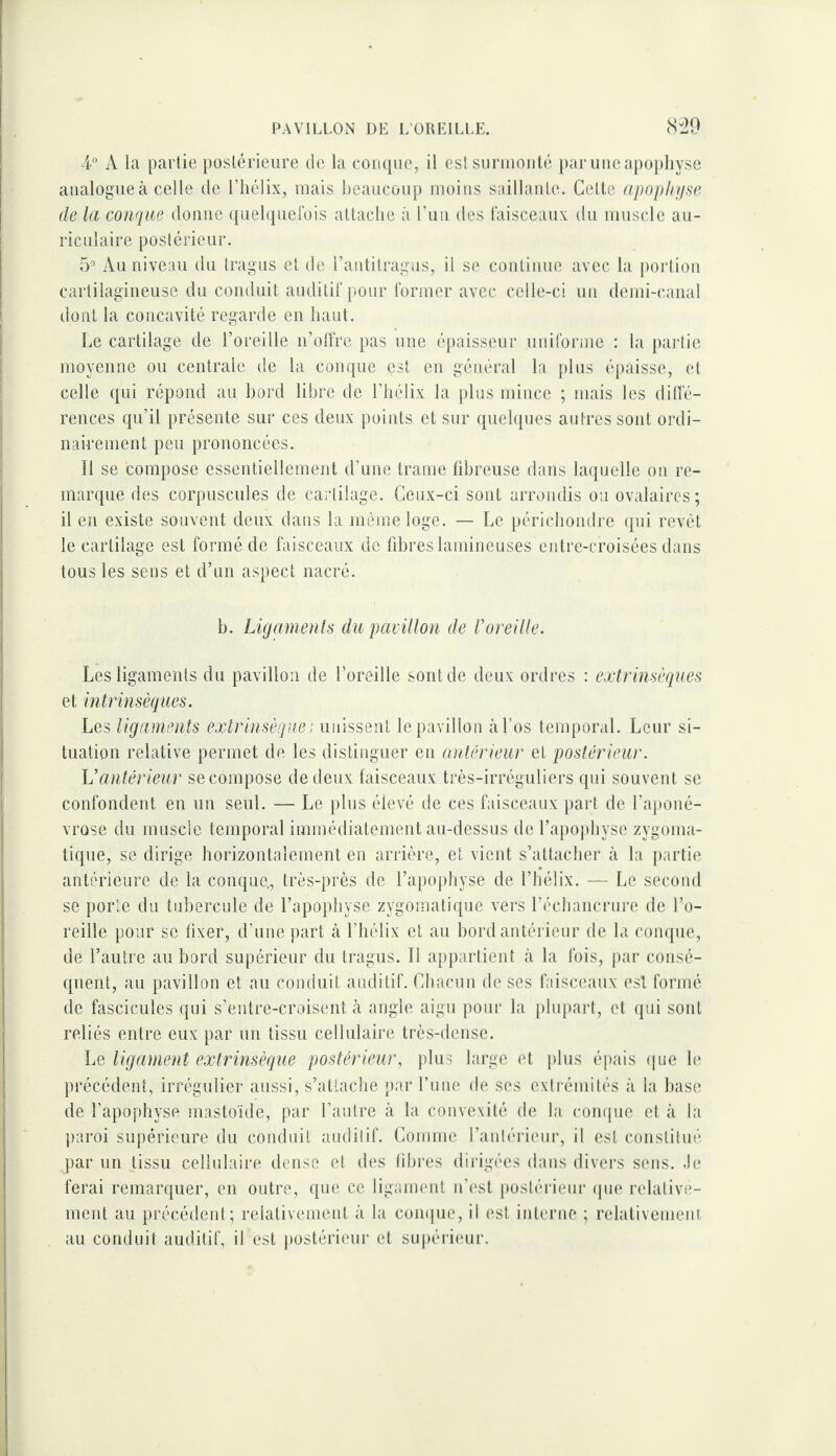 i° A la partie postérieure de ta conque, il est siirinoiité i)aruMeapoptiyse analogue à celle de l’hélix, mais beaucoup moins siiillaule. Celte apophyse de la conque donne ({iielque}“ois altaclie à l’iiii îles faisceaux du muscle au¬ riculaire postérieur. 5’ Au niveau du tragus et de rantitragus, il se conlinue avec la portion cartilagineuse du conduit auditif pour former avec celle-ci un demi-canal dont la concavité regarde en haut. Le cartilage de l’oreille n’olfre pas nue épaisseur uniforme : la partie moyenne ou centrale de la conque est en général la plus épaisse, et celle qui répond au bord libre de l’hélix la plus mince ; mais les dilïé- rences qu’il présente sur ces deux points et sur quelques autres sont ordi¬ nairement peu prononcées. Il se compose essentiellement d’une trame fibreuse dans laquelle on re¬ marque des corpuscules de cartilage. Ceux-ci sont arrondis ou ovalaires; il en existe souvent deux dans la même loge. — Le périchondre qui revêt le cartilage est formé de faisceaux de fibres lamineuses entre-croisées dans tous les sens et d’un aspect nacré. b. Ligaments du pavillon de l'oreille. Les ligaments du pavillon de l’oreille sont de deux ordres : extrinsèques et intrinsèques. Les ligaments extrinsèque : unissent le pavillon à l’os tempor.iL Leur si¬ tuation relative permet de les distinguer en anlérieur et postérieur. Uantérieur secompose de deux faisceaux très-irréguliers qui souvent se confondent en un seul. — Le plus élevé de ces faisceaux part de l’aponé¬ vrose du muscle temporal immédiatement au-dessus de l’apojihyse zygoma¬ tique, se dirige horizontalement en arrière, et vient s’attacher à la [lartie antérieure de la conque., très-près de l’apophyse de l’hélix. — Le second se porte du tubercule de l’apophyse zygomatique vers l’échancriire de l’o¬ reille pour se fixer, d’une part à l’hélix et au bord antéi ieur de la conque, de l’autre au bord supérieur du tragus. Il appartient à la fois, jiar consé¬ quent, au pavillon et au conduit auditif. Cbacun de ses faisceaux est formé de fascicules qui s’entre-croisent à angle aigu pour la plupart, et qui sont reliés entre eux par un tissu cellulaire très-dense. Le ligament extrinsèque postérieur, jdus large et jilus épais ijue le précédent, irrégulier aussi, s’attache par fune de ses extrémités à la hase de l’apophyse mastoïde, par l’autre à la convexité de la coiujue et à la paroi supérieure du conduit auditif. Comme l’antérieui', il est constitué par un tissu cellulaire dense et des libres dirigées dans divers sens, .le ferai remarquer, en outre, que ce ligament n’est iiostéiâeur ipie relativi*- ment au précédent; relativement à la compie, il est interne ; relativcmeni au conduit auditif, il est postérieur et supérieur.