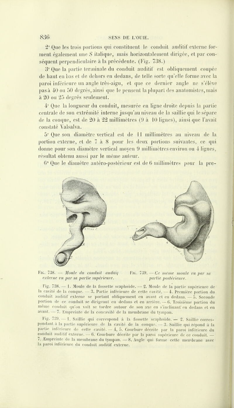 2° Que les trois portions ([ui constituent le coiuluit auditit' externe for¬ ment également une S italique, mais horizontalement dirigée, et par con¬ séquent perpendiculaire à la précédente, (hig. 738.) 3° Que la partie terminale du conduit auditif est obliquement coupée de haut en bas et de dehors en dedans, de telle sorte qu’elle forme avec la paroi inférieure un angle très-aigu, et que ce dernier angle ne s’élève pas à 40 ou 50 degrés, ainsi que le pensent la plupart des anatomistes, mais à 20 ou 25 degrés seulement. 4° Que la longueur du conduit, mesurée en ligne droite dejuiis la [)artie centrale de son extrémité interne jusqu’au niveau de la saillie (|ui le sépare de la conque, est de 20 à 22 millimètres (0 à 10 lignes), ainsi (pie l’avait constaté Yalsalva. 5° Que son diamètre vertical est de 11 millimètres an niveau de la portion externe, et de 7 à 8 pour les deux portions suivantes, ce ipii donne pour son diamètre vertical moyen 0 millimètres environ ou 4 lignes, résultat obtenu aussi par le même auteur. (? Que le diamètre antéro-postérieur est de G millimètres pour la pre- Fiü. 739.—Ce même moule vu pur sa partie postérieure. Fig. 738.— 1. Moule de la fossette scaphoïde. — 2. Moule de la partie supérieure de la cavité de la conque. — 3. Partie inférieure de cette cavité. —4. Première portion dn conduit auditif externe se portant obliquement en avant et en dedans.—5. Seconde portion de ce conduit se dirigeant en dedans et en arrière. — (». Troisième portion du même conduit qu’on voit se tordre autour de son axe en s’inclinant en dedans et en avant. — 7. Empreinte de la concavité de la membrane du tympan. Fig. 739. — 1. Saillie qui correspond à la fossette scaphoïde.— Saillie corres¬ pondant à la partie supérieure de la cavité de la coiuiue. —3. Saillie qui répond à la partie inférieure de cette cavité. — A, 5. Courbure décrite ])ar la ])aroi inb'rieure du Gouduit auditif externe. ^—6. Courbure décrite par la i)aroi su|)éi-icnre de ce conduit. — 7. Emi)rcinte (le la membrane du tympan. — 8. .\ngle ipii forme cette membrane avec la paroi intérieure du conduit auditif externe. Fig. 738. — Moule du conduit audiiii externe vu par sa partie supérieure.