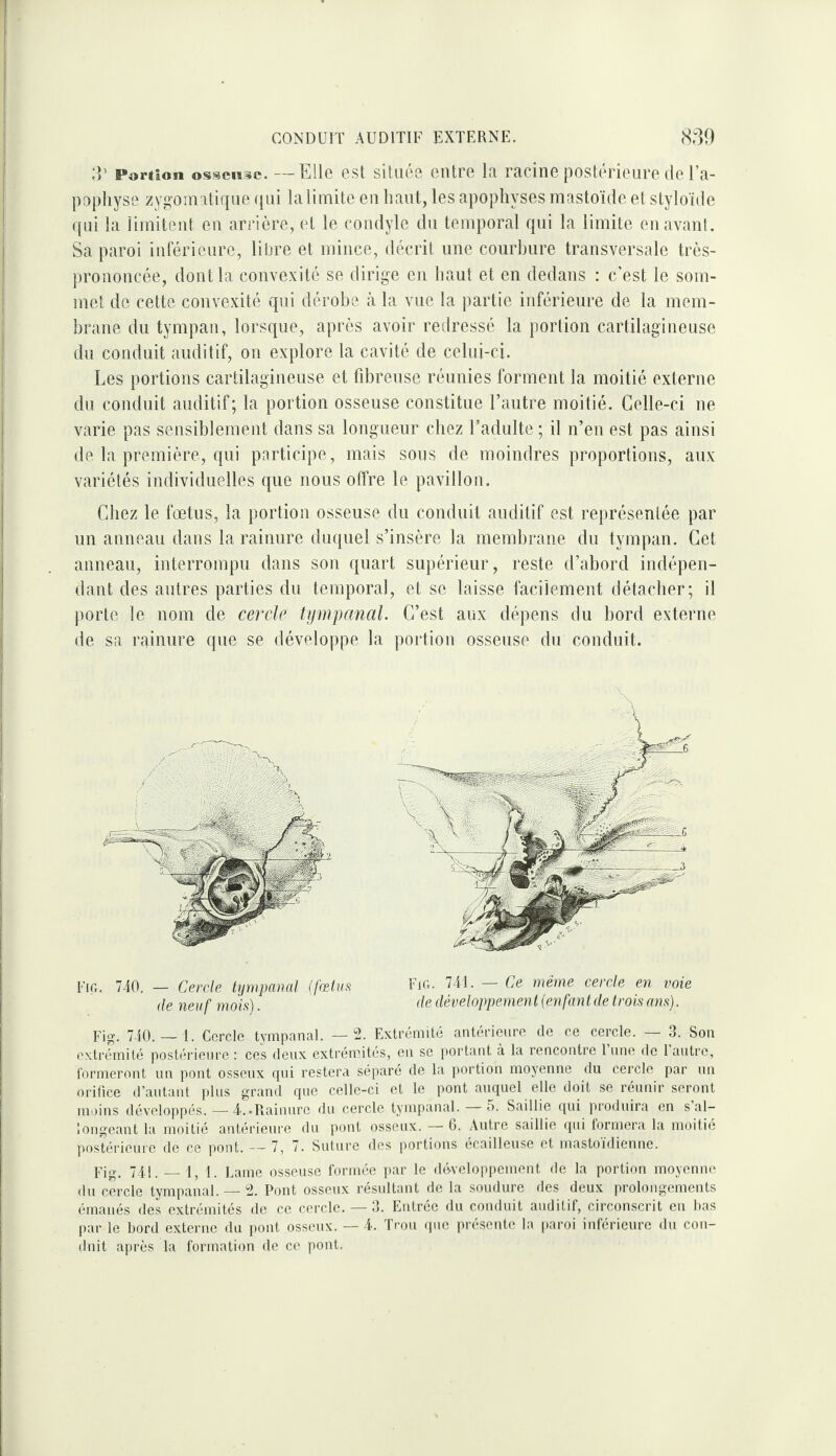 Portion ossense.—Elle cst sitiK'S eiitrc l;i Tcicine postérieure (le l {i- popliyse zygomatique qui la limite eu haut, les apophyses mastoïde et styloïde qui la limitent en arrière, et le rondyle du temporal qui la limite enavanl. Sa paroi inférieure, libre et mince, décrit une courbure transversale très- prononcée, dont la convexité se dirige en haut et en dedans : c’est le som¬ met de cette convexité qui dérobe à la vue la partie inférieure de la mem¬ brane du tympan, lorsque, après avoir redressé la portion cartilagineuse du conduit auditif, on explore la cavité de celui-ci. Les portions cartilagineuse et fd^reuse réunies forment la moitié externe du conduit auditif; la portion osseuse constitue l’autre moitié. Celle-ci ne varie pas sensiblement dans sa longueur chez l’adulte; il n’en est pas ainsi de la première, qui participe, mais sous de moindres proportions, aux variétés individuelles que nous oflre le pavillon. Chez le fœtus, la portion osseuse du conduit auditif est représentée par un anneau dans la rainure duquel s’insère la membrane du tympan. Cet anneau, interrompu dans son quart supérieur, reste d’abord indépen¬ dant des autres parties du temporal, et se laisse facilement détacher; il porte le nom de cercle tympanal. C’est aux dépens du bord externe de sa rainure que se développe la portion osseuse du conduit. Fig. 740. — Cercle tt/mpanal (fœtus Fio. 741. — Ce même cercle en voie de neuf mois). développement (enfant de trois ans). Fi. 740.— I. Cercle tympanal. —2. Extrémité antérieure de ce cercle. — 3. Son extrémité postérieure : ces deux extrémités, en se portant à la rencontre 1 une de 1 autre, formeront un pont osseux qui restera séparé de la jiortion moyenne du cercle par nn orifice d’autant plus grand que celle-ci et le pont auquel elle doit se réunir seront niiiins développés. —4..Rainure du cercle tympanal. — 5. Saillie ((ui produira en s al¬ longeant la moitié antérieure du pont osseux. — 6. Autre saillie (pii formera la moitié postérieure de ce pont. — 7, 7. Suture des portions écailleuse et mastoïdienne. Fig. 741.-1, 1. Lame osseuse formée par le développement de la portion moyenne du cercle tympanal. —2. Pont osseux résultant de la soudure des deux prolongements émanés des extrémités de ce cercle. — 3. Entrée du conduit auditif, circonscrit eu bas par le bord externe du pont osseux. — 4. Trou ipic présente la paroi inférieure du con¬ duit après la formation de ce pont.