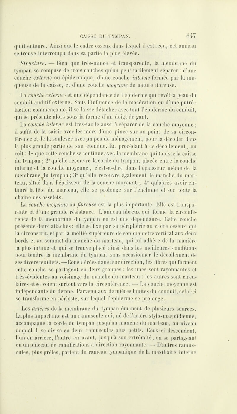 qu’il eiiloure. Ainsi (|ue le cadre osseux dans lequel il est reçu, cel anneau se trouve inlerroiupu dans sa partie la [)lus élevée. Structure. — Bien que trôs-iuiiice et transparente, la ineiubrane du tympan se compose de trois couches qu’oii peut facilement séparer: d’une couche externe ou épidermiciue, d’une couche interne formée par la mu¬ queuse de la caisse, et d’une couche nioijenne de nature tihreuse. La couche externe est une dépendance de l’épiderme qui revêt la peau du conduit auditif externe. Sous l’intluence de la macération ou d’une putré¬ faction commençante, il se laisse détacher avec tout l’épiderme du conduit, qui se présente alors sous la forme d’un doigt de gant. La couche interne est très-facile aussi à séparer de la couche moyenne ; il suffit de la saisir avec les mors d’une pince sur un point de sa circon¬ férence et de la soulever avec un peu de ménagement, pour la décoller dans la plus grande partie de son étendue. En procédant à ce décollement, on voit: 1° que cette couche se continue avec lamemhrane qui tcqdsse la caisse du tympan; qu’elle recouvre la corde du tympan, placée entre la couche interne et la couche moyenne , c’est-à-dire dans l’épaisseur môme de la memhrane^du tympan; 3° qu’elle recouvre également le inaRche du mar¬ teau, situé dans l’épaisseur de la couche moyenne ; qu’après avoir en¬ touré la tête du marteau, elle se prolonge sur l’enclume et sur toute la chaîne des osselets. La couche moyenne ou fibreuse est la plus importante. Elle est transpa¬ rente et d’une grande résistance. L’anneau hhreux qui forme la circonfé¬ rence de la memhrane du tympan en est une dépendance. Cette couche présente deux attaches ; elle se fixe par sa périphérie au cadre osseux (|ui la circonscrit, et par la moitié supérieure de son diamètre vertical aux deux hords et au sommet du manche du marteau, qui lui adhère de la manière la plus intime et qui se trouve placé ainsi dans les meilleures conditions pour tendre la memhrane du tympan sans occasionner le décollement de ses divers feuillets. — Considérées dans leur direction, les libres qui forment cette couche se partagent en deux groupes : les unes sont rayonnantes et très-évidentes au voisinage du manche du marteau : les autres sont circu¬ laires et se voient surtout vers la circonférence. — La couche moyenne est indépendante du derme. Parvenu aux dernières limites dn conduit, celui-ci se transforme en })érioste, sur leijuel l’épiderme se prolonge. Les artères delà memhrane du tympan émanent de plusieurs sources. Lapins importante est nn ramuscule qui, né de l’artère stylo-mastoïdienne, accompagne la corde du tympan jusipi’an manche du marteau, au niveau duquel il se divise en deux ranmscules |)lus petits. Ceux-ci descendent, l’un en arrière, l’autre en avaut, jusipfà son extrémité, eu se partageant en un pinceau de ramifications à direction rayonnante. — D’autres ramus- cules, )»lus grêles, partent du rameau tympaniijue de la maxillaire interne