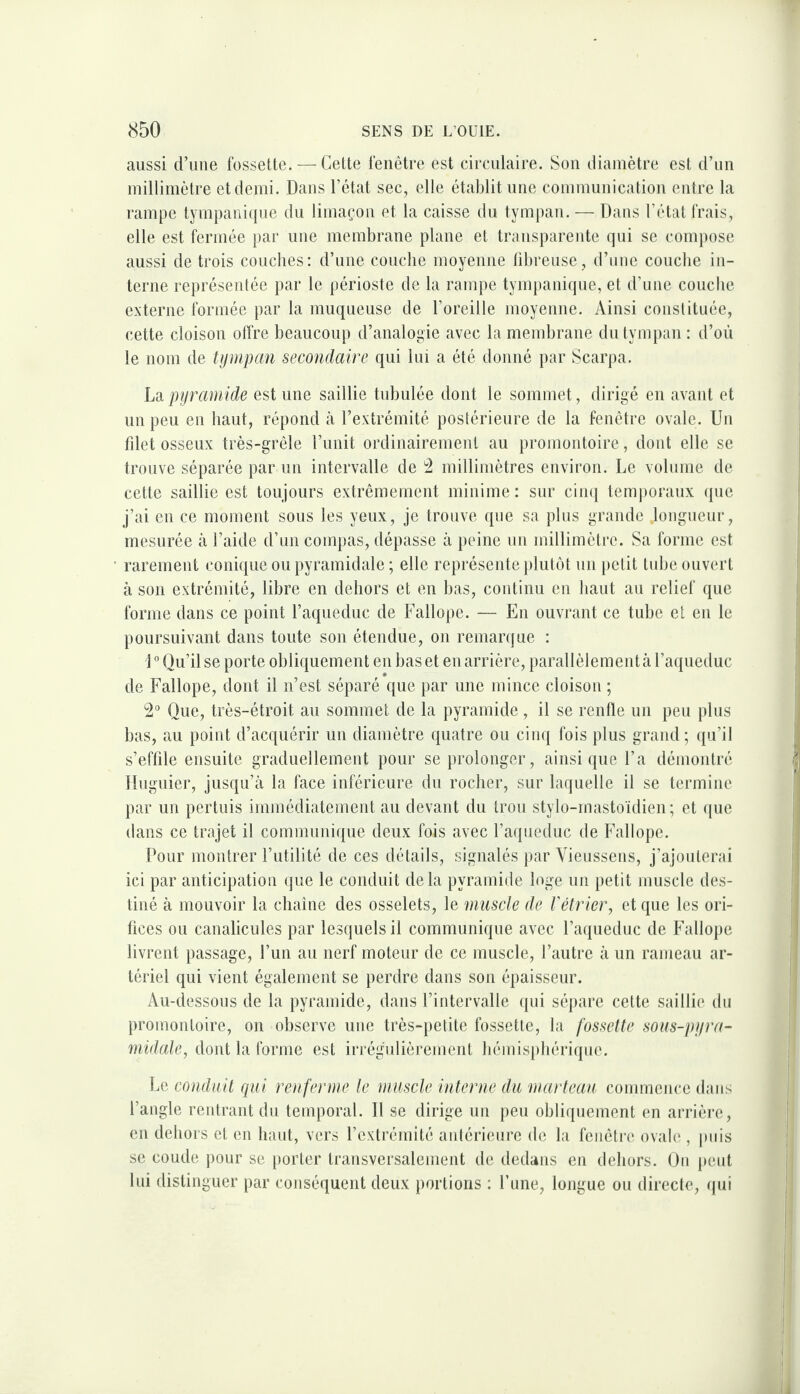 aussi d’une fossette. — Cette fenêtre est circulaire. Sou diamètre est d’im millimètre et demi. Dans l’état sec, elle établit une communication entre la rampe tympani({ue du limaçon et la caisse du tympan. — Dans l’état frais, elle est fermée par une membrane plane et transparente qui se compose aussi de trois couches: d’uiie couche moyenne libreuse, d’iine couche in¬ terne représentée par le périoste de la rampe tympani(jue, et d’une couche externe formée par la muqueuse de l’oreille moyenne. Ainsi constituée, cette cloison offre beaucoup d’analogie avec la membrane du tympan : d’où le nom de tijmpan secondaire qui lui a été donné par Scarpa. Ld.piiraniide est une saillie tubulée dont le sommet, dirigé eu avant et un peu en haut, répond à l’extrémité postérieure de la fenêtre ovale. Un filet osseux très-grêle l’imit ordinairement au promontoire, dont elle se trouve séparée par un intervalle de millimètres environ. Le volume de cette saillie est toujours extrêmement minime: sur cin(| temporaux ({ue j’ai en ce moment sous les yeux, je trouve que sa plus grande longueur, mesurée à l’aide d’un compas, dépasse à peine nu millimètre. Sa forme est rarement conique ou pyramidale ; elle représente jilutôt un jietit tube ouvert à son extrémité, libre en dehors et en bas, continu eu haut au relief que forme dans ce point l’aqueduc de Fallope. — En ouvrant ce tube et en le poursuivant dans toute son étendue, on remarque : l ° Qu’il se porte obliquement en bas et en arrière, parallèlement à l’aqueduc de Fallope, dont il n’est séparé que par une mince cloison ; 2 Que, très-étroit au sommet de la pyramide , il se renfle un peu plus bas, au point d’acquérir un diamètre quatre ou ciiuj fois plus grand; (ju’il s’effile ensuite graduellement pour se prolonger, ainsique l’a démontré Iluguier, jusqu’à la face inférieure du rocher, sur laquelle il se termine par un pertuis immédiatement au devant du trou stylo-mastoïdien; et ({ue dans ce trajet il communique deux fois avec l’aqueduc de Fallope. Pour montrer l’utilité de ces détails, signalés par Vieussens, j’ajouterai ici par anticipation que le conduit delà pyramide loge un petit muscle des¬ tiné à mouvoir la chaîne des osselets, le muscle de Vétrier, et que les ori¬ fices ou canalicules par lesquels il communique avec ra({ueduc de Fallope livrent passage, l’un au nerf moteur de ce muscle, l’autre à un rameau ar¬ tériel qui vient également se perdre dans son épaisseur. Au-dessous de la pyramide, dans l’intervalle qui sépare celte saillie du promontoire, on observe une très-petite fossette, la fossette sous-pifra- înù/dc, dont la forme est irrégulièrement hémisphérique. l.e conduit qui renferme le muscle interne du marteau commence dans l’angle rentrant dn temporal. Il se dirige un peu obliquement en arrière, en dehors et en haut, vers l’extrémité aidérienre de la fenêtre oval(‘, puis se coude pour se porter transversalement de dedans en dehors. On peut lui distinguer par conséquent deux portions : l’une, longue ou directe, (jui