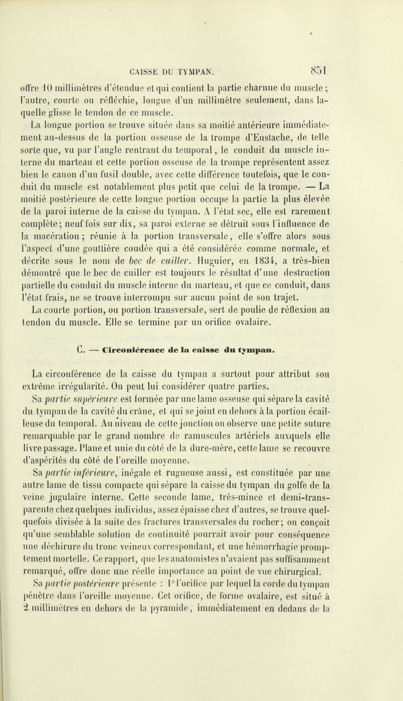 olîre JO millimètres d’étendue et qui contient la partie charnue du muscle ; l’autre, courte ou réfléchie, longue d’un millimètre seulement, dans la¬ quelle glisse le tendon de ce muscle. La longue portion se trouve située dans sa moitié antérieure immédiate¬ ment au-dessus de la portion osseuse de la trompe d’Eustache, de telle sorte que, vu par l’angle rentrant du temporal, le conduit du muscle in¬ terne du marteau et cette portion osseuse de la trompe représentent assez bien le canon d’un fusil double, avec cette différence toutefois, que le con¬ duit du muscle est notablement plus petit que celui de la trompe. — La moitié postérieure de cette longue portion occupe la partie la plus élevée de la paroi interne de la caisse du tympan. A l’état sec, elle est rarement complète; neuf fois sur dix, sa paroi externe se détruit sous l’influence de la macération ; réunie à la portion transversale, elle s’offre alors sous l’aspect d’une gouttière coudée qui a été considérée comme normale, et décrite sous le nom de bec de cuiller. Huguier, en 1834-, a très-bien démontré que le bec de cuiller est toujours le résultat d’une destruction partielle du conduit du muscle interne du marteau, et que ce conduit, dans l’état frais, ne se trouve interrompu sur aucun point de son trajet. La courte portion, ou portion transversale, sert de poulie de réflexion au tendon du muscle. Elle se termine par un orifice ovalaire. G. —“ Circonférence de la caisse du tympan. La circonférence de la caisse du tympan a surtout pour attribut son extrême irrégularité. On peut lui considérer quatre parties. Sa partie supérieure est formée par une lame osseuse qui sépare la cavité du tympan de la cavité du crâne, et qui se joint en dehors à la portion écail¬ leuse du temporal. Au niveau de cette jonction on observe une petite suture remarquable par le grand nombre do ramuscules artériels auxquels elle livre passage. Plane et unie du côté de la dure-mère, cette lame se recouvre d’aspérités du côté de l’oreille moyenne. Sa partie inférieure, inégale et rugueuse aussi, est constituée par une autre lame dé tissu compacte qui sépare la caisse du tympan du golfe de la veine jugulaire interne. Cette seconde lame, très-mince et demi-trans¬ parente chez quelques individus, assez épaisse chez d’autres, se trouve quel¬ quefois divisée à la suite des fractures transversales du rocher; on conçoit qu’une semblable solution de continuité pourrait avoir pour conséquence une déchirure du tronc veineux correspondant, et une hémorrhagie ])romp- tement mortelle. Ce rapport, que les anatomistes n’avaient pas suffisamment remarqué, offre donc une réelle importance au point de vue chirurgical. Su partie postérieure présente : 1° l’orifice i)ar lequel la corde du tympan pénètre dans l’oreille moyenne. Cet orifice, de forme ovalaire, est situé à 2 millimètres en dehors de la |)yramide, immédiatement en dedans de la