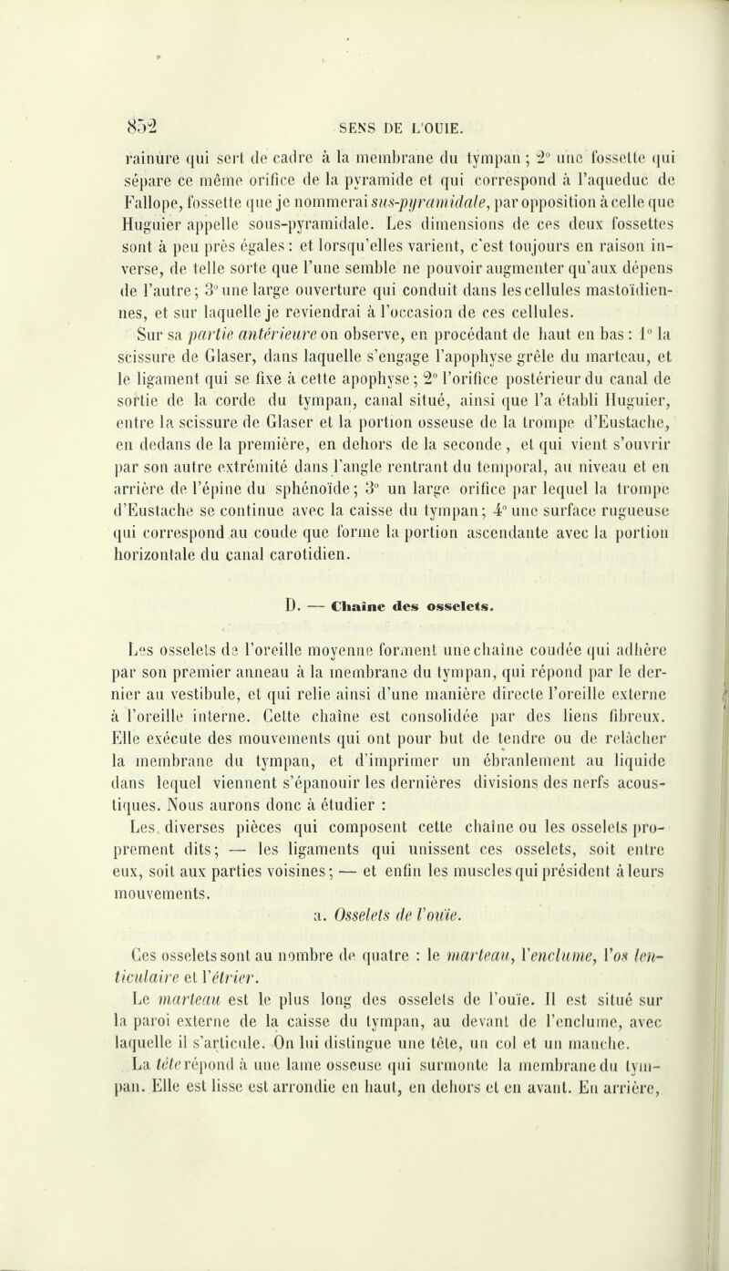 rainure qui sei‘t de cadre à la membrane du tympan ; 2° une Ibsselle (pii sépare ce même orifice de la pyramide et qui correspond à faqueduc de Fallope, fossette que je nommerai sus-pyramidale, par opposition à celle (jue Hugiiier appelle sous-pyramidale. Les dimensions de ces deux fossettes sont à peu près égales : et lorsqu’elles varient, c'est toujours en raison in¬ verse, de telle sorte que l’une semble ne pouvoir augmenter qu’aux dépens de l’autre; 3° une large ouverture qui conduit dans les cellules mastoïdien¬ nes, et sur laquelle je reviendrai à l’occasion de ces cellules. Sur sa partie antérieure on observe, en procédant de liant en bas : 1° la scissure de Glaser, dans laquelle s’engage l’apophyse grêle du marteau, et le ligament qui se fixe à cette apophyse ; 2° l’orifice postérieur du canal de sortie de la corde du tympan, canal situé, ainsi que l’a établi Iluguier, entre la scissure de Glaser et la portion osseuse de la trompe d’Eustaclie, en dedans de la première, en dehors de la seconde, et qui vient s’ouvrir par son autre extrémité dans l’angle rentrant du temporal, au niveau et en arrière de l’épine du sphénoïde; 3° un large orifice par lequel la trompe d’Eustache se continue avec la caisse du tympan; 4'’une surface rugueuse qui correspond au coude que forme la portion ascendante avec la portion horizontale du canal carotidien. D. — Chaîne des osselets. Les osselets de l’oreille moyenne forment une chaîne coudée qui adhère par son premier anneau à la membrane du tympan, qui répond par le der¬ nier au vestibule, et qui relie ainsi d’une manière directe l’oreille externe à l’oreille interne. Cette chaîne est consolidée par des liens fibreux. Elle exécute des mouvements qui ont pour but de tendre ou de relâcher la membrane du tympan, et d’imprimer un ébranlement au liquide dans lequel viennent s’épanouir les dernières divisions des nerfs acous¬ tiques. Nous aurons donc à étudier : Les diverses pièces qui composent cette chaîne ou les osselets jiro- prement dits; — les ligaments qui unissent ces osselets, soit entre eux, soit aux parties voisines; — et enfin les muscles qui président à leurs mouvements. a. Osselets de Vouïe. Ges osselets sont au nombre de quatre : te marteau, \'enclume. Vos len¬ ticulaire et Vétrier. Le marteau est le plus long des osselets de l’ouïe. 11 est situé sur la paroi externe de la caisse du tympan, au devant de l’enclume, avec laquelle il s’articule. On lui distingue une tête, un col et un manche. La répond à une lame osseuse ipii surmonte la membrane du tym¬ pan. Elle est lisse est arrondie en haut, en dehors et en avant. Eu arrière.