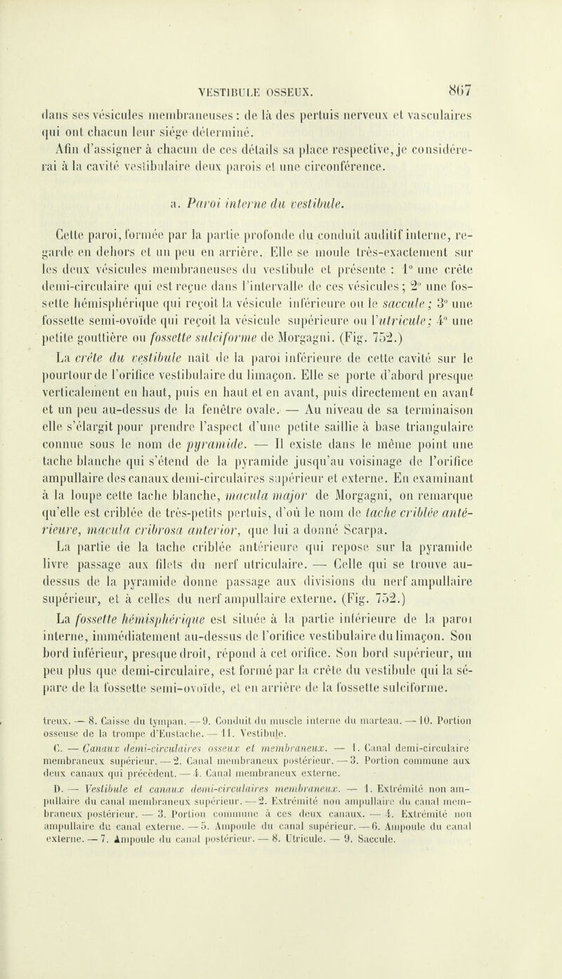 (laiis ses vésicules ineiiibraiieuses : de là des perlais nerveux et vasculaires (|ui ont chacun leur siège déleriuiué. Afin d’assigner à chacun de ces détails sa place respective, je considére¬ rai à la cavité vestihulaire deux parois et nue circonférence. a. Paroi interne du vestibule. Cette paroi, formée par la partie profonde du conduit auditif interne, re¬ garde en dehors et un peu en arrière. Elle se moule très-exactement sur les deux vésicules memhraueuses du vestibule et présente : 1° une crête demi-circulaire qui est reçue dans rintervalle de ces vésicules; 52' une fos¬ sette hémisphérique qui reçoit la vésicule inférieure ou le saccule ; 3“ une fossette semi-ovoïde qui reçoit la vésicule supérieure ou ViitîHcule; 4'’ une petite gouttière ou fossette siilciforme de Morgagui. (Fig. 75^.) La crête du vestibule naît de la paroi inférieure de cette cavité sur le pourtour de l’orifice vestihulaire du limaçon. Elle se porte d’abord pres({ue verticalement en haut, puis en haut et eu avant, puis directement eu avant et un peu au-dessus de la fenêtre ovale. — Au niveau de sa terminaison elle s’élargit pour prendre l’aspect d’une petite saillie à base triangulaire connue sous le nom de pyramide. — Il existe dans le même point une tache blanche qui s’étend de la pyramide jusqu’au voisinage de l’orifice ampullaire des canaux demi-circulaires supérieur et externe. En examinant à la loupe cette tache blanche, macula major de Morgagni, on remarque qu’elle est criblée de très-petits pertuis, d’où le nom de tache criblée anté¬ rieure, macula cribrosa anterior, que lui a donné Scarpa. La partie de la tache criblée antérieure qui repose sur la pyramide livre passage aux filets du nerf utriculaire. — Celle qui se trouve au- dessus de la pyramide donne passage aux divisions du nerf ampullaire supérieur, et à celles du nerf ampullaire externe. (Fig. 752.) La fossette hémisphérique est située à la partie inférieure de la paroi interne, immédiatement au-dessus de l’orifice vestihulaire du limaçon. Son bord inférieur, presque droit, répond à cet orifice. Sou bord supérieur, uii peu plus que demi-circulaire, est formé par la crête du vestibule qui la sé- ])are de la fossette semi-ovoïde, et eu arrière de la fossette sulciforme. treux. — 8. Caisse du tympan. —9. Conduit du muscle interne du marteau. — lU. Portion osseuse de la trompe d’Eustache.— il. Vestibule. C. —Canaux demi-circulaires osseux et membraneux. — 1. Canal demi-circulaire membraneux supérieur. — 2. Canal membraneux postérieur. — 3. Poi'tion commune aux deux canaux qui précèdent.— i. Canal membraneux externe. D. — Vestibule et canaux demi-circulaires membraneux. — I. Extrémité non am¬ pullaire du canal membraneux sui)érieur. — 2. Extrémité non ampullaiie du canal mem¬ braneux postérieur. — 3. Portion comimme à ces deux canaux. — Extrémité non ampullaire du canal externe.—5. Ampmde du canal supérieur.—6. Am[)oule du canal externe. — 7. Ampoule du canal postérieur. — 8. Ulricule. — 9. Saccule.