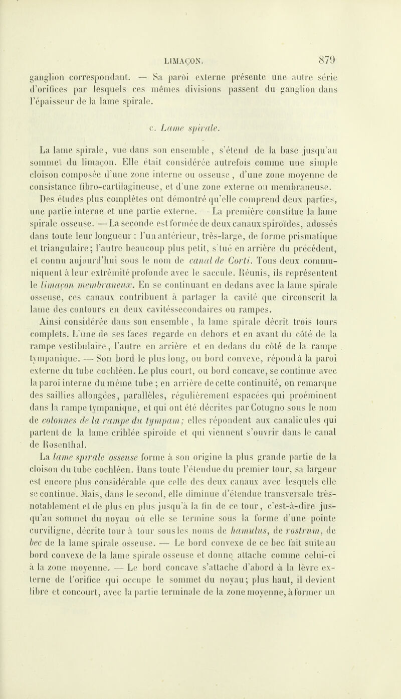 m ganglion correspondanL — Sa paroi exlerne présente une antre série d’orifices par lesquels ces mêmes divisions j)assent du ganglion dans l’épaisseur de la lame spirale. c. Ldtiie spirale. La lame spirale, vue dans sou ensemble, s’étend de la base jus(|u’au sommel du limaçon. Elle était considérée autrefois comme une simple cloison composée d’une zone interne ou osseuse, d’une zone moyenne de consistance libro-carlilagineuse, et d’une zone externe ou membraneuse. Des études plus complètes ont démontré qu’elle comprend deux parties, une partie interne et une partie externe. — La première constitue la lame spirale osseuse. —La seconde est formée de deux canaux spiroïdes, adossés dans toute leur longueur: l’un antérieur, très-large, de forme prismatique et triangulaire; l’autre beaucoup plus petit, s'tué en arrière du précédent, et connu aujourd’hui sous le nom de canal de Corti. Tous deux commu¬ niquent tàleur extrémité profonde avec le saccule. Déiinis, ils représentent le limaçon membraneux. En se continuant en dedans avec la lame spirale osseuse, ces canaux contribuent à partager la cavité que circonscrit la lame des contours en deux cavitéssecondaires ou rampes. Ainsi considérée dans son ensemble, la lame spirale décrit trois tours complets. L’une de ses faces regarde en dehors et en avant du coté de la rampe vestihulaire, l’autre en arrière et en dedans du côté de la rampe tympanique. — Son hord le plus long, ou bord convexe, répond à la paroi externe du tube cochléen. Le plus court, ou bord concave, se continue avec la paroi interne du même tube ; en arrière de cette continuité, on remaiapie des saillies allongées, parallèles, régulièrement espacées qui proéminent dans la rampe tympanique, et qui ont été décrites par Cotugno sous le nom de colonnes de la rampe du tynipani; elles répondent aux canalicules (|ui partent de la lame criblée spiroïde et qui viennent s’ouvrir dans le canal de Iiosenthal. La lame spirale osseuse forme à son origine la plus grande partie de la cloison du tube cochléen. Dans toute Tétendue du premier tour, sa largeur est encore plus considérable que celle des deux canaux avec lesquels elle se continue. Mais, dans le second, elle diminue d’étendue transversale très- notahlement et de plus en plus jusqu’à la fin de ce tour, c’est-à-dire jus¬ qu’au sommet du noyau où elle se termine sous la forme d’une pointe curviligne, décrite tour à tour sous les noms de liamulus, de rostrum, de bec de la lame spirale osseuse. — Le bord convexe de ce bec fait suite au bord convexe de la lame spirale osseuse et donne altacbe comme celui-ci à la zone moyenne. — Le bord concave s’attache d’abord à la lèvre ex¬ terne de l’orifice qui occupe le sommet du noyau; plus haut, il devient libre et concourt, avec la [)artie terminale de la zone moyenne, à former un