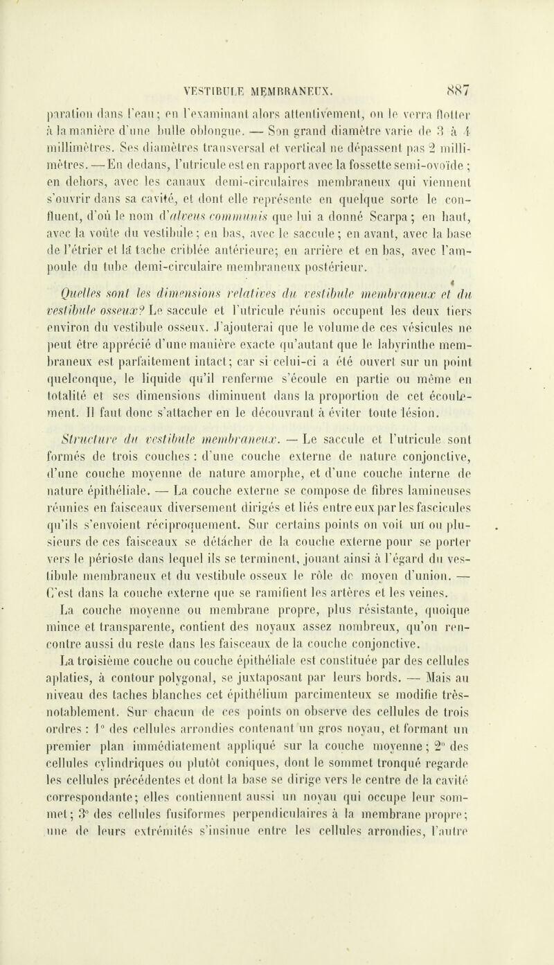 VESTIBÜI.E MEMBRANEUX. (SS 7 piralioii dans IVnn; on l’oxaminani alors atlonlivomoiil, on lo verra Hotior à la manière d’une bnlle oblongiie. — Son grand diamètre varie de ^ à i millimètres. Ses diamètres transversal et vertical ne dépassent pas 2 milli¬ mètres. — En dedans, rntidcule est en rapport avec la fossette semi-ovoïde ; en dehors, avec les canaux demi-circulaires membraneux qui viennent s’ouvrir dans sa cavité., et dont elle représente en quelque sorte le con¬ fluent, d’où le nom d'alvem coniwiuiis que lui a donné Scarpa ; en haut, avec la voûte du vestibule ; en bas, avec le saccule ; en avant, avec la base de rétrier et là tache criblée antérieure; en arrière et en bas, avec l’am¬ poule du tube demi-circulaire membraneux postérieur. 4 Quelles sont les dimensions relatives du vestibule membraneux et du vestibule osseux? ^?ieç,w\e et l’iitricule réunis occupent les deux tiers environ du vestibule osseux. .T’ajouterai que le volume de ces vésicules ne peut être apprécié d’une manière exacte qu’autant que le labyrinthe mem¬ braneux est parfaitement intact; car si celui-ci a été ouvert sur un point quelconque, le liquide qu’il renferme s’écoule en partie ou même en totalité et ses dimensions diminuent dans la proportion de cet écoule- ?nent. Il faut donc s’attacher en le découvrant à éviter toute lésion. Structure du vestibule membraneux. — Le saccule et rutricule sont formés de trois couches : d’une couche externe de nature conjonctive, d’une couche moyenne de nature amorphe, et d’une couche interne de nature épithéliale. — La couche externe se compose de fibres lamineuses réunies en faisceaux diversement dirigés et liés entre eux par les fascicules qu’ils s’envoient réciproquement. Sur certains points on voit un ou j)Iu- sieiirs de ces faisceaux se détacher de la couche externe pour se porter vers le ])érioste dans lequel ils se terminent, jouant ainsi à l’égard du ves- til)ule membraneux et du vestihule osseux le rôle de moyen d’union. — C’est dans la couche externe que se ramifient les artères et les veines. La couche moyenne ou membrane propre, plus résistante, quoique mince et transparente, contient des noyaux assez nombreux, qu’on ren¬ contre aussi du reste dans les faisceaux de la couche conjonctive. La troisième couche ou couche épithéliale est constituée par des cellules aplaties, à contour polygonal, se juxtaposant par leurs l)ords. — Mais au niveau des taches blanches cet épithélium parcimenteux se modifie très- notablement. Sur chacun de ces points on observe des cellules de trois ordres : L des cellules arrondies contenant un gros noymi, et formant un premier plan immédiatement appliqué sur la couche moyenne ; 2*^ des cellules cylindriques ou plutôt coniques, dont le sommet tronqué regarde les cellules précédentes et dont la hase se dirige vers le centre de la cavité correspondante; elles contiennent aussi un noyau qui occupe leur som¬ met; 3 des cellules fusiformes perpendiculaires à la membrane propre; une de leurs extrémités s’insinue entre les cellules arrondies, l’autre