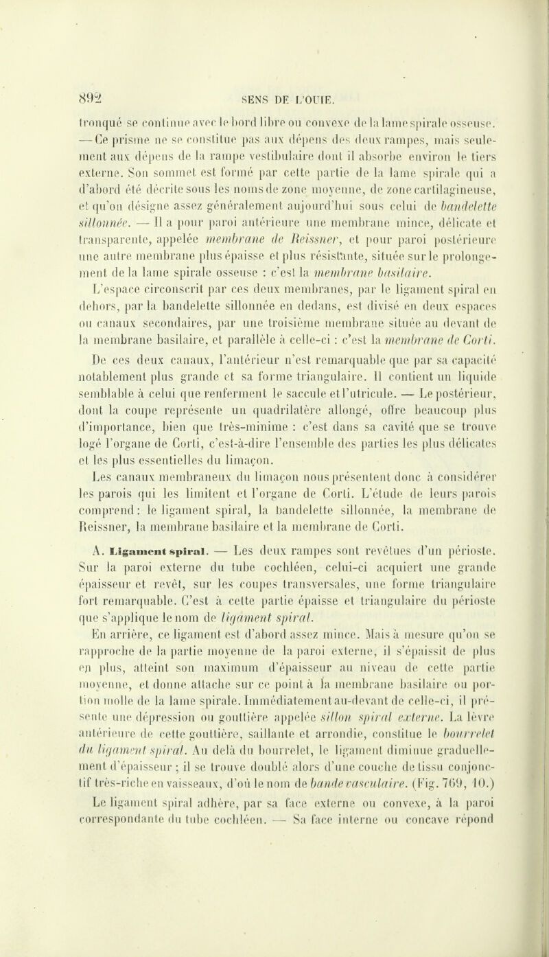 tronqué se ronlinue aver le bord libre ou convexe de la laniespirale osseuse. — Ce j)risine ne se conslilue ])as aux dé|)ens des deux rampes, mais seule¬ ment aux dépens de la rampe vestibulaire dont il absorbe environ le liei’S externe. Son sommet est formé par cette partie de la lame s))irale (pii a d’abord été décrite sous les noms de zone moyenne, de zone cartilagineuse, et qu’on désigne assez généralement aujourd’hui sous celui de bandelette sillonnée. — Il a pour paroi antérieure une membrane mince, délicate et transparente, appelée membrane de Reissner, et pour paroi postérieure une autre membrane })lus épaisse et plus résistante, située sur le prolonge¬ ment de la lame spirale osseuse ; c’est la membrane basilaire. L’espace circonscrit par ces deux membranes, par le ligament spiral en dehors, jiar la bandelette sillonnée en dedans, est divisé en deux espaces ou canaux secondaires, par une troisième membrane située au devant de la membrane basilaire, et parallèle à celle-ci : c’est la membrane de Corti. De ces deux canaux, l’antérieur n’est remarquable que par sa capacité notablement plus grande et sa forme triangulaire. 11 contient un liquide semblable à celui que renferment le saccule etl’utricule. — Le postériem*, dont la coupe représente un quadrilatère allongé, offre beaucoup |)lus d’importance, bien que très-minime : c’est dans sa cavité que se trouve logé l’organe de Corti, c’est-à-dire rensemble des parties les plus délicates et les plus essentielles du limaçon. Les canaux membraneux du limaçon nous présentent donc à considénu’ les parois qui les limitent et l’organe de Corti. L’étude de leurs parois comprend : le ligament spiral, la bandelette sillonnée, la membrane de Deissner, la membrane basilaire et la membrane de Corti. A. Ligament spiral. — Les dcux rampes sont revêtues d’un périoste. Sur la paroi externe du tube coclüéen, celui-ci acquiert une grande épaisseur et revêt, sur les coupes transversales, une forme triangulaire fort remarquable. C’est à cette partie épaisse et triangulaire du jiérioste que s’applique le nom de ligament spiral. En arrière, ce ligament est d’abord assez mince. Mais à mesure qu’on se rapproche de la partie moyenne de la paroi externe, il s’éjiaissit de jilus eji plus, atteint son maximum d’épaisseur au niveau de celte partie moyenne, et donne attache sur ce point à la membrane basilaire ou por¬ tion molle de la lame spirale. Immédiatementau-devant de celle-ci, il ju-é- sente une dépression ou goidtière appelée sillon spiral externe. La lèvre antérienre de cette gouttière, saillante et arrondie, conslilue le boiu'relet du ligament spiral. Au delà du bourrelet, le ligament diminue graduelle¬ ment d’épaisseur ; il se trouve doublé alors d’une couche de tissu conjonc¬ tif très-riche en vaisseaux, d’où le nom do, bande vasculaire. ( Eig.701), 10.) Le ligament spiral adhère, jiar sa face externe ou convexe, à la j)aroi correspondante du tube cochléen. — Sa face interne ou concave l’éjiond