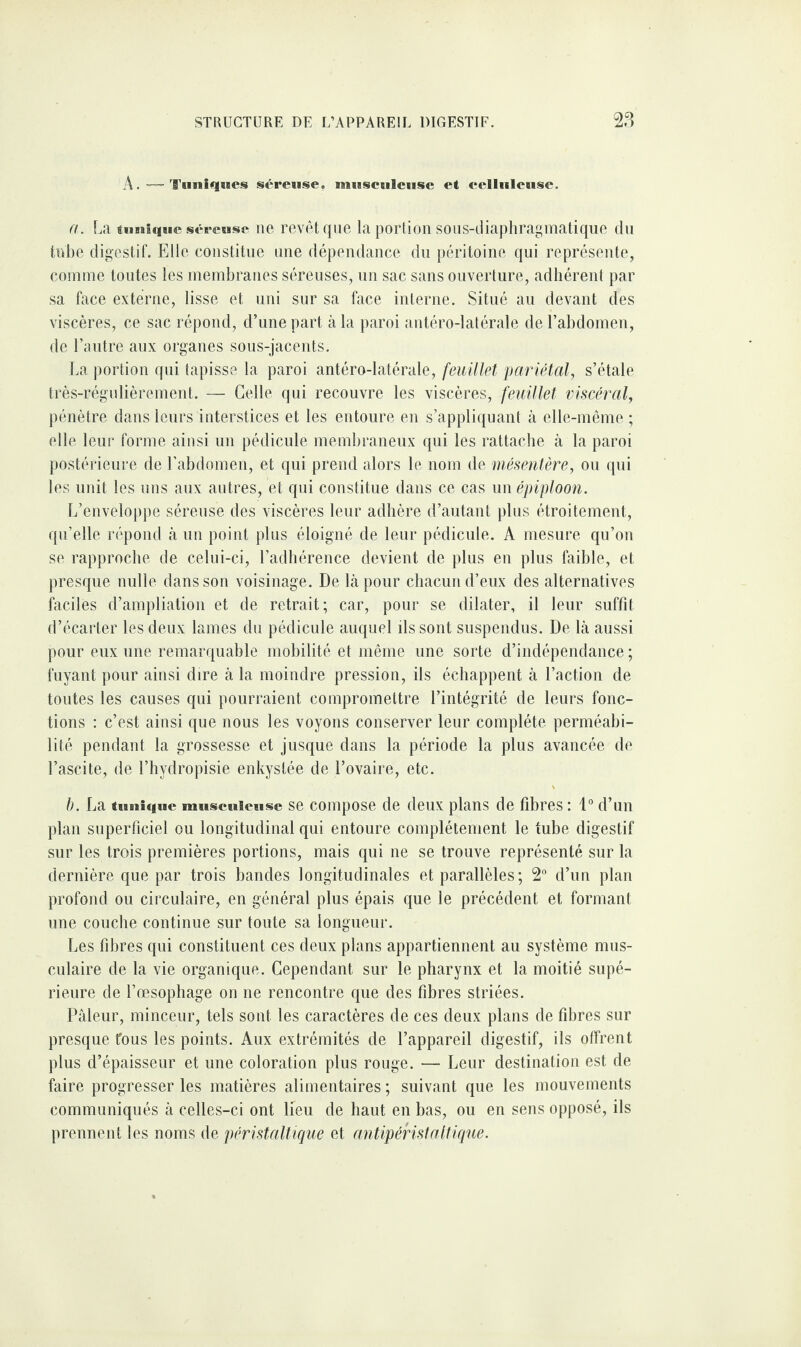 A. — Tuniques séreuse, miasculciisc et celluleuse. a. La (miicnic séreuse ne revêt que la portion sous-diaphragmatique du tube digestif. Elle constitue une dépendance du péritoine qui représente, comme toutes les membranes séreuses, un sac sans ouverture, adhérent par sa face externe, lisse et uni sur sa face interne. Situé au devant des viscères, ce sac répond, d’une part à la paroi antéro-latérale de l’abdomen, de l’autre aux organes sous-jacents. La portion qui tapisse la paroi antéro-latérale, feuillet pariétal, s’étale très-régulièrement. — Celle qui recouvre les viscères, feuillet viscéral, pénètre dans leurs interstices et les entoure en s’appliquant à elle-même; elle leur forme ainsi un pédicule membraneux qui les rattache à la paroi postérieure de l’abdomen, et qui prend alors le nom de mésentère, ou qui les unit les uns aux autres, et qui constitue dans ce cas un épiploon. L’enveloppe séreuse des viscères leur adhère d’autant plus étroitement, qu’elle répond à un point plus éloigné de leur pédicule. A mesure qu’on se rapproche de celui-ci, l’adhérence devient de plus en plus faible, et presque nulle dans son voisinage. De là pour chacun d’eux des alternatives faciles d’ampliation et de retrait; car, pour se dilater, il leur suffit d’écarter les deux lames du pédicule auquel ils sont suspendus. De là aussi pour eux une remarquable mobilité et même une sorte d’indépendance ; fuyant pour ainsi dire à la moindre pression, ils échappent à l’action de toutes les causes qui pourraient compromettre l’intégrité de leurs fonc¬ tions : c’est ainsi que nous les voyons conserver leur complète perméabi¬ lité pendant la grossesse et jusque dans la période la plus avancée de l’ascite, de l’hydropisie enkystée de l’ovaire, etc. h. La tunique musculeuse se compose de deux plans de fibres : 1° d’un plan superficiel ou longitudinal qui entoure complètement le tube digestif sur les trois premières portions, mais qui ne se trouve représenté sur la dernière que par trois bandes longitudinales et parallèles ; 2° d’un plan profond ou circulaire, en général plus épais que le précédent et formant une couche continue sur toute sa longueur. Les fibres qui constituent ces deux plans appartiennent au système mus¬ culaire de la vie organique. Cependant, sur le pharynx et la moitié supé¬ rieure de l’œsophage on ne rencontre que des fibres striées. Pâleur, minceur, tels sont les caractères de ces deux plans de fibres sur presque fous les points. Aux extrémités de l’appareil digestif, ils offrent plus d’épaisseur et une coloration plus rouge. — Leur destination est de faire progresser les matières alimentaires ; suivant que les mouvements communiqués à celles-ci ont lieu de haut en bas, ou en sens opposé, ils prennent les noms de péristaltique et antipéristaltique.