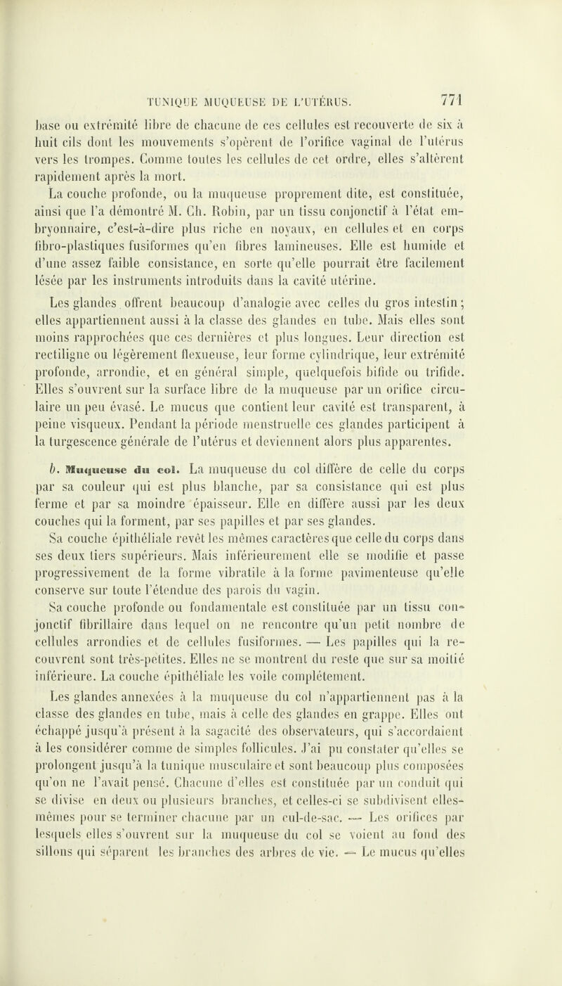 base ou extrémité libre de chacune de ces cellules est recouverte de six à huit cils dont les mouvements s’opèrent de l’orifice vaginal de l’utérus vers les trompes. Comme toutes les cellules de cet ordre, elles s’altèrent rapidement après la mort. La couche profonde, ou la muqueuse proprement dite, est constituée, ainsi que l’a démontré M. Ch. Robin, par un tissu conjonctif à l’état em¬ bryonnaire, c’est-à-dire plus riche en noyaux, en cellules et en corps fibro-plastiques fusiformes qu’en fibres lamineuses. Elle est humide et d’une assez faible consistance, en sorte qu’elle pourrait être facilement lésée par les instruments introduits dans la cavité utérine. Les glandes. offrent beaucoup d’analogie avec celles du gros intestin ; elles appartiennent aussi à la classe des glandes en tube. Mais elles sont moins rapprochées que ces dernières et plus longues. Leur direction est rectiligne ou légèrement fïexueuse, leur forme cylindrique, leur extrémité profonde, arrondie, et en général simple, quelquefois bifide ou trifide. Elles s’ouvrent sur la surface libre de la muqueuse par un orifice circu¬ laire un peu évasé. Le mucus que contient leur cavité est transparent, à peine visqueux. Pendant la période menstruelle ces glandes participent à la turgescence générale de l’utérus et deviennent alors plus apparentes. b. Muqueuse «lia col. La muqueuse du col diffère de celle du corps par sa couleur qui est plus blanche, par sa consistance qui est plus ferme et par sa moindre épaisseur. Elle en diffère aussi par les deux couches qui la forment, par ses papilles et par ses glandes. Sa couche épithéliale revêt les mêmes caractères que celle du corps dans ses deux tiers supérieurs. Mais inférieurement elle se modifie et passe progressivement de la forme vibratile à la forme pavimenteuse qu’elle conserve sur toute l’étendue des parois du vagin. Sa couche profonde ou fondamentale est constituée par un tissu con¬ jonctif fibrillaire dans lequel on ne rencontre qu’un petit nombre de cellules arrondies et de cellules fusiformes. — Les papilles qui la re¬ couvrent sont très-petites. Elles ne se montrent du reste que sur sa moitié inférieure. La couche épithéliale les voile complètement. Les glandes annexées à la muqueuse du col n’appartiennent pas à la classe des glandes en tube, mais à celle des glandes en grappe. Elles ont échappé jusqu’à présent à la sagacité des observateurs, qui s’accordaient à les considérer comme de simples follicules. J’ai pu constater qu’elles se prolongent jusqu’à la tunique musculaire et sont beaucoup plus composées qu’on ne l’avait pensé. Chacune d’elles est constituée par un conduit qui se divise en deux ou plusieurs branches, et celles-ci se subdivisent elles- mêmes pour se terminer chacune par un cul-de-sac. — Les orifices par lesquels elles s’ouvrent sur la muqueuse du col se voient au fond des sillons qui séparent les branches des arbres de vie. — Le mucus qu’elles