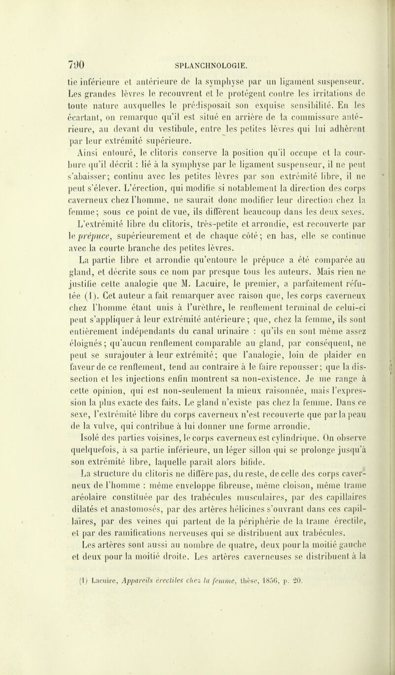 tie inférieure et antérieure de la symphyse par un ligament suspenseur. Les grandes lèvres le recouvrent et le protègent contre les irritations de toute nature auxquelles le prédisposait son exquise sensibilité. En les écartant, on remarque qu’il est situé en arrière de la commissure anté¬ rieure, au devant du vestibule, entre les petites lèvres qui lui adhèrent par leur extrémité supérieure. Ainsi entouré, le clitoris conserve la position qu’il occupe et la cour¬ bure qu’il décrit : lié à la symphyse par le ligament suspenseur, il ne peut s’abaisser; continu avec les petites lèvres par son extrémité libre, il ne peut s’élever. L’érection, qui modifie si notablement la direction des corps caverneux chez l’homme, ne saurait donc modifier leur direction chez la femme; sous ce point de vue, ils diffèrent beaucoup dans les deux sexes. L’extrémité libre du clitoris, très-petite et arrondie, est recouverte par 1 eprépuce, supérieurement et de chaque côté; en bas, elle se continue avec la courte branche des petites lèvres. La partie libre et arrondie qu’entoure le prépuce a été comparée au gland, et décrite sous ce nom par presque tous les auteurs. Mais rien ne justifie cette analogie que M. Lacuire, le premier, a parfaitement réfu¬ tée (1). Cet auteur a fait remarquer avec raison que, les corps caverneux chez l’homme étant unis à l’urèthre, le renflement terminal de celui-ci peut s’appliquer à leur extrémité antérieure ; que, chez la femme, ils sont entièrement indépendants du canal urinaire : qu’ils en sont même assez éloignés ; qu’aucun renflement comparable au gland, par conséquent, ne peut se surajouter à leur extrémité; que l’analogie, loin de plaider en faveur de ce renflement, tend au contraire à le faire repousser; que la dis¬ section et les injections enfin montrent sa non-existence. Je me range à cette opinion, qui est non-seulement la mieux raisonnée, mais l’expres¬ sion la plus exacte des faits. Le gland n’existe pas chez la femme. Dans ce sexe, l’extrémité libre du corps caverneux n’est recouverte que par la peau de la vulve, qui contribue à lui donner une forme arrondie. Isolé des parties voisines, le corps caverneux est cylindrique. On observe quelquefois, à sa partie inférieure, un léger sillon qui se prolonge jusqu’à son extrémité libre, laquelle paraît alors bifide. La structure du clitoris ne diffère pas, du reste, de celle des corps caver¬ neux de l’homme : même enveloppe fibreuse, même cloison, même trame aréolaire constituée par des trabécules musculaires, par des capillaires dilatés et anastomosés, par des artères hélicines s’ouvrant dans ces capil¬ laires, par des veines qui partent de la périphérie de la trame érectile, et par des ramifications nerveuses qui se distribuent aux trabécules. Les artères sont aussi au nombre de quatre, deux pour la moitié gauche et deux pour la moitié droite. Les artères caverneuses se distribuent à la (1) Lacuire, Appareils èrecliles chez, la femme, thèse, 1856, p. 20.