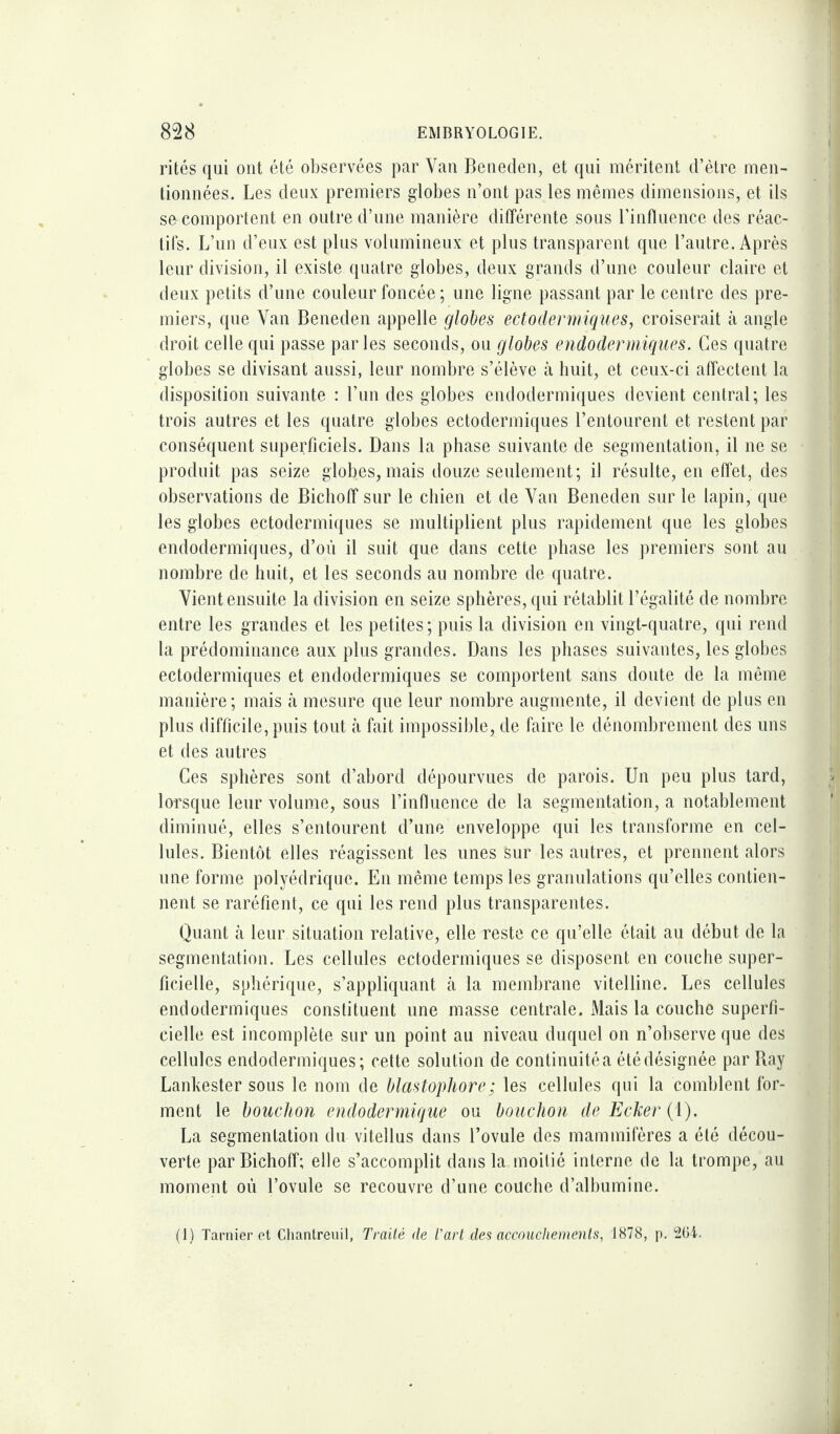 rités qui ont été observées par Yan Beneden, et qui méritent d’ètre men¬ tionnées. Les deux premiers globes n’ont pas les mêmes dimensions, et ils se comportent en outre d’une manière différente sous l’influence des réac¬ tifs. L’un d’eux est plus volumineux et plus transparent que l’autre. Après leur division, il existe quatre globes, deux grands d’une couleur claire et deux petits d’une couleur foncée ; une ligne passant par le centre des pre¬ miers, que Van Beneden appelle globes ectoderiniques, croiserait à angle droit celle qui passe parles seconds, ou globes endodermiques. Ces quatre globes se divisant aussi, leur nombre s’élève à huit, et ceux-ci affectent la disposition suivante : l’un des globes endodermiques devient central; les trois autres et les quatre globes ectodermiques l’entourent et restent par conséquent superficiels. Dans la phase suivante de segmentation, il ne se produit pas seize globes,mais douze seulement; il résulte, en effet, des observations de Bichoff sur le chien et de Yan Beneden sur le lapin, que les globes ectodermiques se multiplient plus rapidement que les globes endodermiques, d’où il suit que dans cette phase les premiers sont au nombre de huit, et les seconds au nombre de quatre. Vient ensuite la division en seize sphères, qui rétablit Légalité de nombre entre les grandes et les petites; puis la division en vingt-quatre, qui rend la prédominance aux plus grandes. Dans les phases suivantes, les globes ectodermiques et endodermiques se comportent sans doute de la même manière; mais à mesure que leur nombre augmente, il devient de plus en plus difficile, puis tout à fait impossible, de faire le dénombrement des uns et des autres Ces sphères sont d’abord dépourvues de parois. Un peu plus tard, lorsque leur volume, sous l’influence de la segmentation, a notablement diminué, elles s’entourent d’une enveloppe qui les transforme en cel¬ lules. Bientôt elles réagissent les unes sur les autres, et prennent alors une forme polyédrique. En même temps les granulations qu’elles contien¬ nent se raréfient, ce qui les rend plus transparentes. Quant à leur situation relative, elle reste ce qu’elle était au début de la segmentation. Les cellules ectodermiques se disposent en couche super¬ ficielle, sphérique, s’appliquant à la membrane vitelline. Les cellules endodermiques constituent une masse centrale. Mais la couche superfi¬ cielle est incomplète sur un point au niveau duquel on n’observe que des cellules endodermiques; cette solution de continuité a été désignée par Bay Lankester sous le nom de blastophore; les cellules qui la comblent for¬ ment le bouchon endodermique ou bouchon de Ecker (1). La segmentation du vitellus dans l’ovule des mammifères a été décou¬ verte par Bichoff; elle s’accomplit dans la moitié interne de la trompe, au moment où l’ovule se recouvre d’une couche d’albumine.