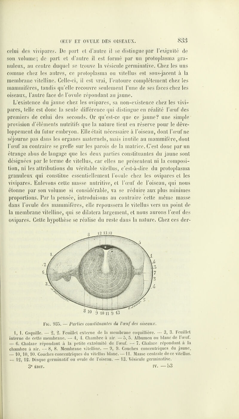 celui des vivipares. De part et d’autre il se distingue par l’exiguïté de son volume; de part et d’autre il est formé par un protoplasma gra¬ nuleux, au centre duquel se trouve la vésicule germinative. Chez les uns comme chez les autres, ce protoplasma ou vitellus est sous-jacent à la membrane vitelline. Celle-ci, il est vrai, l’entoure complètement chez les mammifères, tandis qu’elle recouvre seulement l’une de ses faces chez les oiseaux, l’autre face de l’ovule répondant au jaune. L’existence du jaune chez les ovipares, sa non-existence chez les vivi¬ pares, telle est donc la seule différence qui distingue en réalité l’œuf des premiers de celui des seconds. Or qu’est-ce que ce jaune? une simple provision d’éléments nutritifs que la nature tient en réserve pour le déve¬ loppement du futur embryon. Elle était nécessaire à l’oiseau, dont l’œuf ne séjourne pas dans les organes maternels, mais inutile au mammifère, dont l’œuf au contraire se greffe sur les parois de la matrice. C’est donc par un étrange abus de langage que les deux parties constituantes du jaune sont désignées par le terme de vitellus, car elles ne présentent ni la composi¬ tion, ni les attributions du véritable vitellus, c’est-à-dire du protoplasma granuleux qui constitue essentiellement l’ovule chez les ovipares et les vivipares. Enlevons cette masse nutritive, et l’œuf de l’oiseau, qui nous étonne par son volume si considérable, va se réduire aux plus minimes proportions. Par la pensée, introduisons au contraire cette même masse dans l’ovule des mammifères, elle repoussera le vitellus vers un point de la membrane vitelline, qui se dilatera largement, et nous aurons l’œuf des ovipares. Celte hypothèse se réalise du reste dans la nature. Chez ces der- Fig. 935. — Parties constituantes da l'œuf des oiseaux. 1,1, Coquille. — 2, 2. Feuillet externe de la membrane coquillière. — 3, 3. Feuillet interne de cette membrane. — 4, 4. Chambre à air. — 5, 5. Albumen ou blanc de l’œuf. — 6. Chalaze répondant à la petite extrémité de l'œuf. — 7. Chalaze répondant à la chambre à air. — 8, 8. Membrane vitelline. — 9, 9. Couches concentriques du jaune. — 10,10,10. Couches concentriques du vitellus blanc. —11. Masse centrale de ce vitellus. — 12, 12. Disque germinatif ou ovule de l’oiseau. — 13. Vésicule germinative. 3e édit. iv. —53