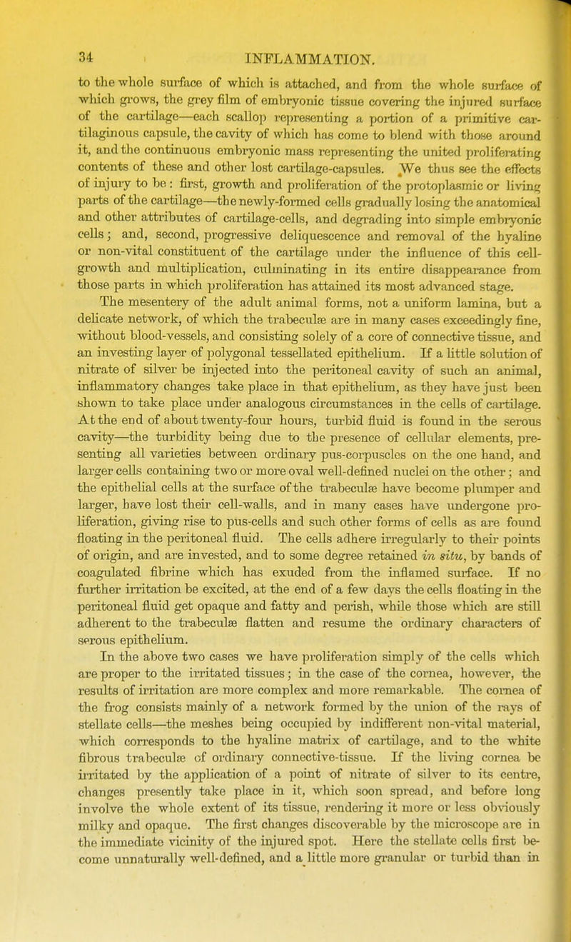 to the whole surface of which is attached, and from the whole surface of which grows, the grey film of embryonic tissue covering the injured surface of the cartilage—each scallop representing a portion of a primitive car- tilaginous capsule, the cavity of which has come to blend with those around it, and the continuous embryonic mass representing the united proliferating contents of these and other lost cartilage-capsules. We thus see the effects of injury to be : first, growth and proliferation of the protoplasmic or living parts of the cartilage—the newly-formed cells gradually losing the anatomical and other attributes of cartilage-cells, and degrading into simple embryonic cells 5 and, second, progressive deliquescence and removal of the hyaline or non-vital constituent of the cartilage under the influence of this cell- growth and multiplication, culminating in its entire disappearance from those parts in which proliferation has attained its most advanced stage. The mesenteiy of the adult animal forms, not a uniform lamina, but a delicate network, of which the trabecule are in many cases exceedingly fine, without blood-vessels, and consisting solely of a core of connective tissue, and an investing layer of polygonal tessellated epithelium. If a little solution of nitrate of silver be injected into the peritoneal cavity of such an animal, inflammatory changes take place in that epithelium, as they have just been shown to take place under analogous circumstances in the cells of cartilage. At the end of about twenty-four hours, turbid fluid is found in the serous cavity—the turbidity being due to the presence of cellular elements, pre- senting all varieties between ordinary pus-corpuscles on the one hand, and larger cells containing two or more oval well-defined nuclei on the other; and the epithelial cells at the surface of the trabecule have become plumper and larger, have lost their cell-walls, and in many cases have undergone pro- liferation, giving rise to pus-cells and such other forms of cells as are found floating in the peritoneal fluid. The cells adhere irregularly to their points of origin, and are invested, and to some degree retained in situ, by bands of coagulated fibrine which has exuded from the inflamed surface. If no further irritation be excited, at the end of a few days the cells floating in the peritoneal fluid get opaque and fatty and perish, while those which are still adherent to the trabecule flatten and resume the ordinary characters of serous epithelium. In the above two cases we have proliferation simply of the cells which are proper to the irritated tissues; in the case of the cornea, however, the results of irritation are more complex and more remarkable. The cornea of the frog consists mainly of a network formed by the union of the rays of stellate cells—the meshes being occupied by indifferent non-vital material, which corresponds to the hyaline matrix of cartilage, and to the white fibrous trabeculse of ordinary connective-tissue. If the living cornea be irritated by the application of a point of nitrate of silver to its centre, changes presently take place in it, which soon spread, and before long involve the whole extent of its tissue, rendering it more or less obviously milky and opaque. The first changes discoverable by the microscope are in the immediate vicinity of the injured spot. Here the stellate cells first be- come unnaturally well-defined, and a little more granular or turbid than in