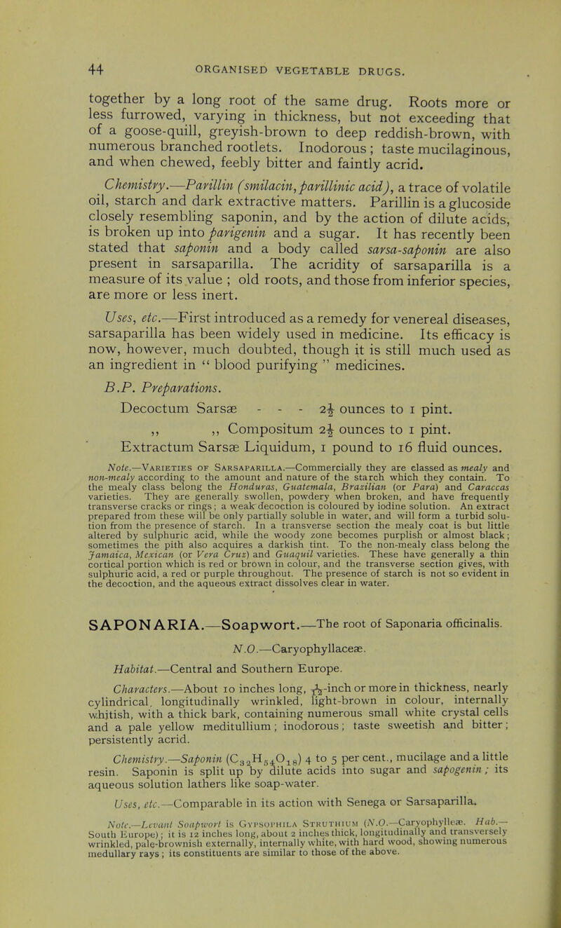together by a long root of the same drug. Roots more or less furrowed, varying in thickness, but not exceeding that of a goose-quill, greyish-brown to deep reddish-brown, with numerous branched rootlets. Inodorous ; taste mucilaginous, and when chewed, feebly bitter and faintly acrid. ^ Chemistry.—PavilUn (smilacin, pavillinic acid), a. trace of volatile oil, starch and dark extractive matters. Parillin is aglucoside closely resembling saponin, and by the action of dilute acids, is broken up into parigenin and a sugar. It has recently been stated that saponin and a body called savsa-saponin are also present in sarsaparilla. The acridity of sarsaparilla is a measure of its value ; old roots, and those from inferior species, are more or less inert. i!75^5, etc.—^First introduced as a remedy for venereal diseases, sarsaparilla has been widely used in medicine. Its efficacy is now, however, much doubted, though it is still much used as an ingredient in  blood purifying  medicines. B.P. Preparations. Decoctum Sarsae - - - 2-| ounces to i pint. ,, ,, Compositum 2-| ounces to i pint. Extractum Sarsae Liquidum, i pound to i6 fluid ounces. Note.—Varieties of Sarsaparilla.—Commercially they are classed as mealy and non-mealy according to the amount and nature of the starch which they contjiin. To the mealy class belong the Honduras, Guatetnala, Brazilian (or Para) and Caraccas varieties. They are generally swollen, powdery when broken, and have frequently transverse cracks or rings ; a wealc decoction is coloured by iodine solution. An extract prepared trom these will be only partially soluble in water, and will form a turbid solu- tion from the presence of starch. In a transverse section the mealy coat is but little altered by sulphuric acid, while the woody zone becomes purplish or almost black; sometimes the pith also acquires a darkish tint. To the non-mealy class belong the Jamaica, Mexican (or Vera Cruz) and Guaqiiil varielies. These have generally a thin cortical portion which is red or brown in colour, and the transverse section gives, with sulphuric acid, a red or purple throughout. The presence of starch is not so evident in the decoction, and the aqueous extract dissolves clear in water. SAPON ARIA.—Soapwort.—The root of Saponaria officinalis. N. 0.—Caryophyllaceas. Habitat.—Central and Southern Europe. Characters.—About lo inches long, ji^-inch or more in thickness, nearly cylindrical, longitudinally wrinkled, light-brown in colour, internally whitish, with a thick bark, containing numerous small white crystal cells and a pale yellow medituUium; inodorous; taste sweetish and bitter; persistently acrid. Chemistry.—Saponin (Ca^U^JJ^s) 4 to 5 P^^ '^^t., mucilage and a Uttle resin. Saponin is split up by dilute acids into sugar and sapogenin ; its aqueous solution lathers like soap-water. Uses, fie—Comparable in its action with Senega or Sarsaparilla. Note—Levant Soapwort is GvpsorniLA Stkuthium (jV.O.—Caryophylleaj. Hub.— South Europe); it is 12 inches long, about 2 inches thick, longitudinally and transversely wrinkled, pale-brownish externally, internally white, with hard wood, showing numerous medullary rays ; its constituents are similar to those of the above.