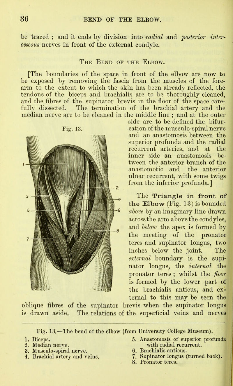 be traced ; and it ends by division into radial and ^posterior inter- osseous nerves in front of the external condyle. Fi-. 13. The Bend of the Elbow. [The boundaries of the space in front of the elbow are now to be exposed by removing the fascia from the muscles of the fore- arm to the extent to which the skin has been already reflected, the tendons of the biceps and brachialis are to be thoroughly cleaned, and the fibres of the supinator brevis in the floor of the space care- fully dissected. The termination of the brachial artery and the median nerve are to be cleaned in the middle line ; and at the outer side are to be defined the bifur- cation of the niusciilo-spiral nerve and an anastomosis between the superior profunda and the radial recurrent arteries, and at the inner side an anastomosis be- tween the anterior branch of the anastomotic and the anterior ulnar recurrent, with some twigs from the inferior profunda.] The Triangle in front of the Elbow (Fig. 13) is bounded above by an imaginary line drawn across the arm above the condyles, and helovj the apex is formed by the meeting of the pronator teres and supinator longus, two inches below the joint. The external boundary is the supi- nator longus, the internal the pronator teres ; whilst the floor is formed by the lower part of the brachialis anticus, and ex- ternal to this may be seen the oblique fibres of the supinator brevis when the supinator longus is drawn aside. The relations of the superficial veins and nerves Fig. 13.—The bend of the elbow (from University College Museum). 1. Biceps. o. Anastomosis of superior profunda 2. Median nerve. with radial recurrent. 3. Musculo-spiral nerve. 6. Brachialis anticus. 4. Brachial artery and veins. 7. Supinator longus (turned back). 8. Pronator teres.