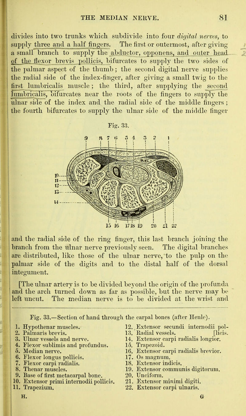 divides into two trunks which subdivide into four digital nerves, to supply three^and a half fingers. The first or outermost, after giving a small branch to supply the abductor, opjDonens, and outer head of the flexor brevis pollicis, bifurcates to sujDply the two sides of the palmar aspect of the thumb; the second digital nerve sup]3lies the radial side of the index-finger, after giving a small twig to the first lumbricalis muscle ; the third, after supplying the second iumbricalis, bifurcates near the roots of the fingers to supply the ulnar side of the index and the radial side of the middle fingers ; the fourth bifurcates to supply the ulnar side of the middle finger Fisr. 33. ]k 16 1718 h 20 and the radial side of the ring finger, this last branch joining the branch from the ulnar nerve previously seen. The digital branches are distributed, like those of the nlnar nerve, to the pulp on th(^ palmar side of the digits and to the distal half of the dorsal mtegument. [The nlnar artery is to be divided beyond the origin of the profunda and the arch turned down as far as possible, but the nerve may be left nncut. The median nerve is to be divided at the wrist and Fig. 33.—Section of hand through the carpal bones (after Henle). 1. Hypothenar muscles. 2. Palmaris brevis. 3. Ulnar vessels and nerve. 4. Flexor sublimis and profundus. 5. Median nerve. 6. Flexor longus pollicis. 7. Flexor carpi radialis. 8. Thenar muscles. 9. Base of first metacarpal bone. 10. Extensor primi internodii pollicis. 11. Trapezium. 12. Extensor secundi internodii pol- 13. Eadial vessels. [licis. 14. Extensor carpi radialis longior. 15. Trapezoid. 16. Extensor carpi radialis brevier. 17. Os magnum. 18. Extensor indicis. 19. Extensor communis digitorum. 20. Unciform. 21. Extensor minimi digiti. 22. Extensor carpi ulnaris.