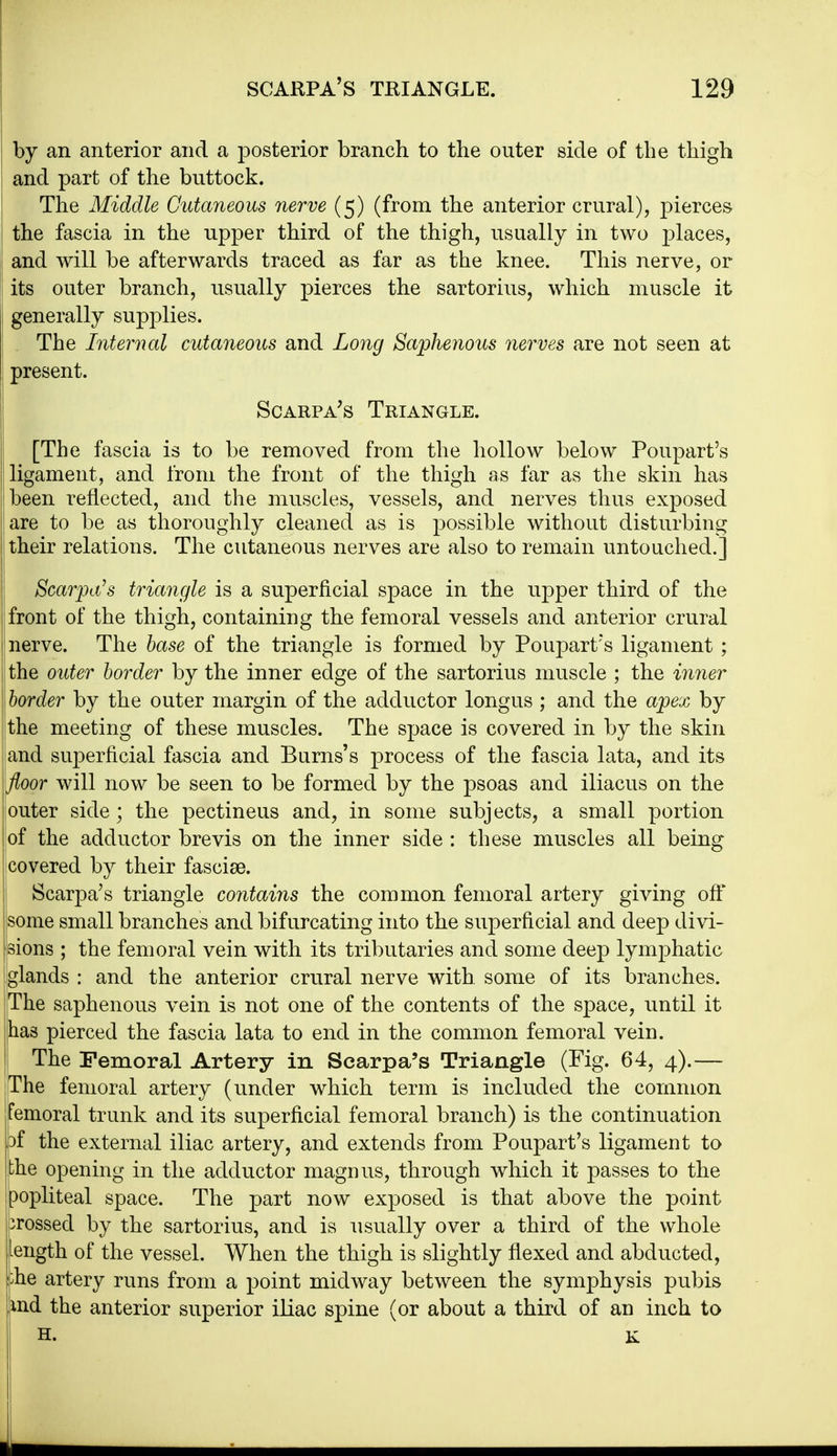 by an anterior and a posterior branch to the outer side of the thigh and part of the buttock. The Middle Cutaneous nerve (5) (from the anterior crural), pierces the fascia in the upper third of the thigh, usually in two jDlaces, and will be afterwards traced as far as the knee. This nerve, or 1 its outer branch, usually pierces the sartorius, which muscle it generally supplies. The Internal cutaneous and Long Saphenous nerves are not seen at present. Scarpa's Triangle. [The fascia is to be removed from the hollow below Poupart's ligament, and from the front of the thigh as far as the skin has been reflected, and the muscles, vessels, and nerves thus exposed are to be as thoroughly cleaned as is possible without disturbing their relations. The cutaneous nerves are also to remain untouched.] j Scarpa's triangle is a superficial space in the upper third of the front of the thigh, containing the femoral vessels and anterior crural [nerve. The base of the triangle is formed by Poupart's ligament; the outer border by the inner edge of the sartorius muscle ; the inner \border by the outer margin of the adductor longus ; and the apex by the meeting of these muscles. The space is covered in by the skin and suj)erficial fascia and Burns's process of the fascia lata, and its floor will now be seen to be formed by the psoas and iliacus on the iouter side ; the pectineus and, in some subjects, a small portion !of the adductor brevis on the inner side : these muscles all being jcovered by their fasciae. j Scarpa's triangle contains the common femoral artery giving off Isome small branches and bifurcating into the superficial and deep divi- sions ; the femoral vein with its tributaries and some deep lymphatic glands : and the anterior crural nerve with some of its branches. The saphenous vein is not one of the contents of the space, until it has pierced the fascia lata to end in the common femoral vein. I The Femoral Artery in Scarpa's Triangle (Fig. 64, 4).— The femoral artery (under which term is included the common femoral trunk and its superficial femoral branch) is the continuation 3f the external iliac artery, and extends from Poupart's ligament to the opening in the adductor magnus, through which it passes to the popliteal space. The part now exposed is that above the point crossed by the sartorius, and is usually over a third of the whole length of the vessel. When the thigh is slightly flexed and abducted, :he artery runs from a point midway between the symphysis pubis md the anterior superior iliac spine (or about a third of an inch to H. K LI