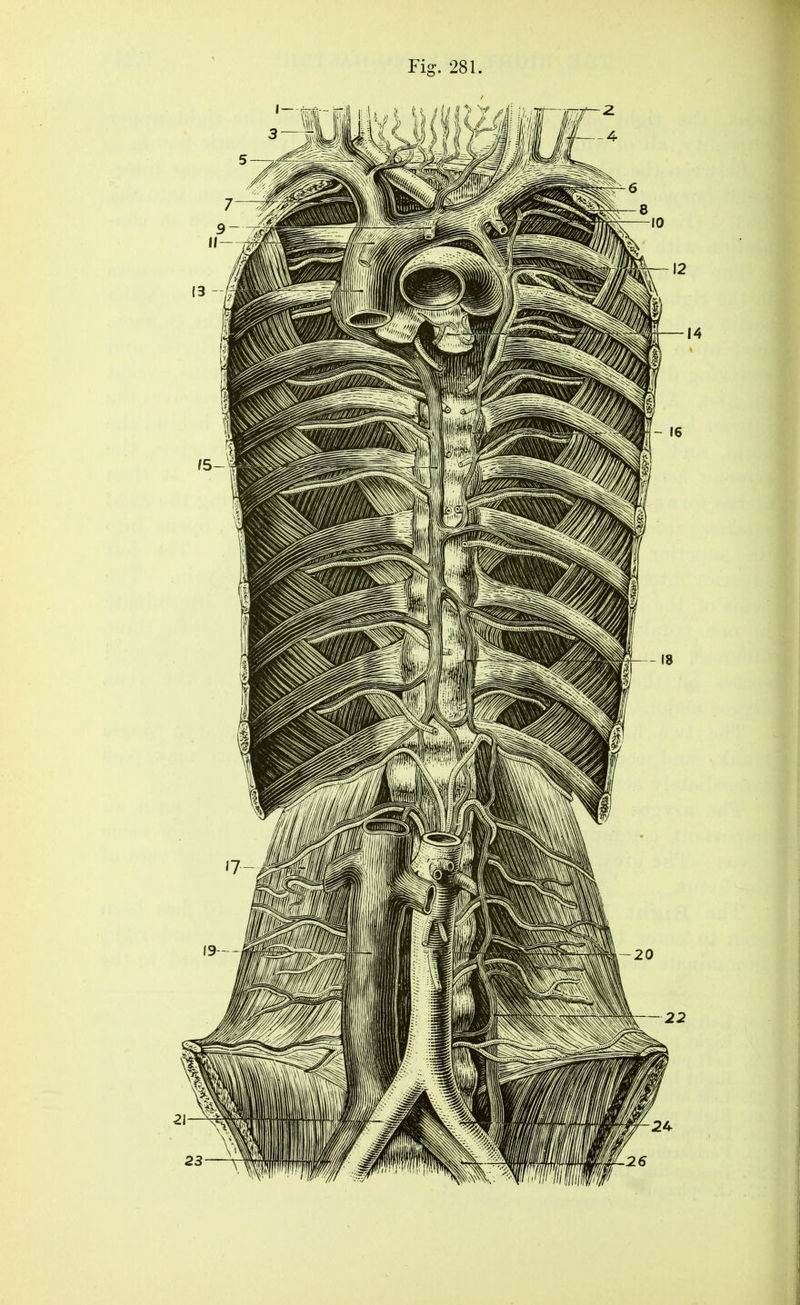 Fig. 281.