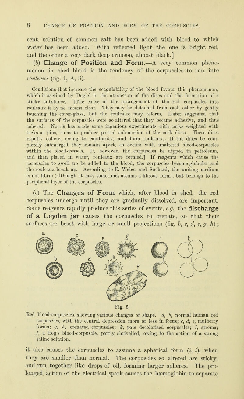 cent, solution of common salt has been added with blood to which water has been added. With reflected light the one is bright red, and the other a very dark deep crimson, almost black.] (b) Change of Position and Form.—A very common pheno¬ menon in shed blood is the tendency of the corpuscles to run into rouleaux (fig. 1, A, 3). Conditions that increase the coagulability of the blood favour this phenomenon, which is ascribed by Dogiel to the attraction of the discs and the formation of a sticky substance. [The cause of the arrangement of the red corpuscles into rouleaux is by no means clear. They may he detached from each other by gently touching the cover-glass, but the rouleaux may reform. Lister suggested that the surfaces of the corpuscles were so altered that they became adhesive, and thus cohered. Norris has made some ingenious experiments with corks weighted with tacks or pins, so as to produce partial submersion of the cork discs. These discs rapidly cohere, owing to capillarity, and form rouleaux. If the discs be com¬ pletely submerged they remain apart, as occurs with unaltered blood-corpuscles within the blood-vessels. If, however, the corpuscles be dipped in petroleum, and then placed in water, rouleaux are formed.] If reagents which cause the corpuscles to swell up be added to the blood, the corpuscles become globular and the rouleaux break up. According to E. Weber and Suchard, the uniting medium is not fibrin (although it may sometimes assume a fibrous form), but belongs to the peripheral layer of the corpuscles. (c) The Changes of Form which, after blood is shed, the red corpuscles undergo until they are gradually dissolved, are important. Some reagents rapidly produce this series of events, e.g., the discharge of a Leyden jar causes the corpuscles to crenate, so that their surfaces are beset with large or small projections (fig. 5, c, d, e, g, h) ; Red blood-corpuscles, showing various changes of shape, a, b, normal human red corpuscles, with the central depression more or less in focus; c, d, e, mulberry forms; g, h, crenated corpuscles; k, pale decolorised corpuscles; l, stroma; /, a frog’s blood-corpuscle, partly shrivelled, owing to the action of a strong saline solution. it also causes the corpuscles to assume a spherical form (i, i), when they are smaller than normal. The corpuscles so altered are sticky, and run together like drops of oil, forming larger spheres. The pro¬ longed action of the electrical spark causes the haemoglobin to separate