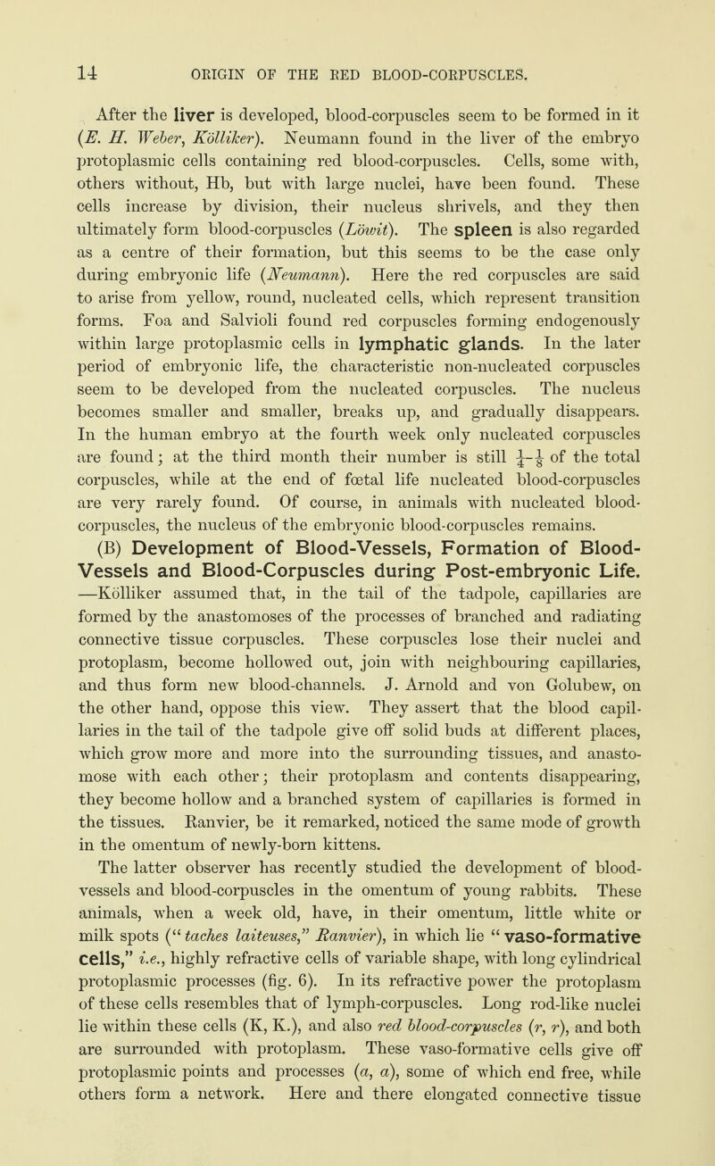 After the liver is developed, blood-corpuscles seem to be formed in it (E. H. Weber, Kölliker). Neumann found in the liver of the embryo protoplasmic cells containing red blood-corpuscles. Cells, some with, others without, Hb, but with large nuclei, have been found. These cells increase by division, their nucleus shrivels, and they then ultimately form blood-corpuscles (Limit). The spleen is also regarded as a centre of their formation, but this seems to be the case only during embryonic life (Neumann). Here the red corpuscles are said to arise from yellow, round, nucleated cells, which represent transition forms. Foa and Salvioli found red corpuscles forming endogenously within large protoplasmic cells in lymphatic glands. In the later period of embryonic life, the characteristic non-nucleated corpuscles seem to be developed from the nucleated corpuscles. The nucleus becomes smaller and smaller, breaks up, and gradually disappears. In the human embryo at the fourth week only nucleated corpuscles are found; at the third month their number is still of the total corpuscles, while at the end of foetal life nucleated blood-corpuscles are very rarely found. Of course, in animals with nucleated blood- corpuscles, the nucleus of the embryonic blood-corpuscles remains. (B) Development of Blood-Vessels, Formation of Blood- Vessels and Blood-Corpuscles during Post-embryonic Life. —Kölliker assumed that, in the tail of the tadpole, capillaries are formed by the anastomoses of the processes of branched and radiating connective tissue corpuscles. These corpuscles lose their nuclei and protoplasm, become hollowed out, join with neighbouring capillaries, and thus form new blood-channels. J. Arnold and von Golubew, on the other hand, oppose this view. They assert that the blood capil¬ laries in the tail of the tadpole give off solid buds at different places, which grow more and more into the surrounding tissues, and anasto¬ mose with each other; their protoplasm and contents disappearing, they become hollow and a branched system of capillaries is formed in the tissues. Ranvier, be it remarked, noticed the same mode of growth in the omentum of newly-born kittens. The latter observer has recently studied the development of blood¬ vessels and blood-corpuscles in the omentum of young rabbits. These animals, when a week old, have, in their omentum, little white or milk spots (“ taches laiteuses,” Ranvier), in which lie “ vaso-formative Cells,” i.e., highly refractive cells of variable shape, with long cylindrical protoplasmic processes (fig. 6). In its refractive power the protoplasm of these cells resembles that of lymph-corpuscles. Long rod-like nuclei lie within these cells (K, K.), and also red blood-corpuscles (r, r), and both are surrounded with protoplasm. These vaso-formative cells give off protoplasmic points and processes (a, a), some of which end free, while others form a network. Here and there elongated connective tissue