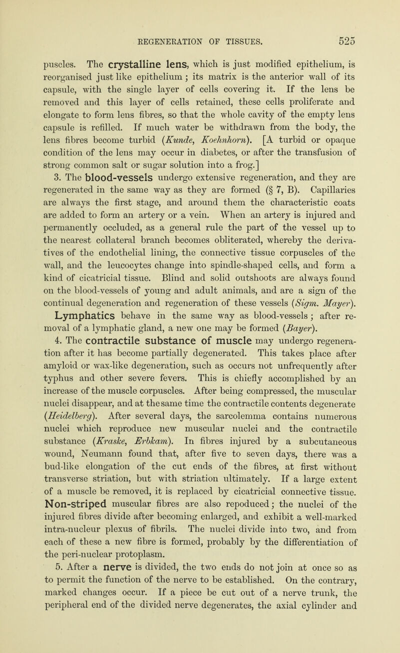 puscles. The crystalline lens, which is just modified epithelium, is reorganised just like epithelium ; its matrix is the anterior wall of its capsule, with the single layer of cells covering it. If the lens be removed and this layer of cells retained, these cells proliferate and elongate to form lens fibres, so that the whole cavity of the empty lens capsule is refilled. If much water be withdrawn from the body, the lens fibres become turbid [Kunde, Koehnhorn). [A turbid or opaque condition of the lens may occur in diabetes, or after the transfusion of strong common salt or sugar solution into a frog.] 3. The blood-vessels undergo extensive regeneration, and they are regenerated in the same way as they are formed (§ 7, B). Capillaries are always the first stage, and around them the characteristic coats are added to form an artery or a vein. When an artery is injured and permanently occluded, as a general rule the part of the vessel up to the nearest collateral branch becomes obliterated, whereby the deriva¬ tives of the endothelial lining, the connective tissue corpuscles of the wall, and the leucocytes change into spindle-shaped cells, and form a kind of cicatricial tissue. Blind and solid outshoots are always found on the blood-vessels of young and adult animals, and are a sign of the continual degeneration and regeneration of these vessels (Sigm. Mayer). Lymphatics behave in the same way as blood-vessels; after re¬ moval of a lymphatic gland, a new one may be formed [Bayer). 4. The contractile substance of muscle may undergo regenera¬ tion after it has become partially degenerated. This takes place after amyloid or wax-like degeneration, such as occurs not unfrequently after typhus and other severe fevers. This is chiefly accomplished by an increase of the muscle corpuscles. After being compressed, the muscular nuclei disappear, and at the same time the contractile contents degenerate [Heidelberg). After several days, the sarcolemma contains numerous nuclei which reproduce new muscular nuclei and the contractile substance [KrasJce, Erbkam). In fibres injured by a subcutaneous wound, Neumann found that, after five to seven days, there was a bud-like elongation of the cut ends of the fibres, at first without transverse striation, but with striation ultimately. If a large extent of a muscle be removed, it is replaced by cicatricial connective tissue. N on-striped muscular fibres are also repoduced; the nuclei of the injured fibres divide after becoming enlarged, and exhibit a well-marked intra-nucleur plexus of fibrils. The nuclei divide into two, and from each of these a new fibre is formed, probably by the differentiation of the peri-nuclear protoplasm. 5. After a nerve is divided, the two ends do not join at once so as to permit the function of the nerve to be established. On the contrary, marked changes occur. If a piece be cut out of a nerve trunk, the peripheral end of the divided nerve degenerates, the axial cylinder and