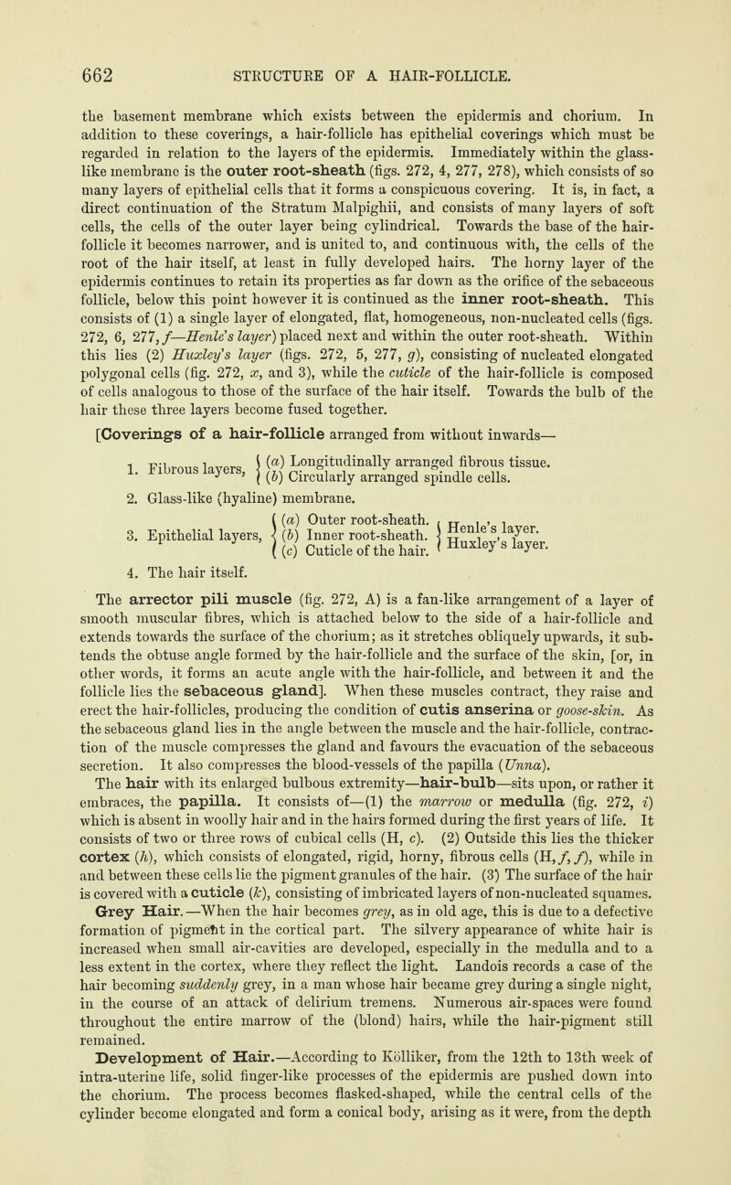 the basement membrane which exists between the epidermis and chorium. In addition to these coverings, a hair-follicle has epithelial coverings which must be regarded in relation to the layers of the epidermis. Immediately within the glass¬ like membrane is the outer root-sheath, (figs. 272, 4, 277, 278), which consists of so many layers of epithelial cells that it forms a conspicuous covering. It is, in fact, a direct continuation of the Stratum Malpighii, and consists of many layers of soft cells, the cells of the outer layer being cylindrical. Towards the base of the hair- follicle it becomes narrower, and is united to, and continuous with, the cells of the root of the hair itself, at least in fully developed hairs. The horny layer of the epidermis continues to retain its properties as far down as the orifice of the sebaceous follicle, below this point however it is continued as the inner root-sheath. This consists of (1) a single layer of elongated, flat, homogeneous, non-nucleated cells (figs. 272, 6, 277, /—Henle's layer) placed next and within the outer root-sheath. Within this lies (2) Huxley's layer (figs. 272, 5, 277, g), consisting of nucleated elongated polygonal cells (fig. 272, x, and 3), while the cuticle of the hair-follicle is composed of cells analogous to those of the surface of the hair itself. Towards the bulb of the hair these three layers become fused together. [Coverings of a hair-follicle arranged from without inwards— 1. Fibrous layers, i (a) Longitudinally arranged fibrous tissue. | (b) Circularly arranged spindle cells. 2. Glass-like (hyaline) membrane. ((a) Outer root-sheath. , „ , , , 3. Epithelial layers, < (b) Inner root-sheath. ] n®11!6 s,layer* P \\4 Cuticle of the hair. * Huxley 8 W«. 4. The hair itself. The arrector pili muscle (fig. 272, A) is a fan-like arrangement of a layer of smooth muscular fibres, which is attached below to the side of a hair-follicle and extends towards the surface of the chorium; as it stretches obliquely upwards, it sub¬ tends the obtuse angle formed by the hair-follicle and the surface of the skin, [or, in other words, it forms an acute angle with the hair-follicle, and between it and the follicle lies the sebaceous gland]. When these muscles contract, they raise and erect the hair-follicles, producing the condition of cutis anserina or goose-sJcin. As the sebaceous gland lies in the angle between the muscle and the hair-follicle, contrac¬ tion of the muscle compresses the gland and favours the evacuation of the sebaceous secretion. It also compresses the blood-vessels of the papilla (TJnna). The hair with its enlarged bulbous extremity—hair-bulb—sits upon, or rather it embraces, the papilla. It consists of—(1) the marrow or medulla (fig. 272, i) which is absent in woolly hair and in the hairs formed during the first years of life. It consists of two or three rows of cubical cells (H, c). (2) Outside this lies the thicker cortex (h), which consists of elongated, rigid, horny, fibrous cells (H, /, /), while in and between these cells lie the pigment granules of the hair. (3) The surface of the hair is covered with a cuticle (k), consisting of imbricated layers of non-nucleated squames. Grey Hair. —When the hair becomes grey, as in old age, this is due to a defective formation of pigmelit in the cortical part. The silvery appearance of white hair is increased when small air-cavities are developed, especially in the medulla and to a less extent in the cortex, where they reflect the light. Landois records a case of the hair becoming suddenly grey, in a man whose hair became grey during a single night, in the course of an attack of delirium tremens. Numerous air-spaces were found throughout the entire marrow of the (blond) hairs, while the hair-pigment still remained. Development of Hair.—According to Kölliker, from the 12th to 13th week of intra-uterine life, solid finger-like processes of the epidermis are pushed down into the chorium. The process becomes flasked-shaped, while the central cells of the cylinder become elongated and form a conical body, arising as it were, from the depth