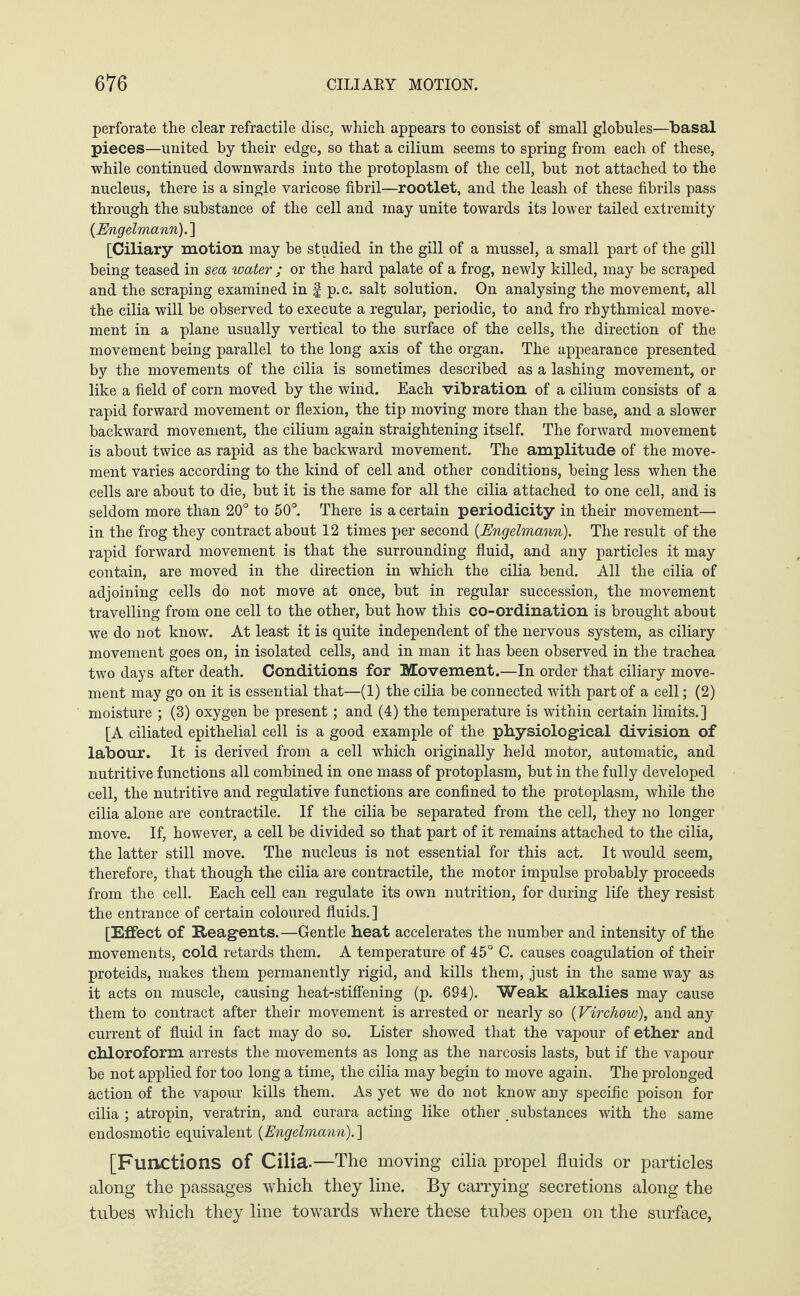 perforate the clear retractile disc, which appears to consist of small globules—basal pieces—united by their edge, so that a cilium seems to spring from each of these, while continued downwards into the protoplasm of the cell, hut not attached to the nucleus, there is a single varicose fibril—rootlet, and the leash of these fibrils pass through the substance of the cell and may unite towards its lower tailed extremity {Engelmann).'] [Ciliary motion may be studied in the gill of a mussel, a small part of the gill being teased in sea water ; or the hard palate of a frog, newly killed, may be scraped and the scraping examined in £ p.c. salt solution. On analysing the movement, all the cilia will be observed to execute a regular, periodic, to and fro rhythmical move¬ ment in a plane usually vertical to the surface of the cells, the direction of the movement being parallel to the long axis of the organ. The appearance presented by the movements of the cilia is sometimes described as a lashing movement, or like a field of corn moved by the wind. Each vibration of a cilium consists of a rapid forward movement or flexion, the tip moving more than the base, and a slower backward movement, the cilium again straightening itself. The forward movement is about twice as rapid as the backward movement. The amplitude of the move¬ ment varies according to the kind of cell and other conditions, being less when the cells are about to die, but it is the same for all the cilia attached to one cell, and is seldom more than 20° to 50°. There is a certain periodicity in their movement— in the frog they contract about 12 times per second {Engelmann). The result of the rapid forward movement is that the surrounding fluid, and any particles it may contain, are moved in the direction in which the cilia bend. All the cilia of adjoining cells do not move at once, but in regular succession, the movement travelling from one cell to the other, but how this co-ordination is brought about we do not know. At least it is quite independent of the nervous system, as ciliary movement goes on, in isolated cells, and in man it has been observed in the trachea two days after death. Conditions for Movement.—In order that ciliary move¬ ment may go on it is essential that—(1) the cilia be connected with part of a cell; (2) moisture ; (3) oxygen be present; and (4) the temperature is within certain limits.] [A ciliated epithelial cell is a good example of the physiological division of labour. It is derived from a cell which originally held motor, automatic, and nutritive functions all combined in one mass of protoplasm, but in the fully developed cell, the nutritive and regulative functions are confined to the protoplasm, while the cilia alone are contractile. If the cilia be separated from the cell, they no longer move. If, however, a cell be divided so that part of it remains attached to the cilia, the latter still move. The nucleus is not essential for this act. It would seem, therefore, that though the cilia are contractile, the motor impulse probably proceeds from the cell. Each cell can regulate its own nutrition, for during life they resist the entrance of certain coloured fluids.] [Effect of Reagents.—Gentle heat accelerates the number and intensity of the movements, cold retards them. A temperature of 45° C. causes coagulation of their proteids, makes them permanently rigid, and kills them, just in the same way as it acts on muscle, causing heat-stiffening (p. 694). Weak alkalies may cause them to contract after their movement is arrested or nearly so {Virchow), and any current of fluid in fact may do so. Lister showed that the vapour of ether and chloroform arrests the movements as long as the narcosis lasts, but if the vapour he not applied for too long a time, the cilia may begin to move again. The prolonged action of the vapour kills them. As yet we do not know any specific poison for cilia ; atropin, veratrin, and curara acting like other substances with the same endosmotic equivalent {Engelmann).] [Functions of Cilia.—The moving cilia propel fluids or particles along the passages which they line. By carrying secretions along the tubes which they line towards where these tubes open on the surface,