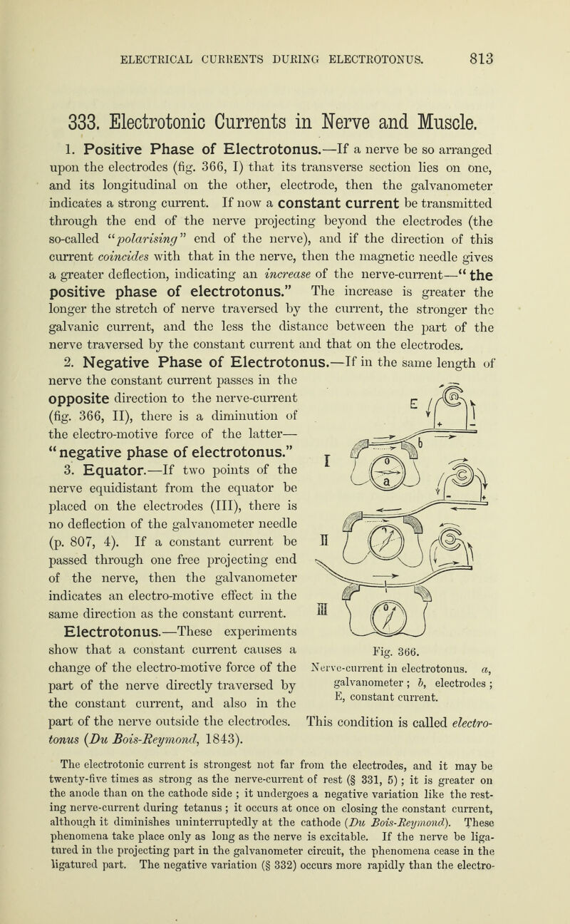 333. Electrotonic Currents in Nerve and Muscle. 1. Positive Phase of Electrotonus.—If a nerve be so arranged upon the electrodes (fig. 366, I) that its transverse section lies on one, and its longitudinal on the other, electrode, then the galvanometer indicates a strong current. If now a constant current be transmitted through the end of the nerve projecting beyond the electrodes (the so-called “polarising” end of the nerve), and if the direction of this current coincides with that in the nerve, then the magnetic needle gives a greater deflection, indicating an increase of the nerve-current—“ the positive phase of electrotonus.” The increase is greater the longer the stretch of nerve traversed by the current, the stronger the galvanic current, and the less the distance between the part of the nerve traversed by the constant current and that on the electrodes. 2. Negative Phase of Electrotonus.—If in the same length of nerve the constant current passes in the opposite direction to the nerve-current (fig. 366, II), there is a diminution of the electro-motive force of the latter— “ negative phase of electrotonus.” 3. Equator.—If two points of the nerve equidistant from the equator be placed on the electrodes (HI), there is no deflection of the galvanometer needle (p. 807, 4). If a constant current be passed through one free projecting end of the nerve, then the galvanometer indicates an electro-motive effect in the same direction as the constant current. Electrotonus.—These experiments show that a constant current causes a change of the electro-motive force of the part of the nerve directly traversed by the constant current, and also in the part of the nerve outside the electrodes. tonus (Du Bois-Reymond, 1843). Fig. 366. Nerve-current in electrotonus, a, galvanometer ; b, electrodes ; E, constant current. This condition is called electro- The electrotonic current is strongest not far from the electrodes, and it may be twenty-five times as strong as the nerve-current of rest (§ 331, 5); it is greater on the anode than on the cathode side ; it undergoes a negative variation like the rest¬ ing nerve-current during tetanus ; it occurs at once on closing the constant current, although it diminishes uninterruptedly at the cathode {Du Bois-Reymond). These phenomena take place only as long as the nerve is excitable. If the nerve be liga¬ tured in the projecting part in the galvanometer circuit, the phenomena cease in the ligatured part. The negative variation (§ 332) occurs more rapidly than the electro-