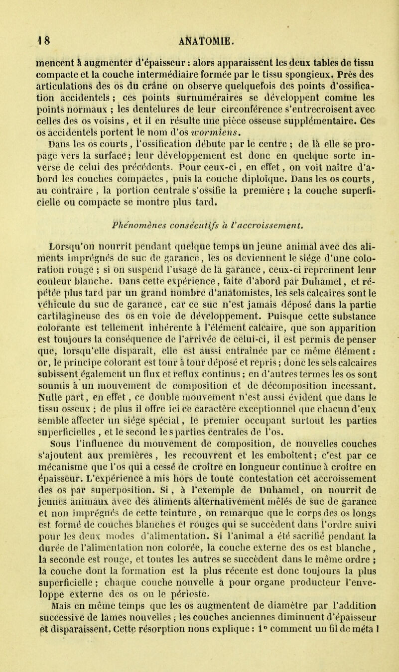 mencent à augmenter d'épaisseur : alors apparaissent les deux tables de tissu compacte et la couche intermédiaire formée par le tissu spongieux. Près des articulations des os du crâne on observe quelquefois des points d'ossifica- tion accidentels ; ces points surnuméraires se développent comme les points normaux ; les dentelures de leur circonférence s'entrecroisent avec celles des os voisins, et il en résulte une pièce osseuse supplémentaire. Ces os accidentels portent le nom d'os wormiens. Dans les os courts, l'ossification débute par le centre ; de là elle se pro- page vers la surface ; leur développement est donc en quelque sorte in- verse de celui des précédents. Pour ceux-ci, en effet, on voit naître d'a- bord les couches compactes, puis la couche diploïque. Dans les os courts, au contraire , la portion centrale s'ossifie la première ; la couche superfi- cielle ou compacte se montre plus tard. Phénomènes consécutifs a Vaccroissement. Lorsqu'on nourrit pendant quelque temps un jeune animal avec des ali- ments imprégnés de suc de garance, les os deviennent le siège d'une colo- ration rouge ; si on suspend l'usage de la garance, ceux-ci reprennent leur couleur blanche. Dans cette expérience, faite d'abord par Duhamel, et ré- pétée plus tard par un grand nombre d'anatomistes, les sels calcaires sont le véhicule du suc de garance, car ce suc n'est jamais déposé dans la partie cartilagineuse des os en voie de développement. Puisque cette substance colorante est tellement inhérente à l'élément calcaire, que son apparition est toujours la conséquence de l'arrivée de celui-ci, il est permis dépenser que, lorsqu'elle disparaît, elle est aussi entraînée par ce même élément : or, le principe colorant est tour à tour déposé et repris ; donc les sels calcaires subissentégalement un flux et reflux continus ; en d'autres termes les os sont soumis à un mouvement de composition et de décomposition incessant. Nulle part, en effet, ce double mouvement n'est aussi évident que dans le tissu osseux ; de plus il offre ici ce caractère exceptionnel que chacun d'eux semble affecter un siège spécial, le premier occupant surtout les parties superficielles, et le second le s parties centrales de l'os. Sous l'influence du mouvement de composition, de nouvelles couches s'ajoutent aux premières, les recouvrent et les emboîtent; c'est par ce mécanisme que l'os qui a cessé de croître en longueur continue à croître en épaisseur. L'expérience a mis hors de toute contestation cet accroissement des os par superposition. Si, à l'exemple de Duhamel, on nourrit de jeunes animaux avec des aliments alternativement mêlés de suc de garance et non imprégnés de cette teinture, on remarque que le corps des os longs est formé de couches blanches et rouges qui se succèdent dans l'ordre suivi pour les deux modes d'alimentation. Si l'animal a été sacrifié pendant la durée de l'alimentation non colorée, la couche externe des os est blanche, la seconde est rouge, et toutes les autres se succèdent dans le même ordre ; la couche dont la formation est la plus récente est donc toujours la plus superficielle ; chaque couche nouvelle a pour organe producteur l'enve- loppe externe des os ou le périoste- Mais en même temps que les os augmentent de diamètre par l'addition successive de lames nouvelles, les couches anciennes diminuent d'épaisseur et disparaissent. Cette résorption nous explique : 1° comment un fil de méta 1