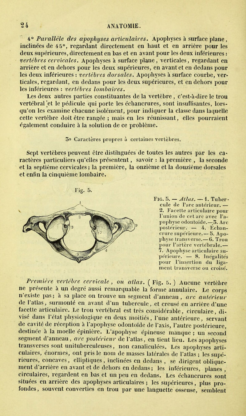4° Parallèle des apophyses articulaires. Apophyses à surface plane, inclinées de 45°, regardant directement en haut et en arrière pour les deux supérieures, directement en bas et en avant pour les deux inférieures : vertèbres cervicales. Apophyses à surface plane, verticales, regardant en arrière et en dehors pour les deux supérieures, en avant et en dedans pour les deux inférieures : vertèbres dorsales. Apophyses à surface courbe, ver- ticales, regardant, en dedans pour les deux supérieures, et en dehors pour les inférieures : vertèbres lombaires. Les deux autres parties constituantes de la vertèbre , c'est-à-dire le trou vertébral'et le pédicule qui porte les échancrures, sont insuffisantes, lors- qu'on les examine chacune isolément, pour indiquer la classe dans laquelle cette vertèbre doit être rangée ; mais en les réunissant, elles pourraient également conduire à la solution de ce problème. Sept vertèbres peuvent être distinguées de toutes les autres par les ca- ractères particuliers qu'elles présentent, savoir : la première , la seconde et la septième cervicales ; la première, la onzième et la douzième dorsales et enfin la cinquième lombaire. Première vertèbre cervicale, ou atlas. ( Fig. 5. ) Aucune vertèbre ne présente à un degré aussi remarquable la forme annulaire. Le corps n'existe pas ; à sa place on trouve un segment d'anneau , arc antérieur de l'atlas, surmonté en avant d'un tubercule, et creusé en arrière d'une facette articulaire. Le trou vertébral est très considérable, circulaire, di- visé dans l'état physiologique en deux moitiés, l'une antérieure, servant de cavité de réception à l'apophyse odontoïde de l'axis, l'autre postérieure, destinée à la moelle épinière. L'apophyse épineuse manque ; un second segment d'anneau, arc postérieur de l'atlas, en tient lieu. Les apophyses transverses sont unituberculeuses, non canaliculées. Les apophyses arti- culaires, énormes, ont pris le nom de masses latérales de l'atlas ; les supé- rieures, concaves, elliptiques, inclinées en dedans , se dirigent oblique- ment d'arrière en avant et de dehors en dedans ; les inférieures, planes , circulaires, regardent en bas et un peu en dedans. Les échancrures sont situées en arrière des apophyses articulaires ; les supérieures, plus pro- fondes, souvent converties en trou par une languette osseuse, semblent 3o Caractères propres à certaines vertèbres. Fig. 5. Fig. 5. — Atlas. — 1. Tuber- cule de Tare antérieur. — 2. Facette articulaire pour l1 uni on de cet arc avec l'a- pophyse odontoïde.—3. Arc postérieur. — 4. Echan- crure supérieure.— 5. Apo- physe transverse.—6. Trou pour l'artère vertébrale.— 7. Apophyse articulaire su- périeure. — 8. Inégalités pour l'insertion du liga- ment transverse ou croisé.