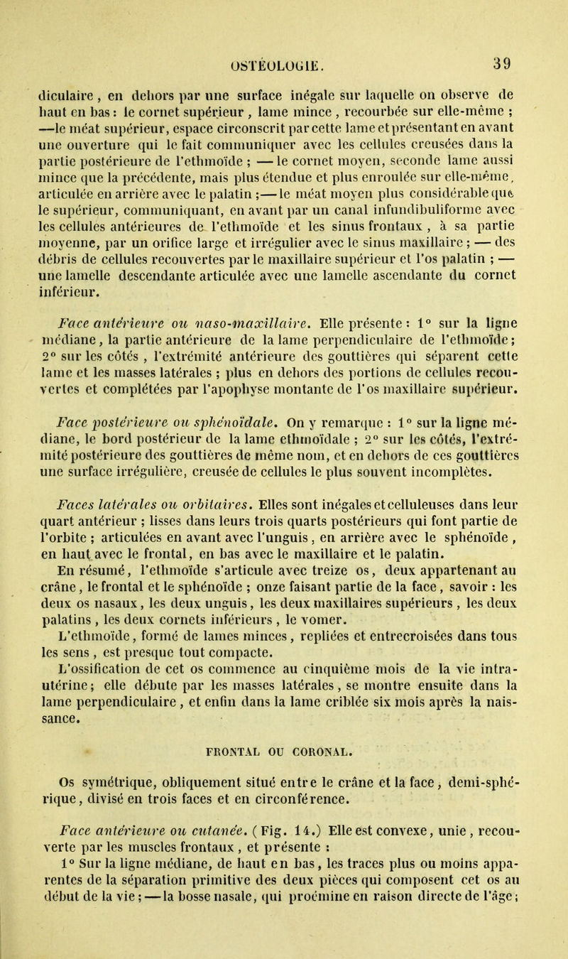 diculaire , en dehors par une surface inégale sur laquelle on observe de haut en bas : le cornet supérieur , lame mince , recourbée sur elle-même ; —le méat supérieur, espace circonscrit par cette lameetprésentanten avant une ouverture qui le fait communiquer avec les cellules creusées dans la partie postérieure de l'ethmoïde ; —le cornet moyen, seconde lame aussi mince que la précédente, mais plus étendue et plus enroulée sur elle-même , articulée en arrière avec le palatin ;—le méat moyen plus considérable qu& le supérieur, communiquant, en avant par un canal infundibuliforme avec les cellules antérieures de l'ethmoïde et les sinus frontaux , à sa partie moyenne, par un orifice large et irrégulier avec le sinus maxillaire ; — des débris de cellules recouvertes par le maxillaire supérieur et l'os palatin ; — une lamelle descendante articulée avec une lamelle ascendante du cornet inférieur. Face antérieure ou naso-maxillaire. Elle présente : 1° sur la ligne médiane, la partie antérieure de la lame perpendiculaire de l'ethmoïde; 2° sur les côtés , l'extrémité antérieure des gouttières qui séparent cette lame et les masses latérales ; plus en dehors des portions de cellules recou- vertes et complétées par l'apophyse montante de l'os maxillaire supérieur. Face postérieure ou sphénoïdale. On y remarque : 1° sur la ligne mé- diane, le bord postérieur de la lame ethmoïdale ; 2° sur les côtés, l'extré- mité postérieure des gouttières de même nom, et en dehors de ces gouttières une surface irrégulière, creusée de cellules le plus souvent incomplètes. Faces latérales ou orbitaires. Elles sont inégales et celluleuses dans leur quart antérieur ; lisses dans leurs trois quarts postérieurs qui font partie de l'orbite ; articulées en avant avec l'unguis, en arrière avec le sphénoïde , en haut avec le frontal, en bas avec le maxillaire et le palatin. En résumé, l'ethmoïde s'articule avec treize os, deux appartenant au crâne, le frontal et le sphénoïde ; onze faisant partie de la face, savoir : les deux os nasaux, les deux unguis, les deux maxillaires supérieurs, les deux palatins , les deux cornets inférieurs , le vomer. L'ethmoïde, formé de lames minces, repliées et entrecroisées dans tous les sens, est presque tout compacte. L'ossification de cet os commence au cinquième mois de la vie intra- utérine ; elle débute par les masses latérales, se montre ensuite dans la lame perpendiculaire , et enfin dans la lame criblée six mois après la nais- sance. FRONTAL OU CORONAL. Os symétrique, obliquement situé entre le crâne et la face, demi-sphé- rique, divisé en trois faces et en circonférence. Face antérieure ou cutanée. ( Fig. 14.) Elle est convexe, unie , recou- verte par les muscles frontaux , et présente : 1° Sur la ligne médiane, de haut en bas, les traces plus ou moins appa- rentes de la séparation primitive des deux pièces qui composent cet os au début de la vie ; — la bosse nasale, qui proémine en raison directe de l'âge ;