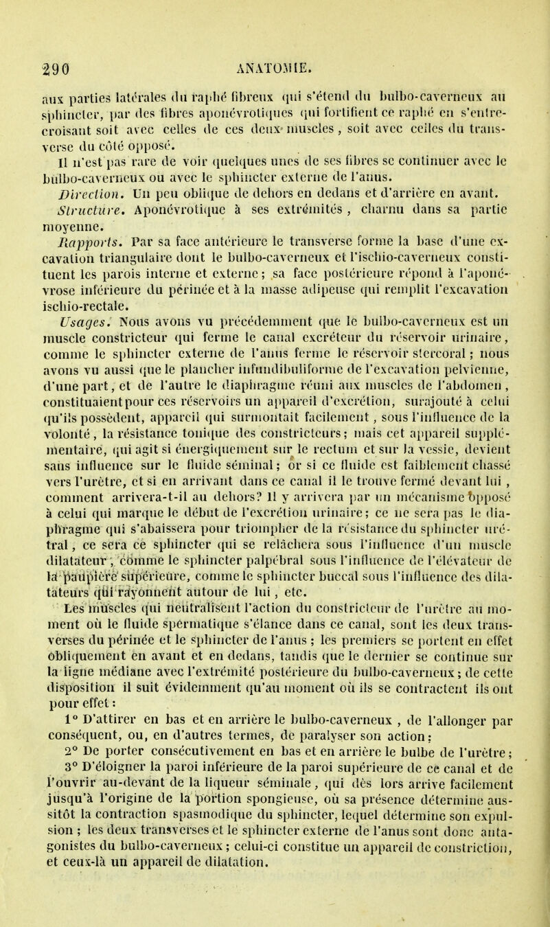 aux parties latérales du raphë fibreux qui s'étend du bulbo-caverneux au sphincter, par des fibres aponévrotiques qui fortifient ce raphë en s'enlre- croisaut soit avec celles de ces deux» muscles, soit avec celles du trans- verse du côté opposé. Il n'est pas rare de voir quelques unes de ses libres se continuer avec le bulbo-caverneux ou avec le sphincter externe de l'anus. Direction. Un peu oblique de dehors en dedans et d'arrière en avant. Structure. Aponévrotique à ses extrémités , charnu dans sa partie moyenne. Rapports. Par sa face antérieure le transverse forme la base d'une ex- cavation triangulaire dont le bulbo-caverneux et l'ischio-caverneux consti- tuent les parois interne et externe ; sa face postérieure répond à l'aponé- vrose inférieure du périnée et à la masse adipeuse qui remplit l'excavation ischio-rectale. Usages. Nous avons vu précédemment que le bulbo-caverneux est un muscle constricteur qui ferme le canal excréteur du réservoir urinaire, comme le sphincter externe de l'anus ferme le réservoir sîercoral ; nous avons vu aussi que le plancher infundibuliforme de l'excavation pelvienne, d'une part, et de l'autre le diaphragme réuni aux muscles de l'abdomen, constituaient pour ces réservoirs un appareil d'excrétion, surajouté à celui qu'ils possèdent, appareil qui surmontait facilement, sous l'iiiHuence de la volonté, la résistance tonique des constricteurs; mais cet appareil supplé- mentaire, qui agit si énergiquement sur le rectum et sur la vessie, devient sans influence sur le fluide séminal; or si ce fluide est faiblement chassé vers l'urètre, et si en arrivant dans ce canal il le trouve fermé devant lui , comment arrivera-t-il au dehors? 11 y arrivera par un mécanisme bpposé à celui qui marque le début de l'excrétion urinaire; ce ne sera pas le dia- phragme qui s'abaissera pour triompher delà résistance du sphincter uré- tral, ce sera ce sphincter qui se relâchera sous l'influence d'un muscle dilatateur, comme le sphincter palpébral sous l'influence de l'élévateur de lâ paupière supérieure, comme le sphincter buccal sous l'influence des dila- tateurs qui rayonnent autour de lui, etc. Les muscles qui neutralisent l'action du constricteur de l'urètre au mo- ment où le fluide spérnïatique s'élance dans ce canal, sont les deux trans- verses du périnée et le sphincter de l'anus ; les premiers se portent en effet Obliquement en avant et en dedans, tandis que le dernier se continue sur la ligne médiane avec l'extrémité postérieure du bulbo-caverneux ; de cette disposition il suit évidemment qu'au moment où ils se contractent ils ont pour effet : 1° D'attirer en bas et en arrière le bulbo-caverneux , de l'allonger par conséquent, ou, en d'autres termes, de paralyser son action: 2° De porter consécutivement en bas et en arrière le bulbe de l'urètre ; 3° D'éloigner la paroi inférieure de la paroi supérieure de ce canal et de l'ouvrir au-devant de la liqueur séminale, qui dès lors arrive facilement jusqu'à l'origine de la portion spongieuse, où sa présence détermine aus- sitôt la contraction spasmodique du sphincter, lequel détermine son expul- sion ; les deux transverses et le sphincter externe de l'anus sont donc anta- gonistes du bulbo-caverneux ; celui-ci constitue un appareil de constriction, et ceux-là un appareil de dilatation.