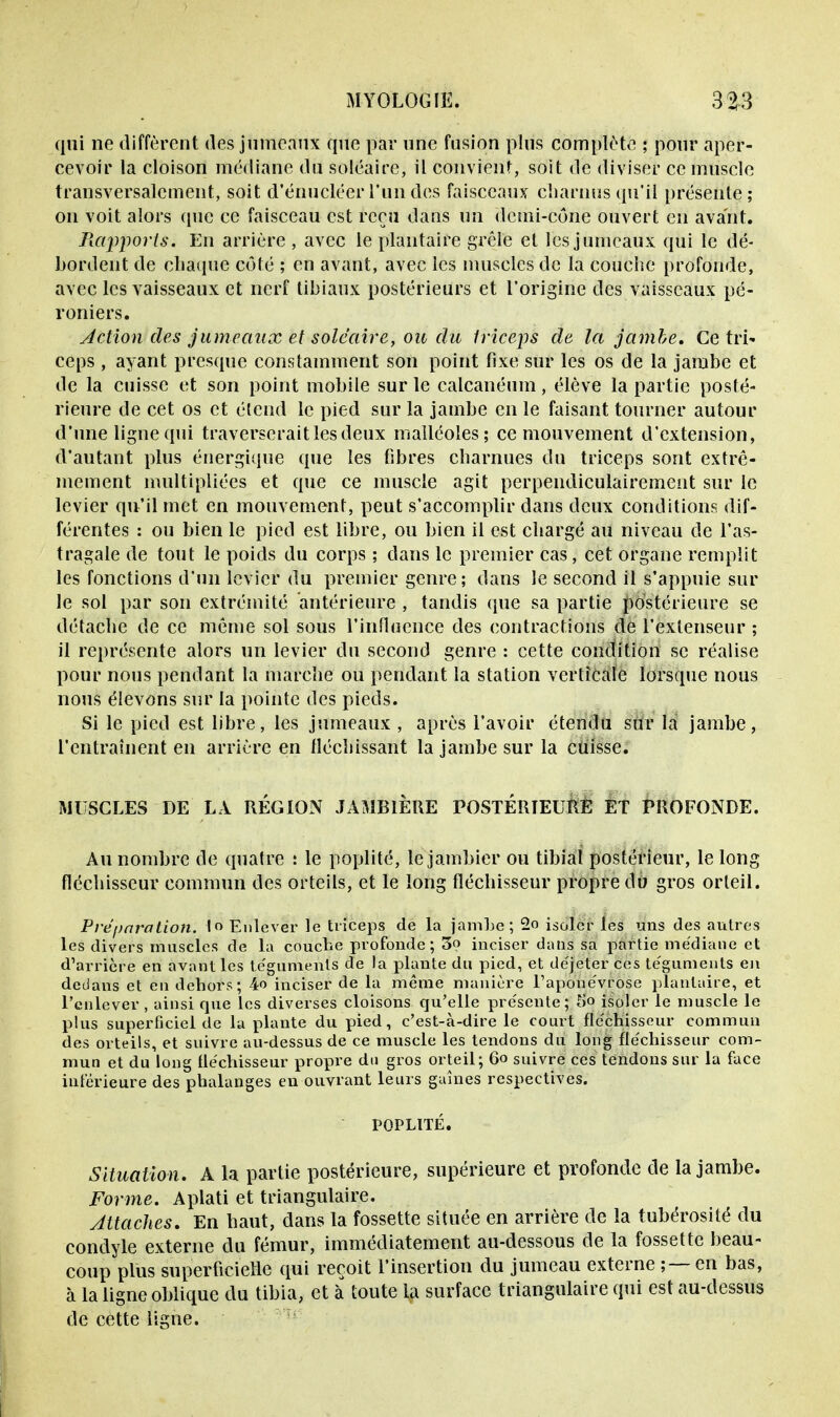 qui ne diffèrent des jumeaux que par une fusion plus complète ; pour aper- cevoir la cloison médiane du soléaire, il convient, soit de diviser ce muscle transversalement, soit d'énucléer l'un des faisceaux charnus qu'il présente; on voit alors que ce faisceau est reçu dans un demi-cône ouvert eu avant. Rapports. En arrière , avec le plantaire grêle et les jumeaux qui le dé- bordent de chaque côté ; en avant, avec les muscles de la couche profonde, avec les vaisseaux et nerf tibiaux postérieurs et l'origine des vaisseaux pé- roniers. Action des jumeaux et soléaire, ou du triceps de la jambe. Ce tri- ceps , ayant presque constamment son point fixe sur les os de la jambe et de la cuisse et son point mobile sur le calcanéum, élève la partie posté- rieure de cet os et étend le pied sur la jambe en le faisant tourner autour d'une ligne qui traverserait les deux malléoles; ce mouvement d'extension, d'autant plus énergique que les fibres charnues du triceps sont extrê- mement multipliées et que ce muscle agit perpendiculairement sur le levier qu'il met en mouvement, peut s'accomplir dans deux conditions dif- férentes : ou bien le pied est libre, ou bien il est chargé au niveau de l'as- tragale de tout le poids du corps ; clans le premier cas, cet organe remplit les fonctions d'un levier du premier genre ; dans le second il s'appuie sur le sol par son extrémité antérieure , tandis (pie sa partie postérieure se détache de ce même sol sous l'influence des contractions de l'extenseur ; il représente alors un levier du second genre : cette condition se réalise pour nous pendant la marche ou pendant la station verticale lorsque nous nous élevons sur la pointe des pieds. Si le pied est libre, les jumeaux , après l'avoir étendu sur la jambe, l'entraînent en arrière en fléchissant la jambe sur la cuisse. MUSCLES DE LA RÉGION JAMBIÈRE POSTERIEURE ET PROFONDE. Au nombre de quatre : le poplité, le jambier ou tibia! postérieur, le long fléchisseur commun des orteils, et le long fléchisseur propre du gros orteil. Préparation, lo Enlever le triceps de la jambe; 2o isoler les uns des autres les divers muscles de la couche profonde; 3o inciser dans sa partie médiane et d'arrière en avant les téguments de la plante du pied, et déjeter ces téguments en dedans et en dehors; 4o inciser de la même manière l'aponévrose plantaire, et l'enlever , ainsi que les diverses cloisons qu'elle présente; 5'o isoler le muscle le plus superficiel de la plante du pied, c'est-à-dire le court fléchisseur commun des orteils, et suivre au-dessus de ce muscle les tendons du long fléchisseur com- mun et du long fléchisseur propre du gros orteil; 60 suivre ces tendons sur la face inférieure des phalanges en ouvrant leurs gaines respectives. POPLITÉ. Situation. A la partie postérieure, supérieure et profonde de la jambe. Forme. Aplati et triangulaire. Attaches. En haut, dans la fossette située en arrière de la tubérosité du condyle externe du fémur, immédiatement au-dessous de la fossette beau- coup plus superficielle qui reçoit l'insertion du jumeau externe ;—en bas, à la ligne oblique du tibia, et à toute ta surface triangulaire qui est au-dessus de cette ligne.