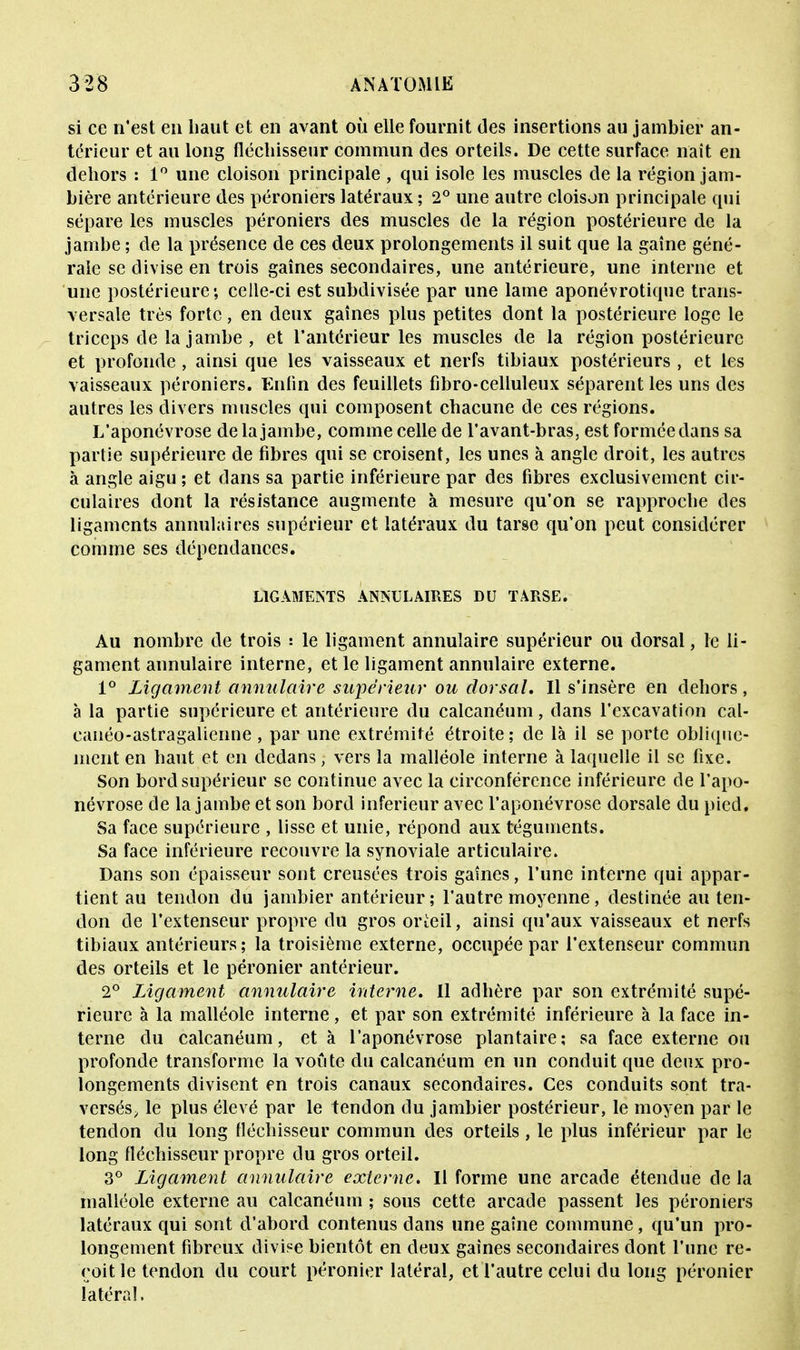 si ce n'est en haut et en avant où elle fournit des insertions au jambier an- térieur et au long fléchisseur commun des orteils. De cette surface naît en dehors : 1° une cloison principale , qui isole les muscles de la région jam- bière antérieure des péroniers latéraux ; 2° une autre cloison principale qui sépare les muscles péroniers des muscles de la région postérieure de la jambe ; de la présence de ces deux prolongements il suit que la gaîne géné- rale se divise en trois gaines secondaires, une antérieure, une interne et une postérieure*, celle-ci est subdivisée par une lame aponévrotique trans- versale très forte, en deux gaines plus petites dont la postérieure loge le triceps de la jambe , et l'antérieur les muscles de la région postérieure et profonde , ainsi que les vaisseaux et nerfs tibiaux postérieurs , et les vaisseaux péroniers. Enfin des feuillets fibro-celluleux séparent les uns des autres les divers muscles qui composent chacune de ces régions. L'aponévrose de la jambe, comme celle de l'avant-bras, est formée dans sa partie supérieure de fibres qui se croisent, les unes à angle droit, les autres à angle aigu ; et dans sa partie inférieure par des fibres exclusivement cir- culaires dont la résistance augmente à mesure qu'on se rapproche des ligaments annulaires supérieur et latéraux du tarse qu'on peut considérer comme ses dépendances. LIGAMENTS ANNULAIRES DU TARSE. Au nombre de trois : le ligament annulaire supérieur ou dorsal, le li- gament annulaire interne, et le ligament annulaire externe. 1° Ligament annulaire supérieur ou dorsal. Il s'insère en dehors, à la partie supérieure et antérieure du calcanéum, dans l'excavation cal- canéo-astragalienne , par une extrémité étroite; de là il se porte oblique- ment en haut et en dedans j vers la malléole interne à laquelle il se lixe. Son bord supérieur se continue avec la circonférence inférieure de l'apo- névrose de la jambe et son bord inférieur avec l'aponévrose dorsale du pied. Sa face supérieure , lisse et unie, répond aux téguments. Sa face inférieure recouvre la synoviale articulaire. Dans son épaisseur sont creusées trois gaines, l'une interne qui appar- tient au tendon du jambier antérieur; l'autre moyenne, destinée au ten- don de l'extenseur propre du gros orteil, ainsi qu'aux vaisseaux et nerfs tibiaux antérieurs; la troisième externe, occupée par l'extenseur commun des orteils et le péronier antérieur. 2° Ligament annulaire interne. Il adhère par son extrémité supé- rieure à la malléole interne, et par son extrémité inférieure à la face in- terne du calcanéum, et à l'aponévrose plantaire; sa face externe ou profonde transforme la voûte du calcanéum en un conduit que deux pro- longements divisent en trois canaux secondaires. Ces conduits sont tra- versés, le plus élevé par le tendon du jambier postérieur, le moyen par le tendon du long fléchisseur commun des orteils, le plus inférieur par le long fléchisseur propre du gros orteil. 3° Ligament annulaire externe. Il forme une arcade étendue de la malléole externe au calcanéum ; sous cette arcade passent les péroniers latéraux qui sont d'abord contenus dans une gaîne commune, qu'un pro- longement fibreux divise bientôt en deux gaines secondaires dont l'une re- çoit le tendon du court péronier latéral, et l'autre celui du long péronier latéral.