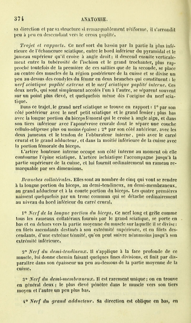 sa direction et par sa structure si remarquablement réliforme, il s'arrondit peu à peu en descendant vers le creux poplité. Trajet et rapports. Ce nerf sort du bassin par la partie la plus infé- rieure de l'échancrure sciatique, entre le bord inférieur du pyramidal et le jumeau supérieur qu'il croise à angle droit; il descend ensuite verticale- ment entre la tubérosité de l'ischion et le grand trochanter, plus rap- proché toutefois de la première de ces saillies que de la seconde, se place au centre des muscles de la région postérieure de la cuisse et se divise un peu au-dessus des condyles du fémnr en deux branches qui constituent : le nerf sciatique poplité externe et le nerf sciatique poplité interne. Ces deux nerfs, qui sont simplement accolés l'un à l'autre, se séparent souvent sur un point plus élevé, et quelquefois même dès l'origine du nerf scia- tique. Dans ce trajet, le grand nerf sciatique se trouve en rapport : 1° par son côté postérieur avec le nerf petit sciatique et le grand fessier ; plus bas avec la longue portion du biceps fémoral qui le croise à angle aigu, et dans son tiers inférieur avec l'aponévrose crurale dont le sépare une couche cellulo-adipeuse plus ou moins épaisse ; 2° par son côté antérieur, avec les deux jumeaux et le tendon de l'obturateur interne, puis avec le carré crural et le grand adducteur, et dans la moitié inférieure de la cuisse avec la portion fémorale du biceps. L'artère honteuse interne occupe son côté interne au moment où elle contourne l'épine sciatique. L'artère ischiatique l'accompagne jusqu'à la partie supérieure de la cuisse, et lui fournit ordinairement un rameau re- marquable par ses dimensions. Branches collatérale?,. Elles sont au nombre de cinq qui vont se rendre à la longue portion du biceps, au demi-tendineux, au demi-membraneux, au grand adducteur et à la courte portion du biceps. Les quatre premières naissent quelquefois par un tronc commun qui se détache ordinairement au niveau du bord inférieur du carré crural. 1° Nerf de la longue portion du biceps. Ce nerf long et grêle comme tous les rameaux collatéraux fournis par le grand sciatique, se porte en bas et en dehors vers la partie moyenne du muscle sur laquelle il se divise: en filets ascendants destinés à son extrémité supérieure, et en filets des- cendants, d'une extrême ténuité, qu'on peut suivre néanmoins jusqu'à son extrémité inférieure. 2° Nerf du clemi-lendineux. Il s'applique à la face profonde de ce muscle, lui donne chemin faisant quelques fines divisions, et finit par dis- paraître dans son épaisseur un peu au-dessous de la partie moyenne de la cuisse. 3° Nerf du demi-membraneux. Il est rarement unique; on en trouve en général deux ; le plus élevé pénètre dans le muscle vers son tiers moyen et l'autre un peu plus bas. 4° Nerf du grand adducteur. Sa direction est oblique en bas, en