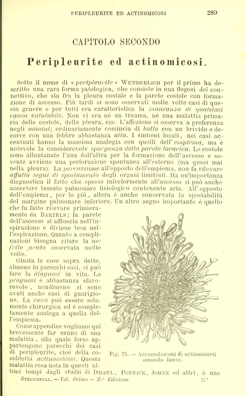 CAPITOLO SECONDO Peripleurite ed actinomicosi. Sotto il nome di « peyHpleurìte » Wunderlich per il primo ha de- scritto una rara forma patologica, che consiste in una flogosi del con- nettivo, che sta fra la pleura costale e la parete costale con forma- zione di ascesso. Più tardi si sono osservati molte volte casi di que- sto genere e per tutti era caratteristica la mancanza di qualsiasi causa valutabile. Non vi era né un trauma, nè una malattia prima- ria delle costole, della pleura, ecc. L'affezione si osserva a preferenza negli uomini; ordinariamente comincia di botto con un brivido e de- corre con una febbre abbastanza alta. I sintomi locali, nei casi ac- centuati hanno la massima analogia con quelli dell' empiema, ma è notevole la considerevole sporgenza della parete toracica. Le costoìe sono allontanate l'una dall'altra per la formazione dell'ascesso e so- vente avviene una perforazione spontanea all'esterno (ma quasi mai nella pleura). Lei percicssione all'opposto dell'empiema, non fa rilevare affatto segni di spostamento degli organi limitrolJ. Ha un'importanza diagnostica il fatto che spesso inferiormente all'ascesso si può anche accertare tessuto pulmonare fisiologico contenente aria. A\V opposto dell'empiema , per lo più , allora è anche conservata la spostabilità del margine pulmonare inferiore. Un altro segno importante è quello che fu fatto rilevare primiera- mente da Bartels ; la parete dell'ascesso si affloscia nell'in- spirazione e diviene tesa nel- l'espirazione. Quanto a compli- cazioni bisogna citare la ne- l'i-ite acuta osservata molte volte. Giusta le cose sopra dette, almeno in parecchi casi, si può fare la diagnosi in vita. La prognosi è abbastanza sfavo- revole , nondimeno si sono avuti anche casi di guarigio- ne. La cura può essere sola- mente chirurgica ed è comple- tamente analoga a quella del- l'empiema. Come appendice vogliamo qui brevemente far cenno di una malattia , alla quale forse ap- partengono parecchi dei casi di peripleurite, cioè della co- siddetta actinomicosi. Questa malattia resa nota in questi ul- timi tempi dagli studii di Israel, Ponfick, Johne ed altri, è una Struempell. — Voi. Primo — 2.'' Edizione 37* Fig. 25. — Accumulazioni di actinomiceti secondo Johxe.