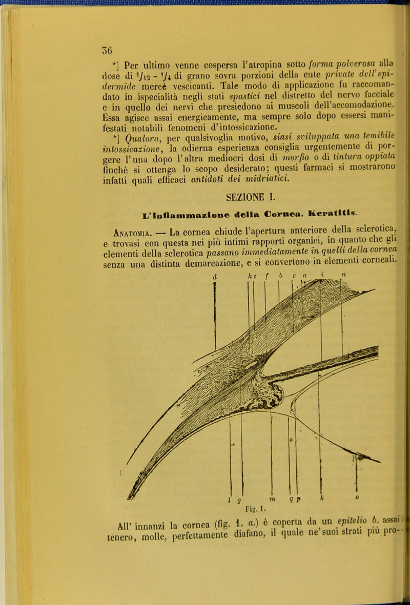 *] Per ultimo venne cospersa l'atropina sollo forma polverosa dose di Vt2 - Vidi grano sovra porzioni della cute private dell'epi- dermide mercè vescicanti. Tale modo di applicazione fu raccoman- dato in ispecialilà negli stati spastici nel distretto del nervo facciale e in quello dei nervi che presiedono ai muscoli dell'accomodazione. Essa agisce assai energicamente, ma sempre solo dopo essersi mani- festati notabili fenomeni d'intossicazione. *] Qualora, per qualsivoglia motivo, siasi sviluppata una temibile intossicazione, la odierna esperienza consiglia urgentemente di por- gere runa dopo l'altra mediocri dosi di morfio o di tintura oppiaUi finché si ottenga lo scopo desiderato; questi farmaci si mostrarono infatti quali efficaci antidoti dei midriatici. SEZIONE I. li'lnflaniinazione della Cornea. Keratitis. Anatomia. — La cornea chiude l'apertura anteriore della sclerotica, e trovasi con questa nei più intimi rapporti organici, in quanto che gli elementi della sclerotica passano immediatamente in quelli della cornea senza una distinta demarcazione, e si convertono in elementi corneali. Fig.l. All' innanzi la cornea (fig. ]. «•) è coperta da un ^Pi^^^. tenero, molle, perfettamente diafano, il quale ne suoi strati p.u pro