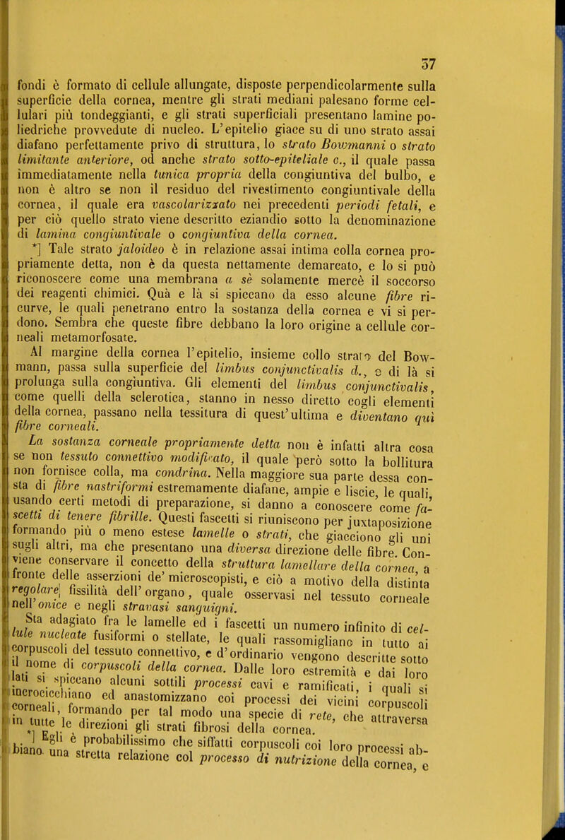 fondi è formato di cellule allungale, disposte perpendicolarmente sulla superficie della cornea, mentre gli strati mediani palesano forme cel- lulari più tondeggianti, e gli strati superficiali presentano lamine po- liedriche provvedute di nucleo. L'epitelio giace su di uno strato assai diafano perfettamente privo di struttura, lo strato Boivmanni o strato limitante anteriore, od anche strato sotto-epiteliale o., il quale passa immediatamente nella tunica propria della congiuntiva del bulbo, e non è altro se non il residuo del rivestimento congiuntivale della cornea, il quale era vascolariztato nei precedenti periodi fetali, e per ciò quello strato viene descritto eziandio sotto la denominazione di lamina congiuntivale o congiuntiva della cornea. *] Tale strato jaloideo è in relazione assai inlima colla cornea pro- priamente detta, non è da questa nettamente demarcato, e lo si può riconoscere come una membrana a sè solamente mercè il soccorso dei reagenti chimici. Qua e là si spiccano da esso alcune fibre ri- curve, le quali penetrano entro la sostanza della cornea e vi si per- dono. Sembra che queste fibre debbano la loro origine a cellule cor- neali metamorfosale. Al margine della cornea l'epitelio, insieme collo straio del Bow- mann, passa sulla superficie del limbus conjunctivalis d., e di là si prolunga sulla congiuntiva. Gli elementi del limbus conjunctivalis, come quelli della sclerotica, stanno in nesso diretto cogli elementi della cornea, passano nella tessitura di quest'ultima e diventano qui fibre corneali. ^ La sostanza corneale propriamente detta non è infatti altra cosa se non tessuto connettivo modificato, il quale ^però sotto la bollitura non fornisce colla, ma condrina. Nella maggiore sua parte dessa con- sta di fibre nastriformi estremamente diafane, ampie e liscie le quali usando certi metodi di preparazione, si danno a conoscere'come/a- scetti di tenere fibrille. Questi fascelti si riuniscono per juxtaposizione formando pm o meno eslese lamelle o strati, che giacciono gli uni sugli altri, ma che presentano una diversa direzione delle fibre Con- viene conservare il concetto della struttura lamellare della cornea a ^fronte delle asserzioni de' microscopisti, e ciò a motivo della distinta regolarel fissilità dell'organo, quale osservasi nel tessuto corneale nell onice e negli stravasi sanguigni. Sta adagialo fra le lamelle ed i fascelti un numero infinito di cel- Me nucleate fusiformi o stellate, le quali rassomigliano in lutto i icorpuscoh del lessuio conneilivo, e d'ordinario vengono de cri le sotto nome d. corpuscoli della cornea. Dalle loro es'remii e d i To o nero. JP''''''' «^^^ « ramificali, i quali ^ !cornear '1 ««^'««^^«o coi processi dei vicin co?pu co im tutte le direzioni gli strali fibrosi della cornea. «''aversa ihiann „n/ P''^'^''^''Ìs«™o che sifTatti corpuscoli coi loro processi nh i*«ano. una stretta relazione col processo di nutrizione dcHa cornea, ^