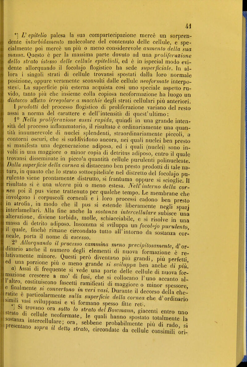 M *] V epitelio palesa la sua compartecipazione mercè un sorpren- dente intorbidamento molecolare del contenuto delle cellule, e spe- cialmente poi mercè un più o meno considerevole aumento della sua massa. Questo è per la massima parte dovuto ad una proliferazione dello strato istesso delle cellule epiteliali, ed è in ispecial modo evi- dente allorquando il focolajo flogistico ha sede superficiale. In al- lora i singoli strati di cellule trovansi spostati dalla loro normale posizione, oppure veramente sconvolti dalle cellule neoformate interpo- stevi. La superficie più esterna acquista cosi uno speciale aspetto ru- vido, tanto più che insieme colla copiosa neoformazione ha luogo un distacco affatto irregolare a macchie àegW strati cellulari più anteriori. 1 prodotti del processo flogistico di proliferazione variano del resto assai a norma del carattere e dell'intensità di quest'ultimo: 1° Nella proliferazione assai rapida, quindi in una grande inten- sità del processo infiammatorio, il risultato è ordinariamente una quan- tità innumerevole di nuclei splendenti, straordinariamente piccoli, a contorni oscuri, che si suddividono ancora, nei quali nuclei ben presto si manifesta una degenerazione adiposa, ed i quali (nuclei) sono in- volti in una maggiore o minor copia di detritus adiposo, entro il quale irovansi disseminale in piccola quantità cellule purulenti polinucleate. Dalla superficie della cornea si distaccano ben presto prodotti di tale na- tura, in quanto che lo strato sottoepiteliale nel distretto del focolaio pu- rulento viene prontamente distrutto, si frantuma oppure si scioo-lie II risultato si è una ulcera più o meno estesa. NeWinterno della cor- nea poi il pus viene trattenuto per qualche tempo. Le membrane che involgono i corpuscoli corneali e i loro processi cadono ben presto in atrofia in modo che il pus si estende liberamente negli spazi interlamellari. Alla fine anche la sostanza intercellulare subisce una alterazione diviene torbida, molle, schiacciabile, e si risolve in una massa di detrito adiposo. Insomma si sviluppa un focohjo purulento Il quale, finche rimane circondato tutto all'intorno da sostanza cor' neale, porta il nome di ascesso. Jì^ Allorquando il processo cammina meno precipitosamente d'or- dinano anche il numero degli elementi di nuova formazione'è re- lativamente mmore Questi però diventano più grandi, più perfetti ed una porzione più o meno grande sviluppa ben anche di più a) Assai di frequente si vede una parte delle cellule di nuova for- mazione crescere a mo' di fusi, che si collocano l'uno accanto a - 1 altro costituiscono fascetti ramificati di maggiore o minor spessore e finalmente si convertono in veri vasi. Durante il decorso deUa che sM : P.«--^'«?'^™^^« superficie de//a com.a e^e d'o dinari simil, vasi sviluppansi e vi formano spesso fìtte reti. sir^fn ••''''n'', strato del Boiomann, giacenti entro una l-no spos^tato totaCtei: lorespn.tnn w ^ sebbene probabilmente più di rado sì 1 presentano sopra il detto strato, circondate da cellule consimUi óri^