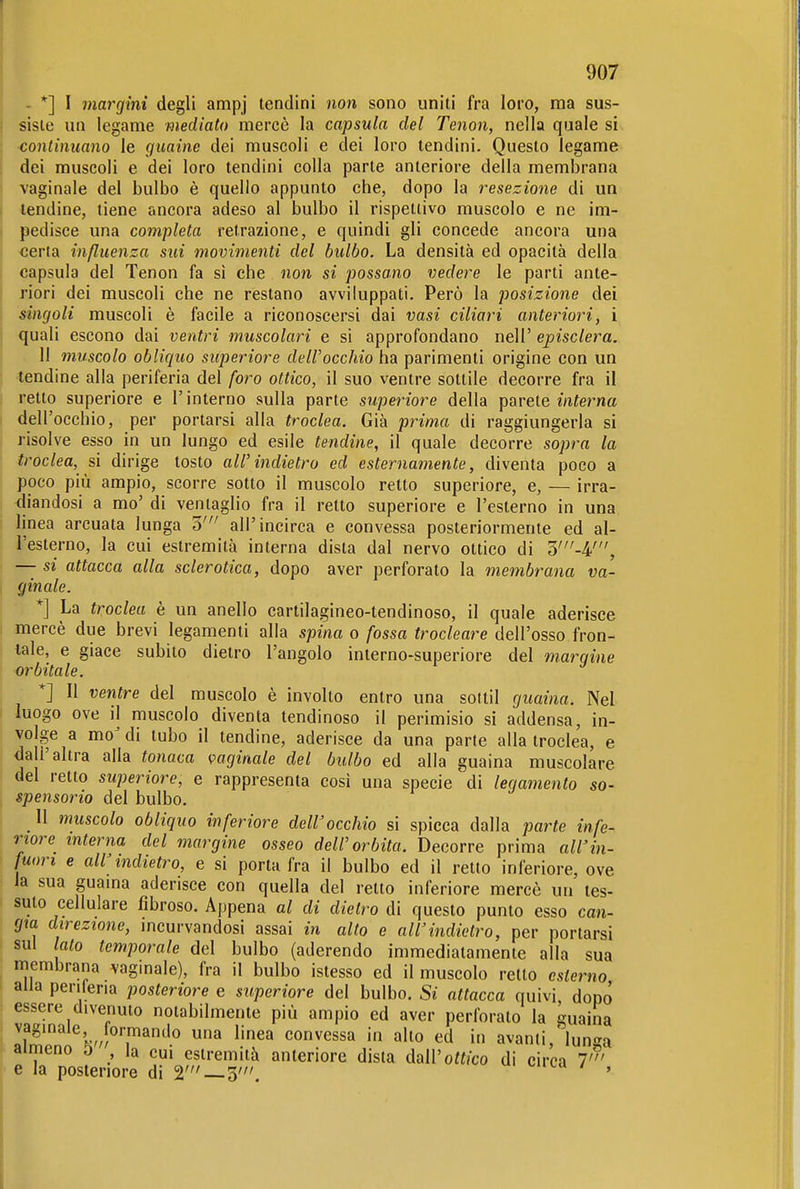 - *] I margini degli ampj tendini non sono uniti fra loro, ma sus- siste un legame mediato mercè la capsula del Tenon, nella quale si continuano le guaine dei muscoli e dei loro tendini. Questo legame dei muscoli e dei loro tendini colla parte anteriore della membrana vaginale del bulbo è quello appunto che, dopo la resezione di un tendine, tiene ancora adeso al bulbo il rispettivo muscolo e ne im- pedisce una completa retrazione, e quindi gli concede ancora una certa influenza sui movimenti del bulbo. La densità ed opacità della capsula del Tenon fa si che non si possano vedere le parti ante- riori dei muscoli che ne restano avviluppati. Però la posizione dei singoli muscoli è facile a riconoscersi dai vasi ciliari anteriori, i quali escono dai ventri muscolari e si approfondano nell' episclera, 11 muscolo obliquo superiore dell'occhio ha parimenti origine con un tendine alla periferia del /oro ottico, il suo ventre sottile decorre fra il retto superiore e l'interno sulla parte superiore della parete m?erna dell'occhio, per portarsi alla troclea. Già prima di raggiungerla si risolve esso in un lungo ed esile tendine, il quale decorre sopra la troclea, si dirige tosto all'indietro ed esternamente, diventa poco a poco più ampio, scorre sotto il muscolo retto superiore, e, — irra- diandosi a mo' di ventaglio fra il retto superiore e l'esterno in una linea arcuata lunga o' all'incirca e convessa posteriormente ed al- l'esterno, la cui estremità interna dista dal nervo ottico di 3'-4', — si attacca alla sclerotica, dopo aver perforato la membrana va- ginale. *] La troclea è un anello cartilagineo-tendinoso, il quale aderisce mercè due brevi legamenti alla spina o fossa trocleare dell'osso fron- tale, e giace subito dietro l'angolo interno-superiore del margine orbitale. *] Il ventre del muscolo è involto entro una sottil guaina. Nel luogo ove il muscolo diventa tendinoso il perimisio si addensa, in- volge a mo^ di tubo il tendine, aderisce da una parte alla troclea, e da l'altra alla tonaca vaginale del bulbo ed alla guaina muscolare del retto superiore, e rappresenta cosi una specie di legamento so- spensorio del bulbo. 11 muscolo obliquo inferiore dell'occhio si spicca dalla parte infe- riore interna del margine osseo dell'orbita. Decorre prima all'in- fuori e all'indietro, e si porta fra il bulbo ed il retto inferiore, ove la sua guama aderisce con quella del retto inferiore mercè un tes- siito cellulare fibroso. Appena al di dietro di questo punto esso can- gia direzione, incurvandosi assai in alto e all'indietro, per portarsi sui lato temporale del bulbo (aderendo immediatamente alla sua membrana vagmale), fra il bulbo istesso ed il muscolo retto esterno alla perileria posteriore e superiore del bulbo. Si attacca quivi, dopo essere divenuto notabilmente più ampio ed aver perforato la guaina vaginale formando una linea convessa in alto ed in avanti,'lunga ameno o la cui estremità anteriore dista MVottico di circa 7' e la posteriore di 2' —5'. '