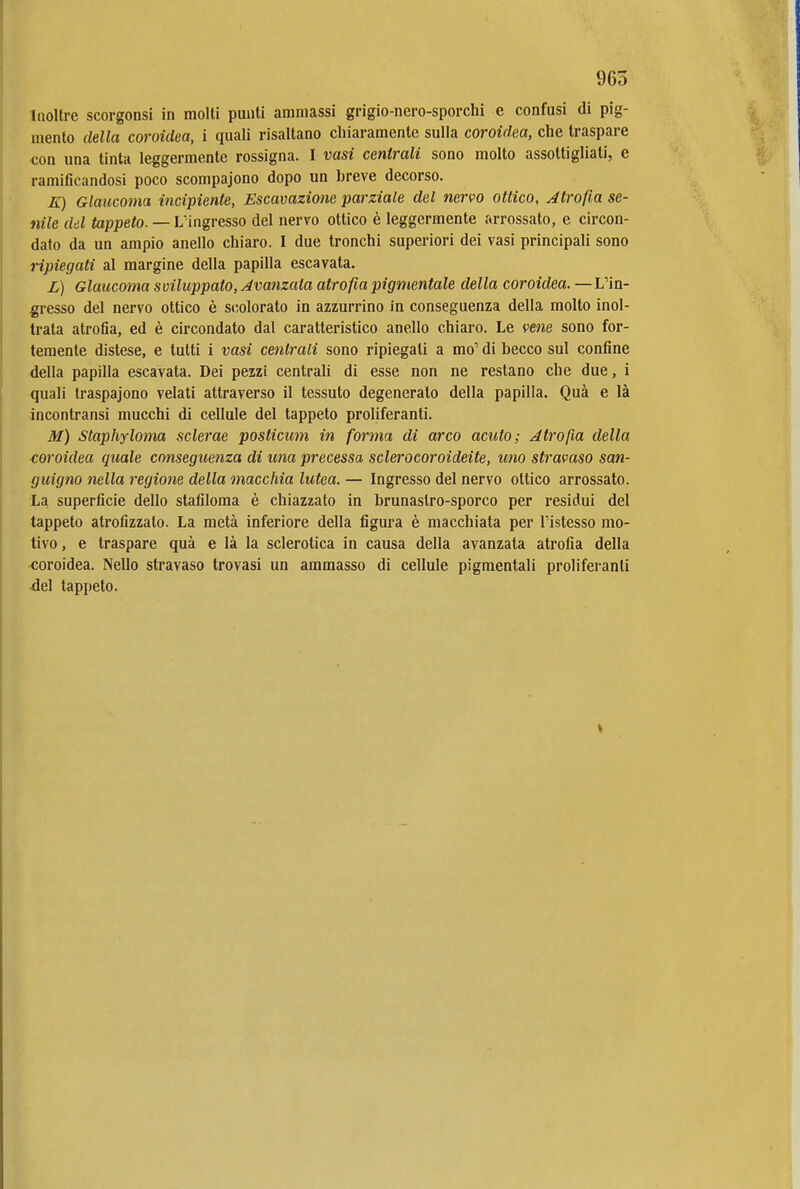 965 iiioltre scorgonsi in molti punti ammassi grigio-nero-sporchi e confusi di pig- mento della coroidea, i quali risaltano chiaramente sulla coroidea, che traspare con una tinta leggermente rossigna. I vasi centrali sono molto assottigliati, e ramificandosi poco scompaiono dopo un breve decorso. K) Glaucoma incipiente. Escavazione parziale del nervo ottico. Atrofia se- nile dd tappeto. — Lingresso del nervo ottico è leggermente arrossato, e circon- dato da un ampio anello chiaro. I due tronchi superiori dei vasi principali sono ripiegati al margine della papilla escavata. L) Glaucoma sviluppato, Avanzata atrofìa pigmentale della coroidea. —L'in- gresso del nervo ottico è scolorato in azzurrino in conseguenza della molto inol- trata atrofia, ed è circondato dal caratteristico anello chiaro. Le vene sono for- temente distese, e tutti i vasi centrali sono ripiegali a mo' di becco sul confine della papilla escavata. Dei pezzi centrali di esse non ne restano che due, i quali traspaiono velati attraverso il tessuto degenerato della papilla. Qua e là incontransi mucchi di cellule del tappeto proliferanti. M) Staphyloma sclerae posticum in forma di arco acuto; Jtrofia della coroidea quale conseguenza di una precessa sclerocoroideite, uno stì'avaso san- guigno nella regione della macchia lutea. — Ingresso del nervo ottico arrossato. La superficie dello stafiloma è chiazzato in brunastro-sporco per residui del tappeto atrofizzato. La metà inferiore della figura è macchiata per ristesso mo- tivo, e traspare quà e là la sclerotica in causa della avanzata atrofia della ■coroidea. Nello stravaso trovasi un ammasso di cellule pigmentali proliferanti ■del tappeto.