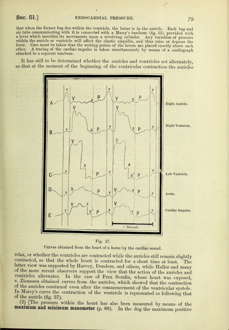 that when the former bag lies within the ventricle, the hitter is in the auricle. Each bag and air tube cominunicating with it is connected with a Marey's tambour (fig. 55), provided\'ith a lever whicli inscribes its movements upon a revolving cylinder. Any variation of pressure within the auricle or ventricle will affect the elastic ampullee, and thus raise or depress the lever. Care must be taken that the writing points of the levers are placed exactly above each other. A tracing of the cardiac impulse is taken simultaneously by means of a cardiograph attached to a separate tambour. It has still to be determined whether the auricles and ventricles act alternately, so that at the moment of the beginning of the ventricular contraction the auricles Right Auricle. Right Ventricle. Left Ventricle. Aoi-ta. Cardiac Impuls Fig. 57. Curves obtained from the heart of a horse by the cardiac sound. relax, or whether the ventricles are contracted while the auricles still remain slightly contracted, so that the whole heart is contracted for a short time at least. The latter view was supported by Harvey, Bonders, and others, while Kaller and many of the more recent observers support the view that the action of the auricles and ventricles alternates. In the case of Frau Serafin, whose heart was exposed, V Ziemssen obtained curves from the auricles, which showed that the contraction of the auricles continued even after the commencement of the ventricular systole. Ill Marey's curve the contraction of the ventricle is represented as following that of the auricle (fig. 57). (2) [The pressure within the heart has also been measured by means of the maximum and minimum manometer (p. 68). In the dog the maximum positive