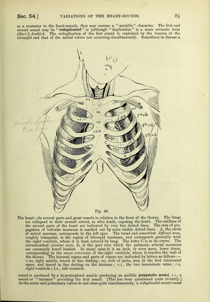 as a resonator to the heart-sounds, they may assume a metallic character. The first and second vsound may be reduplicated or [although duplication is a more accurate term (Barr)] doubled. The reduplication of the first sound is explained by the tension of the tricuspid and that of the mitral valves not occurring simultaneously. Sometimes in disease a The heart—its several parts and great vessels in relation to the front of the thorax. The lungs are collapsed to their normal extent, as after death, exposing the heart. The outlines of the several parts of the heart are indicated by very fine dotted lines. The area of pro- pagation of valvular murmurs is marked out by more visible dotted lines. A, the circle of mitral murmur, corresponds to the left apex. The broad and somewhat diffused area, roughly triangular, is the region of tricuspid murmurs, and corresponds^ generally with the right ventricle, where it is least covered by lung. The letter C is in its centre. The circumscribed circular area, D, is the part over which the pulmonic arterial murmurs are commonly heard loudest. In many cases it is an inch, or even more, lower down, corresponding to the conus arteriosus of the right ventricle, where it touches the wall of the thorax. The internal organs and parts of organs are indicated by letters as follows :— r.au, right auricle, traced in fine dotting ; ao, arch of aorta, seen in the first intercostal space, and traced in fine dotting on the sternum ; v.i., the two innominate veins ; r.v, right ventricle ; I.V., left ventricle. sound is produced by a hypertrophied auricle producing an audible presystolic sound, i.e., a sound or murmur preceding the first sound. [This has been questioned quite recently,] As the aortic and pulmonary valves do not close quite simultaneously, a reduplicated second sound