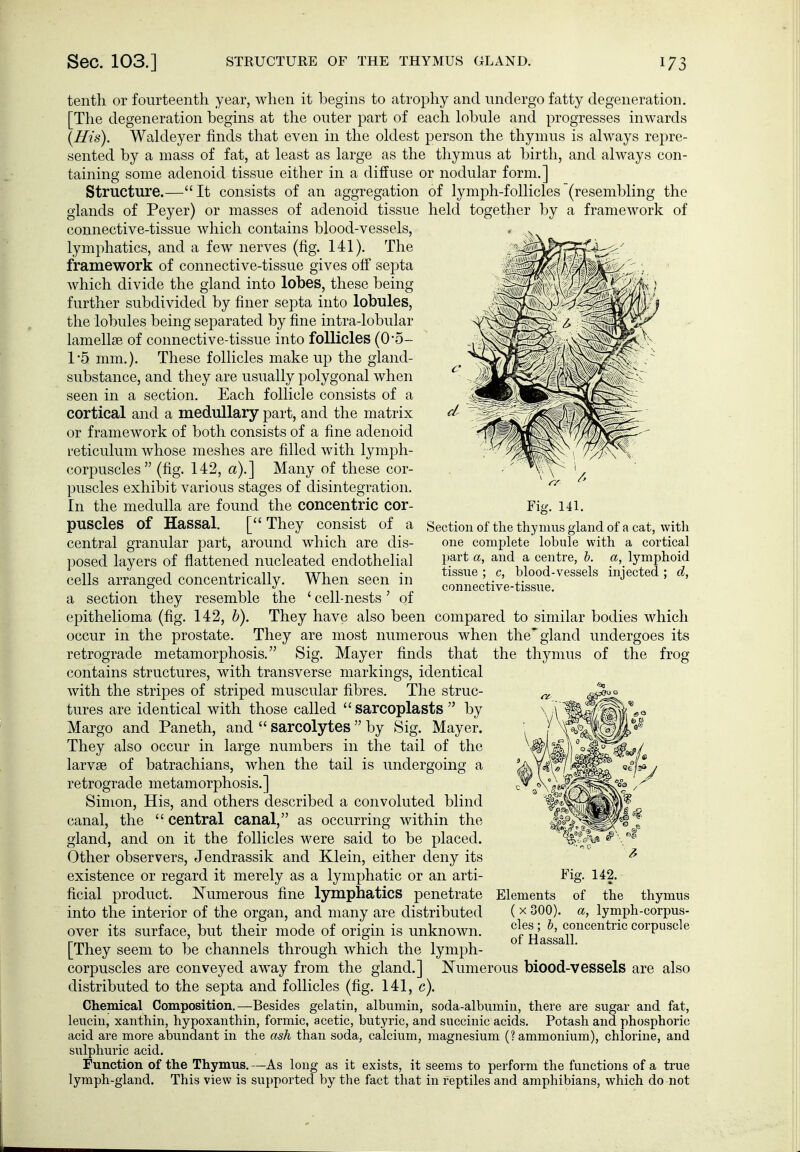 tenth or fourteenth year, when it begins to atrophy and undergo fatty degeneration, [The degeneration begins at the outer part of each lobule and progresses inwards {His). Waldeyer finds that even in the oldest person the thymus is always repre- sented by a mass of fat, at least as large as the thymus at birth, and always con- taining some adenoid tissue either in a diffuse or nodular form.] Structure.—It consists of an aggregation of lymph-follicles (resembling the glands of Peyer) or masses of adenoid tissue held together by a framework of connective-tissue which contains blood-vessels, lymphatics, and a few nerves (fig. 141). The framework of connective-tissue gives off septa which divide the gland into lobes, these being further subdivided by finer septa into lobules, the lobules being separated by fine intra-lobular lamellae of connective-tissue into follicles (0-5- 1-5 mm.). These follicles make up the gland- substance, and they are usually polygonal when seen in a section. Each follicle consists of a cortical and a medullary part, and the matrix or framework of both consists of a fine adenoid I'eticulum whose meshes are filled with lymph- corpuscles (fig. 142, a).] Many of these cor- puscles exhibit various stages of disintegration. In the medulla are found the concentric cor- puscles of Hassal. [They consist of a central granular part, around which are dis- posed layers of flattened nucleated endothelial cells arranged concentrically. When seen in a section they resemble the ' cell-nests' of epithelioma (fig. 142, h). They have also been compared to similar bodies which occur in the prostate. They are most numerous when the'gland undergoes its Fig. 141. Section of tlie thymus gland of a cat, with one complete lobule with a cortical part a, and a centre, h. a, lymphoid tissue; c, blood-vessels injected; d, connective-tissue. the thymus of the frog retrograde metamorphosis. Sig. Mayer finds that contains structures, with transverse markings, identical with the stripes of striped muscular fibres. The struc- tures are identical with those called sarcoplasts  by Margo and Paneth, and  sarcolytes  by Sig. Mayer. They also occur in large numbers in the tail of the larvae of batrachians, when the tail is undergoing a retrograde metamorphosis.] Simon, His, and others described a convoluted blind canal, the  central canal, as occurring within the gland, and on it the follicles were said to be placed. Other observers, Jendrassik and Klein, either deny its existence or regard it merely as a lymphatic or an arti- ficial product. Numerous fine lymphatics penetrate into the interior of the organ, and many are distributed over its surface, but their mode of origin is unknown. [They seem to be channels through which the lymph- corpuscles are conveyed away from the gland.] N^umerous biood-vessels are also distributed to the septa and follicles (fig. 141, c). Chemical Composition.—Besides gelatin, albumin, soda-albumin, there are sugar and fat, leuciu, xanthin, hypoxanthin, formic, acetic, butyric, and succinic acids. Potash and phosphoric acid are more abundant in the ash than soda, calcium, magnesium (? ammonium), chlorine, and sulphuric acid. Function of the Thymus, —As long as it exists, it seems to perform the functions of a true lymph-gland. This view is supported by the fact that in reptiles and amphibians, which do not Fig. 142. Elements of the thymus ( X 300). a, lymph-corpus- cles; h, concentric corpuscle of Hassall.
