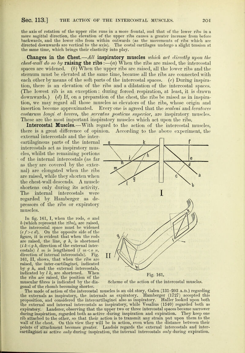 the axis of rotation of the upper ribs runs in a more ftontal, and that of the lower ribs in a more sagittal direction, the elevation of the upper ribs causes a greater increase from before backwards, and the lower ribs from within outwards (as the movements of ribs which are directed downwards are vertical to the axis). The costal cartilages undergo a slight tension at the same time, which brings their elasticity into play. Changes in the Chest.—All inspiratory muscles ivliich act diredlij upon the chest-wall do so hy raising the ribs :—{a) When the ribs are raised, the intercostal spaces are widened, {h) When the upper ribs are raised, all the lower ribs and the sternum must be elevated at the same time, because all the ribs are connected with each other by means of the soft parts of the intercostal sj^aces. (c) During inspira- tion, there is an elevation of the ribs and a dilatation of the intercostal spaces. (The lowest rib is an exception: during forced respiration, at least, it is drawn downwards.) (d) If, on a preparation of the chest, the ribs be raised as in insj)ira- tion, we may regard all those muscles as elevators of the ribs, whose origin and insertion become approximated. Every one is agreed that the scaleni and levatores costarum lomji et hreves, the serratus posticus superior, are inspiratory muscles. These are the most important inspiratory muscles which act upon the ribs. Intercostal Muscles. ^—With regard to the action of the intercostal muscles, there is a great difference of opinion. According to the above experiment, the external intercostals and the inter- cartilaginous parts of the internal intercostals act as inspiratory mus- cles, whilst the remaining portions of the internal intercostals (as far as they are covered by the exter- nal) are elongated when the ribs are raised, while they shorten when the chest-wall descends. A muscle shortens only during its activity. The internal intercostals were regarded by Hamberger as de- pressors of the ribs or expiratory muscles. In fig. 161, I, when the rods, a and h (which represent the ribs), are raised, the intercostal space must be widened {e f>c d). On the opposite side of the figure, it is evident that when the rods are raised, the line, g h, is shortened {ik<g h, direction of the external inter- costals) I m is lengthened {I m<o n, direction of internal intercostals). Fig. 161, II, shows, that when the ribs are raised, the inter-cartilaginei, indicated by g h, and the external intercostals, indicated by I k, are shortened. When the ribs are raised, the position of the muscular fibres is indicated by the dia- gonal of the rhomb becoming shorter. The mode of action of the intercostal muscles is an old story, Galen (131-203 A.D.) regarding the externals as inspiratory, the internals as expiratory. Bamberger (1727) accepted this proposition, and considered the intercartilaginei also as inspiratory. Haller looked upon both the external and internal intercostals as inspiratory, while Vesalius (1540) regarded both as expiratory. Landerer, observing that the upper two or three intercostal spaces became narrower during inspiration, regarded both as active during inspiration and expiration. They keep one rib attached to the other, so that their action is to transmit any strain put upon them to the wall of the chest. On this vicAV they will be in action, even when the distance between their points of attachment becomes greater. Landois regards the external intercostals and inter- cartilaginei as active only during inspiration, the intei'nal intercostals only during expiration. Fig. 161. Scheme of the action of the intercostal muscle«.