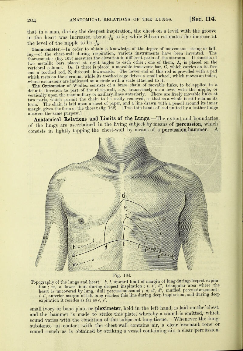 that in a man, during the deepest inspiration, the chest on a level with the groove in the heart was increased about yV y; while Sibson estimates the increase at the level of the nipple to be y^- Thoracometer.—In order to obtain a knowledge of the degi-ee of movement—rising or fall- ino- of the chest-wall during respiration, various instruments have been invented. The thoracometer (fio-. 163) measures the elevation in different parts of the sternum. It consists of two metallic bars placed at right angles to each other ; one of them, A, is placed on the vertebral column. On B there is placed a movable transverse bar, C, which carries on its free end a toothed rod, Z, directed downwards. The lower end of this rod is provided with a pad which rests on the sternum, while its toothed edge drives a small wheel, which moves an index, whose excursions are indicated on a circle with a scale attached to it. The Cyrtometer of Woillez consists of a brass chain of movable links, to be applied in a definite direction to part of the chest-wall, e.g., transversely on a level with the nipple, or vertically upon the mammillary or axillary lines anteriorly. There are freely movable links at two parts, which permit the chain to be easily removed, so that as a whole it still retains its form. The chain is laid upon a sheet of paper, and a line drawn with a pencil around its inner margin gives the form of the thorax (fig. 162). [Two thin bands of lead united by a leather hinge answers the same purpose.] Anatomical Relations and Limits of the Lungs.—The extent and boundaries of the lungs are ascertained in the living subject by means of percussion, which consists in lightly tapping the chest-wall by means of a percussion-hammer. A Fig. 164. Topography of the lungs and heart, li, I, upward limit of margin of lung during deepest expira- tion ; m, n, lower limit during deepest inspiration ; t, t', t, triangular area Avhere the heart is uncovered by lung, dull percussion-sound ; d, d', d, muffled percussion-sound ; i, i', anterior margin of left lung reaches this line during deep inspiration, and during deep expiration it recedes as far as e, e'. small ivory or bone plate or pleximeter, held in the left hand, is laid on the chest, and the hammer is made to strike this plate, whereby a sound is emitted, which sound varies with the condition of the subjacent lung-tissue. Whenever the lung- substance in contact with the chest-wall contains air, a clear resonant tone or soimd—such as is obtained by striking a vessel containing air, a clear percussion-