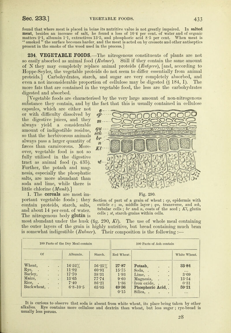 found that where meat is placed iu brine its nutritive value is not greatly impaired. In salted meat, besides an increase of salt, he found a loss of 10 4 per cent, of water and of organic matters 2'1, albumin I'l, extractives 13'5, and phosphoric acid 8'5 per cent. When meat is  smoked  the surface becomes harder, and the meat is acted on by creosote and other antiseptics present in the smoke of the wood used in the process.] 234. VEGETABLE FOODS.—The nitrogenous constituents of plants are not so easily absorbed as animal food {Ruhner). Still if they contain the same amount of iN they may completely replace animal proteids (Rutgers), [and, according to Hoppe-Seyler, the vegetable proteids do not seem to differ essentially from animal proteids.] Carbohydrates, starch, and sugar are very completely absorbed, and even a not inconsiderable jiroportion of cellulose may be digested (§ 184, I). The more fats that are contained in the vegetable food, the less are the carbohydrates digested and absorbed. [Vegetable foods are characterised by the very large amount of non-nitrogenous substance they contain, and by the fact that this is usually contained in cellulose capsules, which are either not or with difficulty dissolved by the digestive juices, and they always • yield a considerable amount of indigestible residue, so that the herbivorous animals always pass a larger quantity of faeces than carnivorous. More- over, vegetable food is not so fully utilised in the digestive tract as animal food (p. 435). Further, the potash and mag- nesia, especially the phosphatic salts, are more abundant than soda and lime, while there is little chlorine {Munh).'] 1. The cereals are most im- portant vegetable foods ; they Section of part of a grain of wheat; ep, epidermis with contain proteids, starch, salts, cuticle c ; m, middle layer ; qu, transverse, and sch, and about 14 per cent, of water. ^^^^^ s^^' coats of the seed ; Kl, glutin rrii 1 1 1 ^* • cells ; st, starch-grains withm cells, ihe nitrogenous body giutm is ^ most abundant under the husk (fig. 290, Kl). The use of whole meal containing the outer layers of the grain is highly nutritive, but bread containing much bran is somewhat indigestible {Rubner). Their composition is the following :— 100 Parts of the Dry Meal contain 100 Parts of Ash contain Of Albumin. Starch. Red Wheat. White Wheat. Wheat, Rye, . Barley, Maize, Rice, , Buckwheat, . 16- 52% 11-92 17- 70 13 -65 7-40 6-8-10-5 56-25% 60-91 38-31 77-74 86-21 65-05 27-87 15-75 1-93 9-60 1-36 49-36 0-15 Potash, Soda, . Lime, . Magnesia, Iron oxide, . Phosphoric Acid, . Silica, . 33-84 S-OQ 13-54 0-31 59-21 It is curious to observe that soda is absent from white wheat, its place being taken by other alkalies. Rye contains more cellulose and dextrin than wheat, but less sugar ; rye-bread is usually less porous. 28