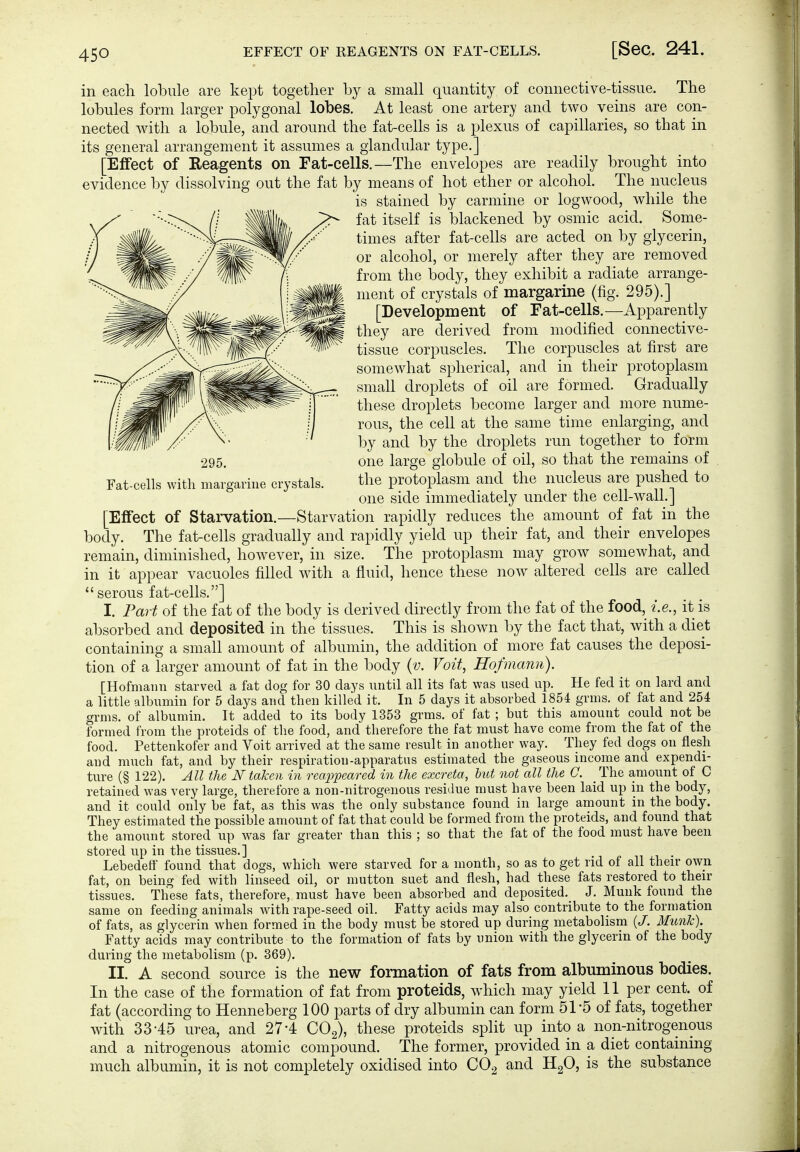 in each lobule are kept together by a small quantity of connective-tissue. The lobules form larger polygonal lobes. At least one artery and two veins are con- nected with a lobule, and around the fat-cells is a plexus of capillaries, so that in its general arrangement it assumes a glandular type.] [Effect of Reagents on Fat-cells.—The envelopes are readily brought into evidence by dissolving out the fat by means of hot ether or alcohol. The nucleus is stained by carmine or logwood, while the fat itself is blackened by osmic acid. Some- times after fat-cells are acted on by glycerin, or alcohol, or merely after they are removed from the body, they exhibit a radiate arrange- ment of crystals of margarine (fig. 295).] [Development of Fat-cells.—Apparently they are derived from modified connective- tissue corpuscles. The corpuscles at first are somewhat spherical, and in their protoplasm small droplets of oil are formed. Gradually these droplets become larger and more nume- rous, the cell at the same time enlarging, and hj and by the droplets run together to form 295. one large globule of oil, so that the remains of Fat-cells with margarine crystals. the protoplasm and the nucleus are pushed to one side immediately under the cell-wall. J [Effect of Starvation.—Starvation rapidly reduces the amount of fat in the body. The fat-cells gradually and rapidly yield up their fat, and their envelopes remain, diminished, however, in size. The protoplasm may grow somewhat, and in it appear vacuoles filled with a fluid, hence these now altered cells are called  serous fat-cells.] I. I'^art of the fat of the body is derived directly from the fat of the food, i.e., it is absorbed and deposited in the tissues. This is shown by the fact that, with a diet containing a small amount of albumin, the addition of more fat causes the deposi- tion of a larger amount of fat in the body {v. Voit, Hofmann). [Hofmann starved a fat dog for 30 days imtil all its fat was used up. He fed it on lard and a little albumin for 5 days and then killed it. In 5 days it absorbed 1854 grms. of fat and 254 grms. of albumin. It added to its body 1353 grms. of fat ; but this amount could not be formed from the proteids of the food, and therefore the fat must have come from the fat of the food. Pettenkofer and Voit arrived at the same result in another way. They fed dogs on flesh and much fat, and by their respiration-apparatus estimated the gaseous income and expendi- ture (§ 122). All the N taken in reappeared in the excreta, hut not all the 0. The amount of C retained was very large, therefore a non-nitrogenous residue must have been laid up in the body, and it could only be fat, as this was the only substance found in large amount in the body. They estimated the possible amount of fat that could be formed from the proteids, and found that the amount stored up was far greater than this ; so that the fat of the food must have been stored up in the tissues.] n , . Lebedeff found that dogs, which were starved for a month, so as to get rid of all their own fat, on being fed with linseed oil, or mutton suet and flesh, had these fats restored to their tissues. These fats, therefore, must have been absorbed and deposited. J. Münk found the same on feeding animals with rape-seed oil. Fatty acids may also contribute to the formation of fats, as glycerin when formed in the body must be stored up during metabolism (J. Münk). Fatty acids may contribute to the formation of fats by union with the glycerin of the body during the metabolism (p. 369). II. A second source is the new formation of fats from albuminous bodies. In the case of the formation of fat from proteids, which may yield 11 per cent, of fat (according to Henneberg 100 parts of dry albumin can form 51'5 of fats, together with 33-45 urea, and 274 COg), these proteids split up into a non-nitrogenous and a nitrogenous atomic compound. The former, provided in a diet containing much albumin, it is not completely oxidised into CO2 and HgO, is the substance
