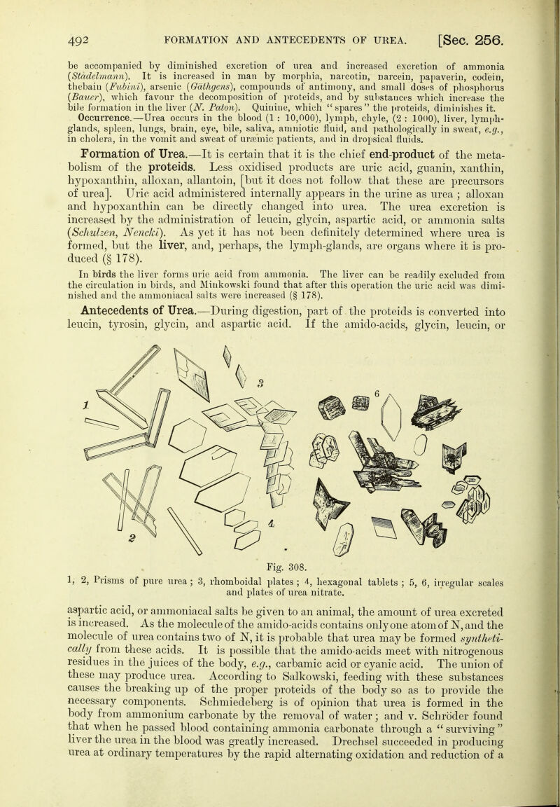 be accompanied by diminished excretion of urea and increased excretion of ammonia {Stadehnann). It is increased in man by morphia, narcotin, narcein, papaverin, codein, tliebain {Fubini), arsenic (Gathgens), compounds of antimony, and small doses of phosphoius (Baiier), which favour the decomposition of proteids, and by substances which increase the bile formation in the liver {N'. Paton). Quinine, which spares the proteids, diminishes it. Occurrence.—Urea occurs in the blood (1 : 10,000), lymj)h, chyle, (2 : 1000), liver, lymph- glands, spleen, lungs, brain, eye, bile, saliva, amniotic fluid, and jiathologically in sweat, e.g., in cholera, in the vomit and sweat of urtemic patients, and in dropsical fluids. Formation of Urea.—It is certain that it is the chief end-product of the meta- bolism of tlie proteids. Less oxidised products are uric acid, guanin, xanthin, hypoxanthin, alloxan, allantoin, [but it does not follow tlmt these are precursors of urea]. Uric acid administered internally appears in the urine as urea ; alloxan and hypoxanthin can be directly changed into urea. The urea excretion is increased by the administration of leucin, glycin, aspartic acid, or ammonia salts {Schulzen, Nenckl). As yet it has not been definitely determined where urea is formed, but the liver, and, perhaps, the lymph-glands, are organs where it is pro- duced (§ 178). In birds the liver forms uric acid from ammonia. The liver can be readily excluded from the circulation in birds, and Minkowski found that after this operation the uric acid was dimi- nished and the ammoniacal salts were increased (§ 178). Antecedents of Urea.—During digestion, part of the proteids is converted into leucin, tyrosin, glycin, and aspartic acid. If the amido-acids, glycin, leucin, or Fig. 308. 1, 2, Prisms of pure urea ; 3, rhomboidal plates ; 4, hexagonal tablets ; 5, 6, irregular scales and plates of urea nitrate. aspartic acid, or ammoniacal salts be given to an animal, the amount of urea excreted is increased. As the molecule of the amido-acids contains only one atom of E, and the molecule of urea contains two of N, it is probable that urea may be formed syntheti- cally from these acids. It is possible that the amido-acids meet with nitrogenous residues in the juices of the body, e.g., carbamic acid or cyanic acid. The union of these may produce urea. According to Salkowski, feeding with these substances causes the breaking up of the proper proteids of the body so as to provide the necessary components. Schmiedeberg is of opinion that urea is formed in the body from ammonium carbonate by the removal of water; and v. Schröder found that when he passed blood containing ammonia carbonate through a  surviving  liver the urea in the blood was greatly increased. Drechsel succeeded in producing urea at ordinary temperatures by the rapid alternating oxidation and reduction of a