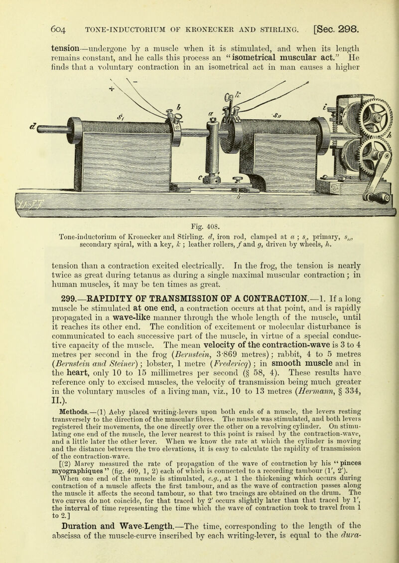 tension—undergone by a muscle when it is stimulated, and when its length remains constant, and he calls this process an  isometrical muscular act. He finds that a voluntary contraction in an isometrical act in man causes a higher Fig. 408. Tone-inductorium of Kronecker and Stirling, d, iron rod, clamped at a ; s„ primary, secondary spiral, with a key, k ; leather rollers, / and g, driven by wheels, h. tension than a contraction excited electrically. In the frog, the tension is nearly twice as great during tetanus as during a single maximal muscular contraction; in human muscles, it may be ten times as great. 299.—RAPIDITY OF TRANSMISSION OF A CONTRACTION.—1. If a long muscle be stimulated at one end, a contraction occurs at that point, and is rapidly propagated in a wave-like manner through the whole length of the muscle, until it reaches its other end. The condition of excitement or molecular disturbance is communicated to each successive part of the muscle, in virtue of a special conduc- tive capacity of the muscle. The mean velocity of the contraction-wave is 3 to 4 metres per second in the frog (Bernstein, 3-869 metres); rabbit, 4 to 5 metres (Bernstein and Steiner); lobster, 1 metre (Fredericg); in smooth muscle and in the heart, only 10 to 15 millimetres per second (§ 58, 4). These results have reference only to excised muscles, the velocity of transmission being much greater in the voluntary muscles of a living man, viz., 10 to 13 metres (Hermann, § 334, ii.). Methods.—(1) Aeby placed writing-levers upon both ends of a muscle, the levers resting transversely to the direction of the muscular fibres. The muscle was stimulated, and both levers registered their movements, the one directly over the other on a revolving cylinder. On stimu- lating one end of the muscle, the lever nearest to this point is raised by the contraction-wave, and a little later the other lever. When we know the rate at which the cylinder is moving and the distance between the two elevations, it is easy to calculate the rapidity of transmission of the contraction-wave. [(2) Marey measured the rate of propagation of the wave of contraction by his  pinces myographiques  (fig. 409, 1, 2) each of which is connected to a recording tambour (1', 2'). When one end of the muscle is stimulated, e.g., at 1 the thickening which occurs during contraction of a muscle affects the first tambour, and as the wave of contraction passes along the muscle it affects the second tambour, so that two tracings are obtained on the drum. The two curves do not coincide, for that traced by 2' occurs slightly later than that traced by 1', the interval of time representing the time which the wave of contraction took to travel from 1 to 2.] Duration and Wave-Length.—The time, corresponding to the length of the abscissa of the muscle-curve inscribed by each writing-lever, is equal to the dura-